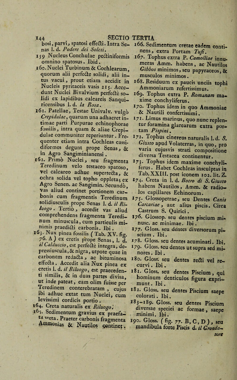 N 144 SECTIO bosi, parvi .9 spatosi effe&amp;i. Intra Se¬ nas 1. d. Podere dei Soleti, 159 Nucleus Conchulae pe&amp;iniformis omnino spatosus. Ibid. 160.Nuclei Turbinum &amp; Cochlearum, quorum alii perfe&amp;e solidi, alii in¬ tus vacui, prout etiam accidit in Nucleis pyritaceis vasis 215, Acce¬ dunt Nuclei Bivalvium perfe&amp;e so¬ lidi ex lapidibus calcareis Sanqui- ricensibus 1. d. Ia Rosa. 261. Patellae, Testae Univalv. vulgo Crepidulae, quarum una adhaeret in¬ timae parti Purpurae echinophorae fossilis, intra quam &amp; aliae Crepi¬ dulae communiter reperiuntur. Fre¬ quenter etiam intra Cochleas cassi- diformes degunt prope Senas, &amp; in Agro Sangiminianensi. 162. Primo Nuclei, seu fragmenta Teredinum velo testaceo spatoso, vel calcareo adhuc superte&amp;a, &amp; ochra solida vel topho oppleta* ex Agro Senen. ac Sangimin. Secundo, vas aliud continet portionem car¬ bonis cum fragmentis Teredinum solidiusculis prope Senas 1. d. il Ri- luogo. Tertio , accedit vas aliud comprehendens fragmenta Teredi¬ num minuscula, cum particulis mi¬ nimis praedifti carbonis. Ibi. 163. Nux pinea fossilis ( Tab. XV. fig. 76. A ) ex cretis prope Senas, 1. d. il Calduccio, est perfe£le integra, de¬ pressi uscula,6c nigra, utpote quae in carbonem redaaa * ac bituminosa effeaa . Accedit alia JNTux pinea ex cretis 1. d. il Riluogo, est praeceden¬ ti similis, &amp; in duas partes divisa, ut inde pateat, eam olim fuisse per Teredinem conterebratam , cujus ibi adhuc extat tum Nuclei, cum levissimi cordicis portio. 164. Creta naturalis ex Riluogo i *65. Sedimentum gravius ex praefa¬ ta treta. Praeter carbonis fragmenta ^«unouias &amp; Nautilos qontinet. TERTIA. 166. Sedimentum cretae eadem conti¬ nens, extra Portam Tufi. 167. Tophus extra P. Camolliae innu- meras Amm. habens, ac Nautilos Gibbos minimos, seu papyraceos, &amp; musculos minimos. 168. Residuum ex paucis unciis tophi Ammoniarum refertissimus. 169. Tophus extra P. Romanam ma¬ xime conchyliferus. 170. Tophus idem in quo Ammoniae &amp; Nautili confertissimi. 171. Limus marinus, quo nunc replen¬ tur foramina glarearum extra por¬ tam Pispini. 172. Tophus cinereus naturalis l.d. S. Giusto apud Volaterras, in quo, pro varia cujusvis strati compositione diversa Testacea continentur. 173. Tophus idem maxime conchyli¬ ferus . Habet Cochleas insculptas in Tab.XXIlI. post iconem 102. Iit. Z. 174* Creta in 1. d* Botro di S, Giusto habens Nautilos, Amm. &amp; radio¬ los capillares Echinorum. l7S» G-lossopetrae, seu Dentes Canis Carcariae , aut alius piscis. Circa Castrum S. Quirici. 176. Glossop. seu dentes piscium mi- nusc. ac minimae. Ibi. 177. Gloss. seu dentes diversorum pi¬ scium . Ibi. 178. Gloss. seu dentes acuminati. Ibi. 179* Gloss. seu dentes ut supra sed mi¬ nores . Ibi. 180. Gloss. seu dentes re£ti vel re¬ curvi . Ibi. 181. Gloss. seu dentes Piscium, qui hominum denticulos figura expri¬ munt . Ibi. 182. Gloss. seu dentes Piscium saepe colorati. Ibi. 183—189« Gloss. seu dentes Piscium diversae speciei ac formae, saepe minimi. Ibi. 190. Gloss. ( fig. 77. B,C,D), seu mandibula forte Piscis d. il Gronda.- tore r