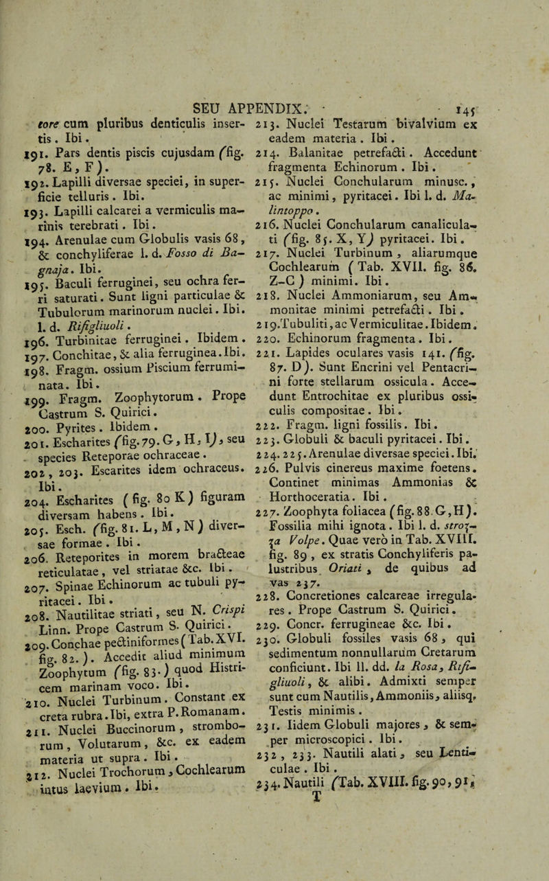 tore cum pluribus denticulis inser¬ tis . Ibi. io i. Pars dentis piscis cujusdam ffig. 78. E, F). 191. Lapilli diversae speciei, in super¬ ficie telluris. Ibi. 193. Lapilli calcarei a vermiculis ma¬ rinis terebrati. Ibi. 194. Arenulae cum Globulis vasis 68, &amp; conchyliferae 1. d.Fosso di Ba- gnaja* Ibi. 195. Baculi ferruginei, seu ochra fer¬ ri saturati. Sunt ligni particulae &amp; Tubulorum marinorum nuclei. Ibi. 1. d. Rifigliuoli. 196. Turbinitae ferruginei. Ibidem . 197. Conchitae, &amp;. alia ferruginea.Ibi. 198. Fragm. ossium Piscium ferrumi¬ nata. Ibi. 199. Fragm. Zoophytorum. Prope Castrum S. Quirici. 200. Pyrites . ibidem . 201. Escharites (^fig.79. G, Hj y 5 seu species Reteporae ochraceae. 2q 19 203. Escarites idem ochraceus. Ibi. 204. Escharites ( fig. 80 K) figuram diversam habens. Ibi. 205. Esch. ffig. 81. L, M , N) diver¬ sae formae . Ibi. 206. Reteporites in morem bradeae reticulatae , vel striatae &amp;c. Ibi. 207. Spinae Echinorum ac tubuli py- ritacei. Ibi. n . . 208. Nautilitae striati, seu N. Crispi Linn. Prope Castrum s* Quinci. 209. Conchae pediniformes ( lab.XVl. L. 82. ). Accedit aliud minimum Zoophytum ffig. 83*) (lu0^ pistri¬ cem marinam voco. Ibi. 210. Nuclei Turbinum. Constant ex creta rubra.Ibi, extra P.Romanam. 2x1. Nuclei Buccinorum, strombo- rum, Volutarum, &amp;c. ex eadem materia ut supra . Ibi. 212. Nuclei Trochorum , Cochlearum intus laevium. Ibi . 213. Nuclei Testarum bivalvium ex eadem materia . Ibi. 2x4. Balanitae petrefadi. Accedunt fragmenta Echinorum . Ibi. 215. Nuclei Conchularum minusc., ac minimi, pyritacei. Ibi 1. d. Ma- lintoppo. 216. Nuclei Conchularum canalicula¬ ti ffig. 8j.X,Y^ pyritacei. Ibi. 217. Nuclei Turbinum, aliarumque Cochlearum ( Tab. XVII. fig. 86„ Z-C ) minimi. Ibi. 218. Nuclei Ammoniarum, seu Am- monitae minimi petrefadi. Ibi. 219/fubuliti, ac V ermiculitae. Ibidem . 220. Echinorum fragmenta. Ibi. 221. Lapides oculares vasis 141. ffig. 87. D). Sunt Encrini vel Pentacri- ni forte stellarum ossicula. Acce¬ dunt Entrochitae ex pluribus ossi* culis compositae. Ibi. 222. Fragm. ligni fossilis. Ibi. 223. Globuli &amp; baculi pyritacei. Ibi. 2 24.2 2 5. Arenulae diversae speciei. Ibi. 226. Pulvis cinereus maxime foetens. Continet minimas Ammonias Sc Horthoceratia. Ibi. 227. Zoophyta foliacea (fig. 8 8 G, H ). Fossilia mihi ignota . Ibi 1. d. stro\ Colpc* Quae vero in Tab. XVIII. fig. 89 , ex stratis Conchyliferis pa¬ lustribus Oriati y de quibus ad vas 237. 228. Concretiones calcareae irregula¬ res . Prope Castrum S. Quirici. 229. Concr. ferrugineae &amp;c. Ibi. 230. Globuli fossiles vasis 68, qui sedimentum nonnullarum Cretarum conficiunt. Ibi 11. dd. ia Rosa, Rifi~ gliuoli, &amp;c alibi. Admixti semper sunt cum Nautilis, Ammoniis, aliisq. Testis minimis . 231. Iidem Globuli majores, &amp; sem- per microscopici. Ibi. 232. 233. Nautili alati, jseu Lenti¬ culae . Ibi. 234. Nautili f^Tab. XVIII. fig* 9°&gt; 91* T / 1