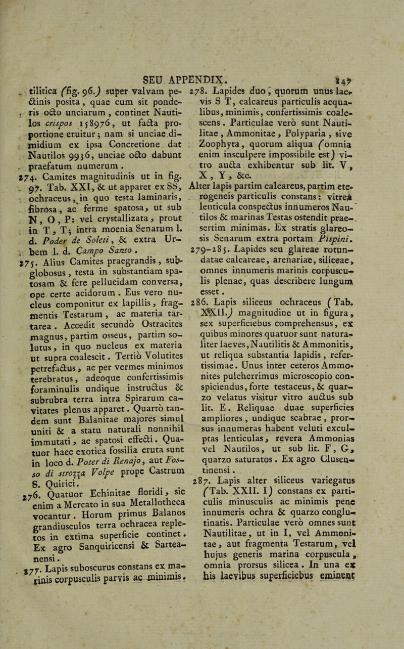 SEU API ^ tilitlca (ng. 96.) super valvam pe¬ ctinis posita, quae cum sit ponde- . ris odo unciarum , continet Nauti- los crispos 158976, ut fada pro¬ portione eruitur} nam si unciae di¬ midium ex ipsa Concretione dat Nautilos 9936, unciae odo dabunt . praefatum numerum . 174. Camites magnitudinis ut in fig. 97. Tab. XXI, &amp; ut apparet ex SS, ochraceus ,in quo testa laminaris, jibrdsa, ac ferme spatosa, ut sub N, O , P: vel crystallizata * prout ; jn T, T; intra moenia Senarum 1. d. Poder de Soleti, &amp; extra Ur- 4 bem 1. d. Campo Santo . 175. Alius Camites praegrandis, sub- globosus , testa in substantiam spa- tosam Sc fere pellucidam conversa, ope certe acidorum . Eus vero nu¬ cleus componitur ex lapillis, frag¬ mentis Testarum , ac materia tar- tarea. Accedit secundo Ostracites magnus, partim osseus, partim so¬ lutus , in quo nucleus ex materia ut supra coalescit. Tertio Volutites petrefadus, ac per vermes minimos terebratus, adeoque confertissimis foraminulis undique instructus St subrubra terra intra Spirarum ca¬ vitates plenus apparet. Quarto tan¬ dem sunt Balanitae majores simul uniti &amp; a statu naturali nonnihil immutati 5 ac spatosi effe&amp;i. Qua- tuor haec exotica fossilia eruta sunt in loco d. Poter di Reriajo, aut Fos¬ so di stroma Volpe prope Castrum S. Quirici. 276. Quatuor Echinitae floridi, sic enim a Mercato in sua Metallotheca vocantur . Horum primus Balanos grandiusculos terra ochracea reple¬ tos in extima superficie continet • Ex agro Sanquiricensi &amp; Sartea- nensi. 17 y. Lapis suboscurus constans ex ma- ritiis corpusculis parvis ac minimis. EiN JJlA. 147 278. Lapides duo, quorum unus laer vis S T, caicareus particulis aequa¬ libus, minimis, confertissimis coale¬ scens . Particulae vero sunt Nauti- litae , Ammonitae, Polyparia , sive Zoophyta, quorum aliqua ('omnia enim insculpere impossibile est) vi¬ tro auda exhibentur sub lit. V, X , Y 3 &amp;c. Alter lapis partim caicareus, partim ete- rogeneis particulis constans: vitrea lenticula conspedus innumeros Nau- tilos St marinas Testas ostendit prae-. sertim minimas. Ex stratis glareo¬ sis Senarum extra portam Pispini. 279-285. Lapides seu glareae rotun¬ datae calcareae, arenariae, siliceae, omnes innumeris marinis corpuscu¬ lis plenae, quas describere lungum esset . 86. Lapis siliceus ochraceus (Tab. X^Xll.J magnitudine ut in figura, sex superficiebus comprehensus, ex quibus minores quatuor sunt natura¬ liter laeves,Nautilitis St Ammonitis, ut reliqua substantia lapidis , refer¬ tissimae. Unus inter ceteros Ammo* nites pulcherrimus microscopio con¬ spiciendus, forte testaceus, &amp; quar- zo velatus visitur vitro audus lit. E. Reliquae duae superficies ampliores , undique scabrae , pror¬ sus innumeras habent veluti excul- ptas lenticulas, revera Ammonias vel Nautilos, ut sub lit. F, G* quarzo saturatos . Ex agro Clusen— tinensi. 87. Lapis alter siliceus variegatus ('Tab. XXII. I) constans ex parti¬ culis minusculis ac minimis pene innumeris ochra St quarzo conglu¬ tinatis. Particulae vero omnes sunt Nautilitae, ut in I, vel Ammoni¬ tae, aut fragmenta Testarum, vel hujus generis marina corpuscula, omnia prorsus silicea. In una ex his iaeyibus superficiebus eminent