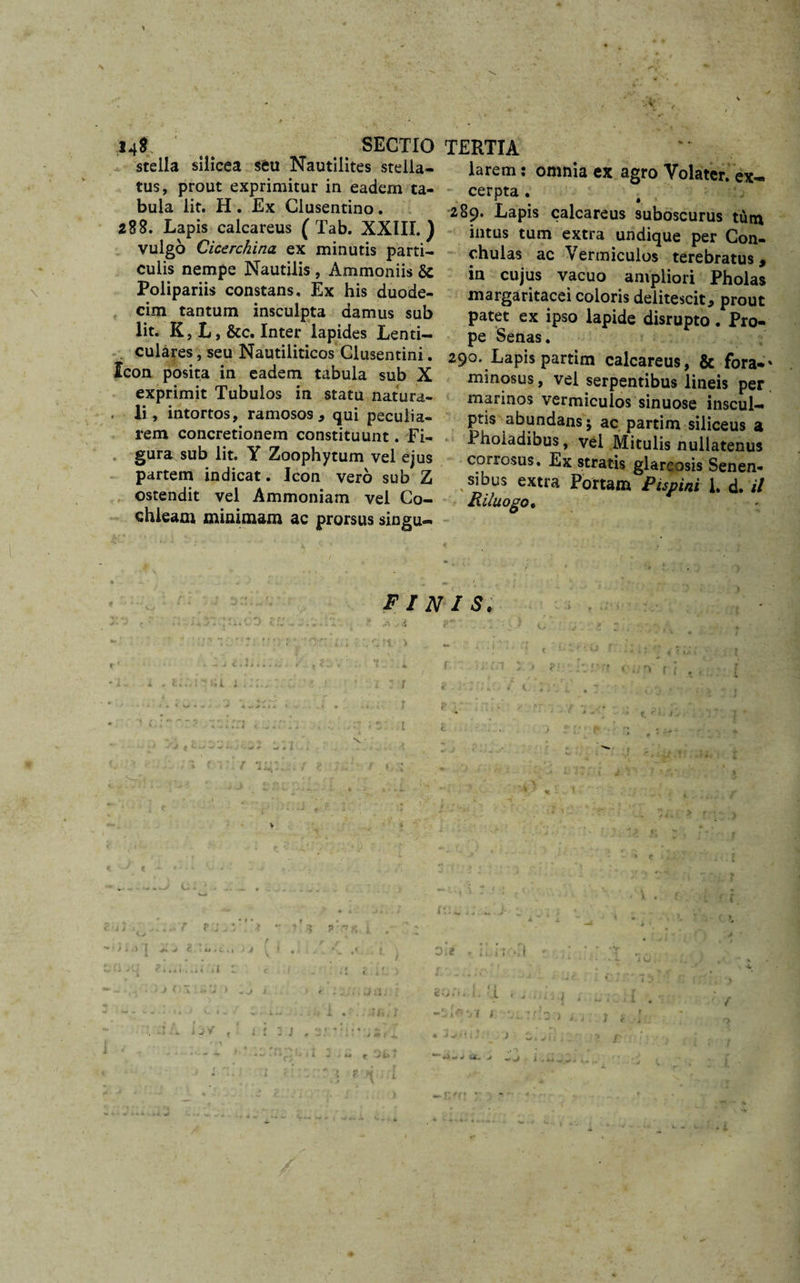 s 14$ SECTIO stella silicea seu Nautilites stella¬ tus, prout exprimitur in eadem ta¬ bula lit. H. Ex Clusentino. 288. Lapis calcareus ( Tab. XXIII.) vulgo Cicerchina ex minutis parti¬ culis nempe Nautilis, Ammoniis &amp; Polipariis constans. Ex his duode¬ cim tantum insculpta damus sub lit. K,L,&amp;c. Inter lapides Lenti¬ culares , seu Nautiliticos Clusentini. Icon posita in eadem tabula sub X exprimit Tubulos in statu natura¬ li, intortos, ramosos * qui peculia¬ rem concretionem constituunt. Fi¬ gura sub lit. Y Zoophytum vel ejus partem indicat. Icon vero sub Z ostendit vel Ammoniam vel Co¬ chleam minimam ac prorsus singu- FI N &lt;*; 1 N t TERTIA larem: omnia ex agro Yolater. ex¬ cerpta . 289. Lapis calcareus suboscurus tum intus tum extra undique per Con¬ chulas ac Vermiculos terebratus, in cujus vacuo ampliori Pholas margaritacei coloris delitescit, prout patet ex ipso lapide disrupto. Pro¬ pe Senas. 290. Lapis partim calcareus, &amp; fora-' minosus, vel serpentibus lineis per marinos vermiculos sinuose inscul¬ ptis abundans 5 ac partim siliceus a Phoiadibus, vel Mitulis nullatenus corrosus. Ex stratis glareosis Senen¬ sibus extra Portam Pupini 1. d. il Riluogo♦ IS.