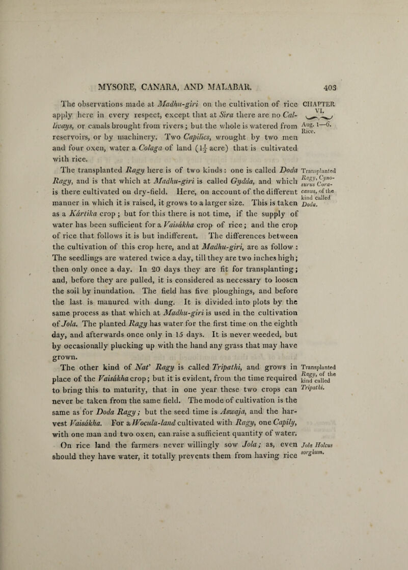 The observations made at Madhu-giri on the cultivation of rice CHAPTER apply here in every respect, except that at Sira there are no Cal- livays, or canals brought from rivers; but the whole is watered from AuS-1 & Rice. reservoirs, or by machinery. Two Capilies, wrought by two men and four oxen, water a Colaga of land (1A acre) that is cultivated with rice. The transplanted Ragy here is of two kinds: one is called Doda Transplanted Ragy, and is that which at Madhu-giri is called Gydda, and which Cora¬ ls there cultivated on dry-field. Here, on account of the different canus, of the . ....... ... . ... kind called manner in which it is raised, it grows to a larger size. This is taken Doda. as a Kdrtika crop ; but for this there is not time, if the supply of water has been sufficient for a Vaisakha crop of rice; and the crop of rice that follows it is but indifferent. The differences between the cultivation of this crop here, and at Madhu-giri, are as follow : The seedlings are watered twice a day, till they are two inches high; then only once a day. In 20 days they are fit for transplanting; and, before they are pulled, it is considered as necessary to loosen the soil by inundation. The field has five ploughing^, and before the last is manured with dung. It is divided into plots by the same process as that which at Madhu-giri is used in the cultivation of Jola. The planted Ragy has water for the first time on the eighth day, and afterwards once only in 15 days. It is never weeded, but by occasionally plucking up with the hand any grass that may have grown. The other kind of Nat' Ragy is called Tripatlii, and grows in Transplanted place of the Vaisakha crop; but it is evident, from the time required ^nf^led'6 to bring this to maturity, that in one year these two crops can Tripathi. never be taken from the same field. The mode of cultivation is the same as for Doda Ragy; but the seed time is Aswaja, and the har¬ vest Vaisakha. For a JVocula-land cultivated with Ragy, one Capily, with one man and two oxen, can raise a sufficient quantity of water. On rice land the farmers never willingly sow Jola; as, even Jola IIolcus should they have water, it totally prevents them from having rice i0,Aaim'