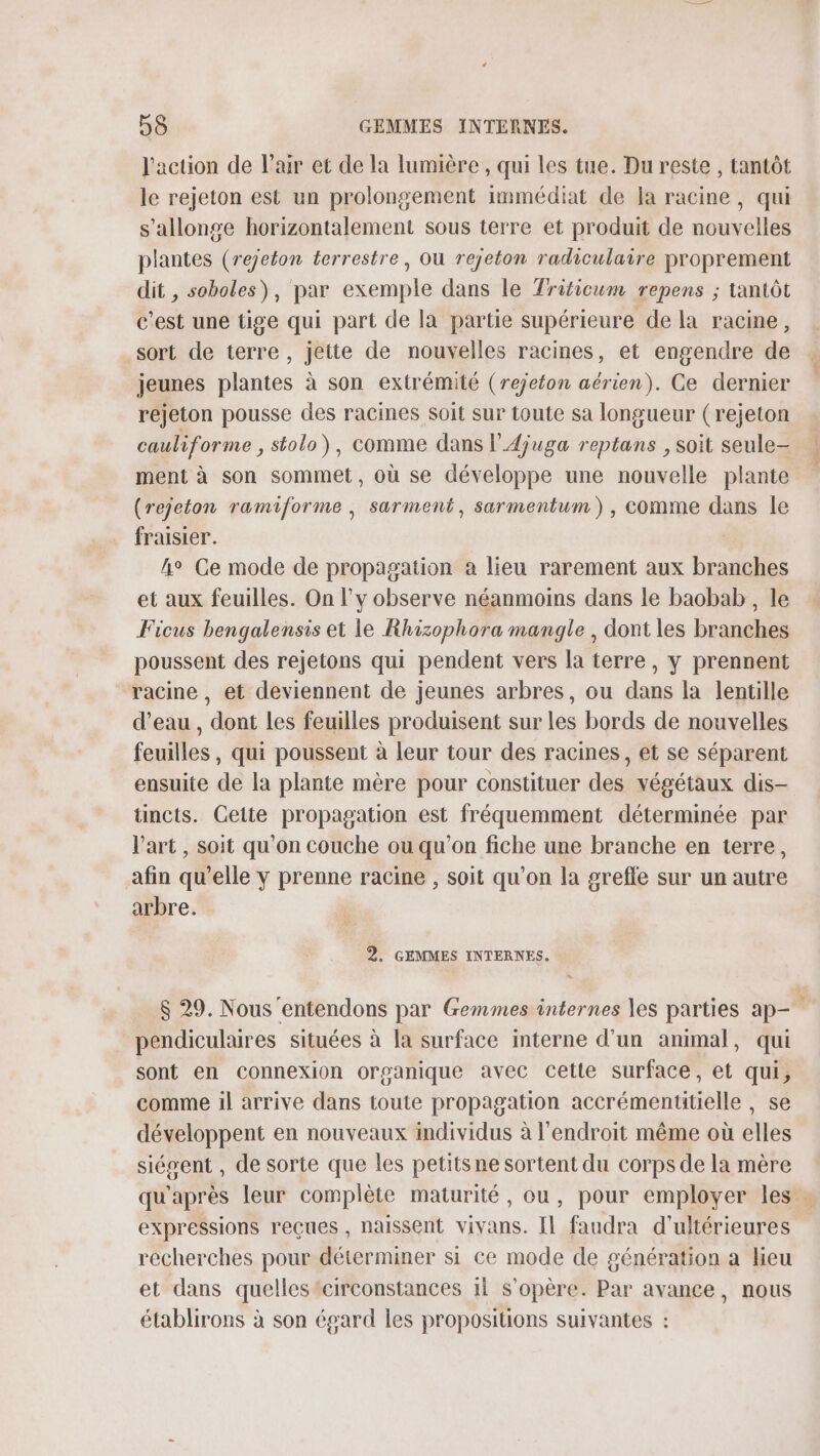 l'action de l'air et de la lumière , qui les tue. Du reste , tantôt le rejeton est un prolongement immédiat de la racine, qui s'allonge horizontalement sous terre et produit de nouvelles plantes (rejeton terrestre, Où rejeton radiculaire proprement dit , soboles), par exemple dans le Triticum repens ; tantôt c'est une tige qui part de la partie supérieure de la racine, sort de terre, jette de nouvelles racines, et engendre de jeunes plantes à son extrémité (rejeton aérien). Ce dernier rejeton pousse des racines soit sur toute sa longueur (rejeton cauliforme , stolo), comme dans lAjuga reptans , soit seule- ment à son sommet, où se développe une nouvelle plante (rejeton ramiforme , sarment, sarmentum) , comme dans le fraisier. 4° Ce mode de propagation a lieu rarement aux branches et aux feuilles. On l'y observe néanmoins dans le baobab , le Ficus bengalensis et le Rhizophora mangle , dont les branches poussent des rejetons qui pendent vers la terre, y prennent racine , et deviennent de jeunes arbres, ou dans la lentille d’eau , dont Les feuilles produisent sur les bords de nouvelles feuilles, qui poussent à leur tour des racines, et se séparent ensuite de la plante mère pour constituer des végétaux dis- tincts. Cette propagation est fréquemment déterminée par l'art , soit qu'on couche ou qu'on fiche une branche en terre, afin qu’elle y prenne racine , soit qu'on la greffe sur un autre arbre. 2. GEMMES INTERNES. $ 29. Nous ‘entendons par Gemmes internes les parties ap- pendiculaires situées à la surface interne d’un animal, qui sont en connexion organique avec cette surface, et qui, comme il arrive dans toute propagation accrémentitielle , se développent en nouveaux individus à l'endroit même où elles siégent , de sorte que les petitsne sortent du corps de la mère qu'après leur complète maturité, ou, pour employer les « expressions reçues, naissent vivans. Il faudra d'ultérieures recherches pour déterminer si ce mode de génération a lieu et dans quelles circonstances il s'opère. Par avance, nous établirons à son égard les propositions suivantes :