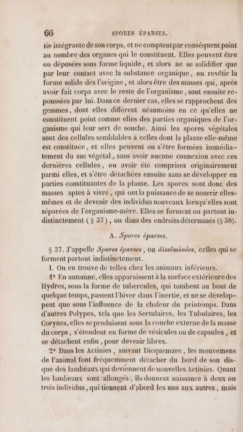 tie intégrante de son corps, et ne comptent par conséquent point au nombre des organes qui le constituent. Elles peuvent être ou déposées sous forme liquide, et alors ne se solidifier que par leur contact avec la substance organique, ou revêtir la forme solide dès l'origine , et alors être des masses qui, après avoir fait corps avec le reste de l'organisme , sont ensuite re- poussées par lui. Dans ce dernier cas, elles se rapprochent des gemmes, dont elles diffèrent néanmoins en ce qu'elles ne constituent point comme elles des parties organiques de l’or- ganisme qui leur sert de souche. Ainsi les spores végétales sont des cellules semblables à celles dont la plante elle-même est constituée , et elles peuvent ou s'être formées immédia- tement du suc végétal , sans avoir aucune connexion avec ces dernières cellules, ou avoir été comprises originairement parmi elles, et s'être détachées ensuite sans se développer en parties constituantes de la plante. Les spores sont donc des masses aptes à vivre , qui ont la puissance de se nourrir elles- mêmes et de devenir des individus nouveaux lorsqu'elles sont séparées de l'organisme-mère. Elles se forment ou partout in- distinctement ($ 37), ou dans des endroits déterminés ($ 38). À. pores éparses. $ 37. J'appelle Spores éparses , ou disséminées, celles qui se forment partout indistinctement. I. On en trouve de telles chez les animaux inférieurs. 1° En automne, elles apparaissent à la surface extérieure des Hydres, sous la forme de tubercules, qui tombent au bout de quelque temps, passent l'hiver dans l’inertie, et ne se dévelop- pent que sous l'influence de la chaleur du printemps. Dans d’autres Polypes, tels que les Sertulaires, les Tubulaires, les Corynes, elles se produisent sous la couche externe de la masse du corps, S'étendent en forme de vésicules ou de capsules , et se détachent enfin , pour devenir libres. | 2° Dans les Acunies, suivant Dicquemare , les mouvemens de l'animal font fréquemment détacher du bord de son dis- que des lambeaux qui deviennent de nouvelles Actnies. Quant les lambeaux sont ‘allongés , ils donnent naissance à deux ou trois individus , qui tiennent d'abord les uns aux autres, mais