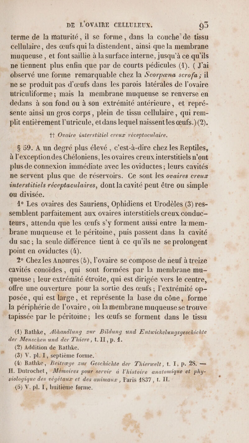 terme de la maturité, il se forme, dans la couche‘ de tissu cellulaire, des œufs qui la distendent, ainsi que la membrane muqueuse , et font saillie à la surface interne, jusqu’à ce qu'ils ne tiennent plus enfin que par de courts pédicules (4). ( J'ai observé une forme remarquable chez la Scorpæna scrofa ; il ne se produit pas d'œufs dans les parois latérales de l'ovaire utriculiforme ; mais la membrane muqueuse se renverse en dedans à son fond ou à son extrémité antérieure, et repré- sente ainsi un 2ros Corps, plein de tissu cellulaire, qui rem- plit entièrement l’utricule, etdans lequel naissent les œufs.) (2). tt Ovaire interstitiel creux réceptaculaire. $ 59. À un degré plus élevé , c’est-à-dire chez les Reptiles, à l'exception des Chéloniens, les ovaires creux interstitiels n’ont plus de connexion immédiate avec les oviductes ; leurs cavités ne servent plus que de réservoirs. Ce sont les ovaires creux interstitiels réceptaculaires, dont la cavité peut être ou simple ou divisée. 4° Les ovaires des Sauriens, Ophidiens et Urodèles (3) res- semblent parfaitement aux ovaires interstitiels creux conduc- teurs, attendu que les œufs s’y forment aussi entre la-mem- brane muqueuse et le péritoine, puis passent dans la cavité du sac ; la seule différence tient à ce qu'ils ne se prolongent point en oviductes (4). 2° Chez les Anoures (5), l'ovaire se compose de neuf à treize cavités conoïdes , qui sont formées par la membrane mu- queuse ; leur extrémité étroite, qui est dirigée vers le centre, offre une ouverture pour la sortie des œufs ; l'extrémité op- posée, qui est large, et représente la base du cône, forme la périphérie de l'ovaire , où la membrane muqueuse se trouve tapissée par le péritome; les œufs se forment dans le tissu (4) Rathke, Æbhandlung zur Bildung und Entwichelungsyesehichte der Menschen und der There, t. IT, p. 4. (2) Addition de Rathke. (3) V. pl. I, septième forme. (4) Rathke, Beitræge zur Geschichte der Thierwelt, t. I, p. 28. — H. Datrochet, Mémoires pour servir à l’histoire anatomique et phy- siologique des végétaux et des unimaux , Paris 4837, t. IL. |