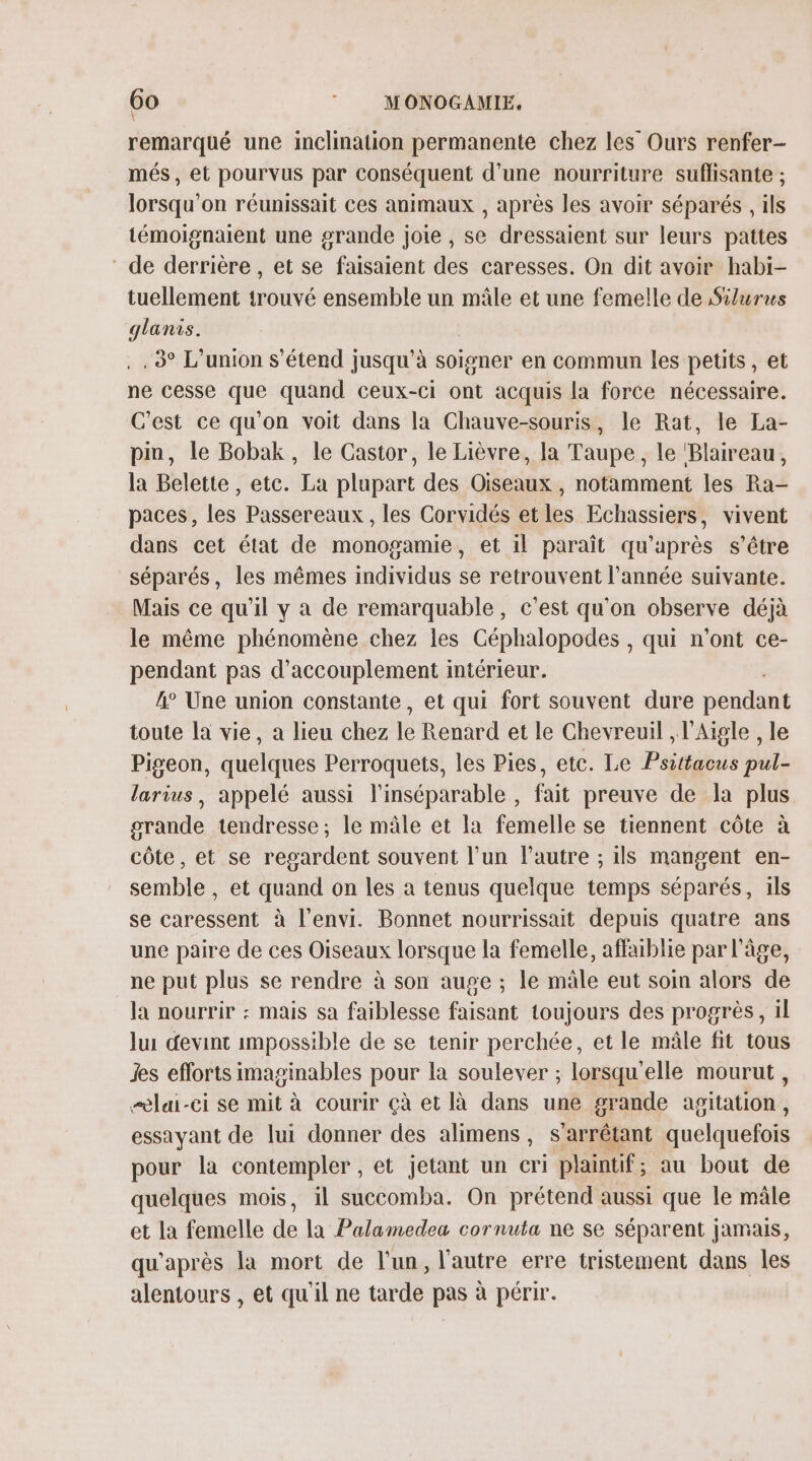 Go ? MONOGAMIE. remarqué une inclination permanente chez les Ours renfer- més , et pourvus par conséquent d’une nourriture suflisante ; lorsqu'on réunissait ces animaux , après les avoir séparés , ils témoignaient une grande joie , se dressaient sur leurs pattes ‘ de derrière, et se faisaient des caresses. On dit avoir habi- tuellement trouvé ensemble un mâle et une femelle de Silurus glanis. 3° L'union s'étend jusqu’à soisner en commun les petits, et ne cesse que quand ceux-ci ont acquis la force nécessaire. C’est ce qu'on voit dans la Chauve-souris, le Rat, le La- pin, le Bobak, le Castor, le Lièvre, la Taupe, le 'Blaireau, la Belette , etc. La plupart des Oiseaux , notamment les Ra- paces, les Passereaux, les Corvidés et les Echassiers, vivent dans cet état de monogamie, et il paraît qu'après s'être séparés, les mêmes individus se retrouvent l’année suivante. Mais ce qu'il y a de remarquable, c’est qu'on observe déjà le même phénomène chez les Céphalopodes , qui n'ont ce- pendant pas d’accouplement intérieur. 4° Une union constante, et qui fort souvent dure pendant toute la vie, a lieu chez lé Renard et le Chevreuil , l’Aigle , le Pigeon, quelques Perroquets, les Pies, etc. Le Psittacus pul- larius, appelé aussi l’inséparable , fait preuve de la plus grande tendresse; le mâle et la femelle se tiennent côte à côte, et se regardent souvent l’un l’autre ; ils mangent en- semble , et quand on les à tenus quelque temps séparés, ils se caressent à l’envi. Bonnet nourrissait depuis quatre ans une paire de ces Oiseaux lorsque la femelle, affaiblie par l’âge, ne put plus se rendre à son auge ; le mâle eut soin alors de la nourrir : mais sa faiblesse faisant toujours des progrès, 1l lui devint impossible de se tenir perchée, et le mâle fit tous Jes efforts imaginables pour la soulever ; lorsqu'elle mourut, lai-ci se mit à courir çà et [à dans une grande agitation, essayant de lui donner des alimens, s’arrêtant quelquefois pour la contempler, et jetant un cri plaintif; au bout de quelques mois, il succomba. On prétend aussi que le mâle et la femelle de la Palamedea cornuta ne se séparent jamais, qu'après la mort de l’un, l'autre erre tristement dans les alentours , et qu’il ne tarde pas à périr.