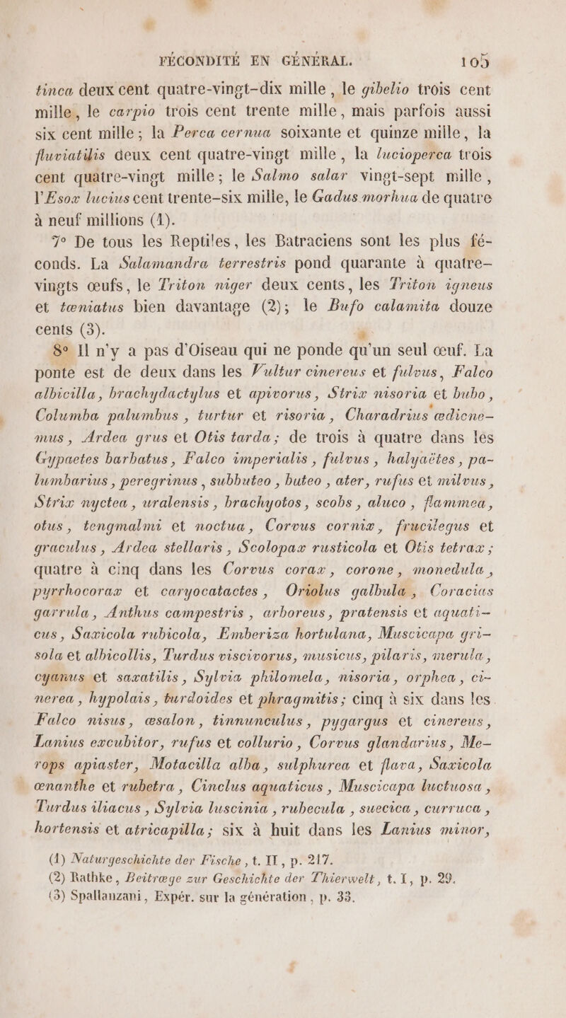 tinca deux cent quatre-vingt-dix mille , le gibelio trois cent mille, le carpio trois cent trente mille, mais parfois aussi six cent mille; la Perca cernua soixante et quinze mille, la fluviatilis deux cent quatre-vingt mille, la lucioperca trois cent quatre-vingt mille; le Salmo salar vingt-sept mille, l'Esox lucius cent trente-six mille, le Gadus morhua de quatre à neuf millions (1). 7° De tous les Reptiles, les Batraciens sont les plus fé- conds. La Salamandra terrestris pond quarante à quatre- vingts œufs, le Triton niger deux cents, les Triton igneus et fæniatus bien davantage (2); le Bufo calamita douze cents (3). 8° Il n'y a pas d'Oiseau qui ne ponde a un seul œuf. La ponte est de deux dans les Vultur cinereus et fulous, Falco albicilla, brachydactylus et apivorus, Strix nisoria et bubo , Columba palumbus , turtur et risoria, Charadrius ædicne- mus , Ardea grus et Otis tarda; de trois à quatre dans les Gypaetes barbatus, Falco imperialis, fulvus, halyaëtes, pa- lumbarius, peregrinus | subbuteo , buteo , ater, rufus et milous, Striz nyctea, uralensis, brachyotos, scobs , aluco , flammeu, obus, tengmalmi et noctua, Corvus cornix, frucilequs et graculus , Ardea stellaris , Scolopax rusticola et Ofis tetrax ; quatre à cinq dans les Corvus corax, corone, monedulu, pyrrhocorax et caryocatactes, Oriolus galbulæ, Coracius garrula, Anthus campestris , arboreus, pratensis et aquali-— eus, Saxicola rubicola, Emberiza hortulana, Muscicapa qri- sola et albicollis, Turdus viscivorus, musicus, pilaris, merula, cyanus et sazatilis, Sylvia philomela, nisoria, orphea, ci- nerea , hypolais, Droite: et phragmitis ; cinq à six dans les. Falco nisus, æsalon, tinnunculus &gt; Pygargqus et cinereus, Lanius excubntor, AE et collurio, Corvus glandarius, Me rops apiaster, Motacilla alba, sulphurea et fluva, Saxicola œnanthe et rubetra, Cinclus aquaticus, Muscicapa luctuosa , Turdus iliacus , Sylvia luscinia , rubecula , suecica, curruca , hortensis et atricapilla; six à huit dans les Lanius minor, (1) Naturgeschichte der Fische , t. IT, p. 217. (2) Ratbke, Beitræge zur Geschichte der Thierwelt, t.1, p. 29. (3) Spallanzani, Expér. sur la génération, p. 33.