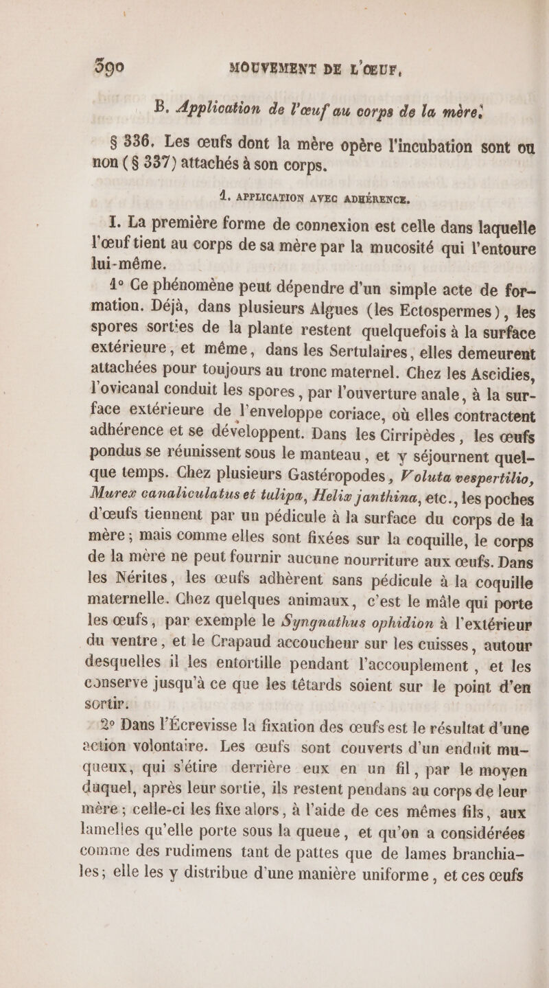 B. Application de l'œuf au corps de la mère: $ 336, Les œufs dont la mère opère l'incubation sont ou non ($ 337) attachés à son corps. À, APPLICATION AYEC ADHÉRENCE, I. La première forme de connexion est celle dans laquelle l'œuf tient au corps de sa mère par la mucosité qui l’entoure lui-même. 1° Ge phénomène peut dépendre d'un simple acte de for mation. Déjà, dans plusieurs Algues (les Ectospermes), les spores sorties de la plante restent quelquefois à la surface extérieure , et même, dans les Sertulaires , elles demeurent attachées pour toujours au tronc maternel. Chez les Ascidies, l'ovicanal conduit les spores , par l'ouverture anale, à la sur- face extérieure de J'enveloppe coriace, où elles contractent adhérence et se développent. Dans les Cirripèdes , les œufs pondus se réunissent sous le manteau , et y séjournent quel- que temps. Chez plusieurs Gastéropodes, Foluta vespertilio, Murex canaliculatus et tulipa, Helix janthina, etc., les poches d'œufs tiennent par un pédicule à la surface du corps de la mère ; mais Comme elles sont fixées sur la coquille, le corps de la mère ne peut fournir aucune nourriture aux œufs. Dans les Nérites, les œufs adhèrent sans pédicule à la coquille maternelle. Chez quelques animaux, c’est le mâle qui porte les œufs, par exemple le Syngnathus ophidion à l'extérieur du ventre, et le Crapaud accoucheur sur les cuisses , autour desquelles il les entortille pendant l’accouplement , et les conserve jusqu'à ce que les tétards soient sur le point d'en sortir. 2° Dans l’Écrevisse la fixation des œufs est le résultat d'une acuon volontaire. Les œufs sont couverts d’un enduit mu- queux, qui s'étire derrière eux en un fil, par le moyen duquel, après leur sortie, ils restent pendans au corps de leur mère ; celle-ci les fixe alors, à l’aide de ces mêmes fils, aux lamelles qu’elle porte sous la queue, et qu’on a considérées comme des rudimens tant de pattes que de lames branchia- les; elle les y distribue d’une manière uniforme , et ces œufs
