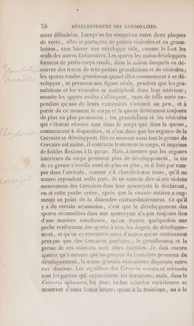 ne LS ment délimitées. Lorsqu'on les comprime entre deux plaques de verre, elles se partagent en petites vésicules et en granu- lations, sans laisser une enveloppe vide, comme le font les œufs des autres Entozoaires. Les spores les moins développées forment de petits corps ronds, dans le milieu desquels on dé- -couvyre des traces de très-petites granulations et de vésicules ; les spores rondes grossissent quand elles commencent à se dé- velopper, et prennent une figure ovale, pendant que les gra- nulations et les vésicules se OR dans leur intérieur ; ensuite les spores ovales s’allongent, mais de telle sorte ce- pendant qu'une de leurs extrémités s’amincit un peu, et à parür de ce moment le corps et la queue deviennent toujours de plus en plus prononcés : les granulations et les vésicules qui s'étaient réunies tant dans le corps que dans la queue, commencent à disparaître, et c’est alors que les organes de la Cercaire se développent. Dès ce moment aussi tout le germe de de faibles flexions à la queue. Mais, à mesure que les organes intérieurs du corps prennent plus de développement, la vie de ce germe s’éveille aussi de plus en plus, et il finit par ram- per dans l’uiricule, comme s’il cherchait une issue, qu'il ne trouve cependant nulle part. Je ne saurais dire si ces violens mouvemens des Cercaires dans leur sporocyste la déchirent, ou si cette poche crève, après que la couvée entière a aug- menté au point de la distendre extraordinairement. Ce qu’il y a de certain néanmoins, c’est que le développement des spores accumulées dans une sporocyste n’a pas toujours lieu d'une manière simultanée, qu’on trouve quelquefois une poche renfermant des spores à tous les degrés de développe- ment, et qu'on en rencontre aussi d'autres quine Contiennent presque que des'Cercaires parfaites ; le grouiliement et la presse de ces animaux sont alors énormes. Je dois encore ajouter qu’à mesure que les germes de Cercaires prennent du développement , la masse granulo-vésiculeuse dispersée entre eux diminue. Les aignillons des Cercaria. armata et echinata sont les parties qui apparaissent les dernières; mais, dans la Cercaria ephemera, les deux taches colorées extérieures se montrent d'assez bonne heure ; quant à la troisième, ou à la