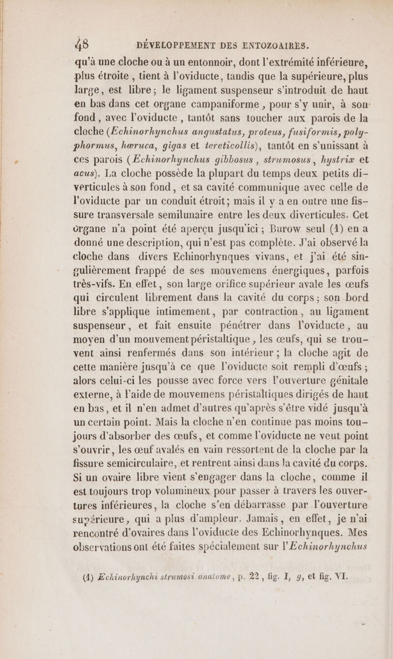 qu’à une cloche ou à un entonnoir, dont l'extrémité inférieure, plus étroite , tient à l'oviducte, tandis que la supérieure, plus large, est libre; le ligament suspenseur s’introduit de haut en bas dans cet organe campaniforme , pour s’y unir, à son fond , avec l’oviducte , tantôt sans toucher aux parois de la cloche (Echinorhynchus angustatus, proteus, fusiformis, poly- phormus, hœruca, gigas et tereticollis), tantôt en s’unissant à ces parois (Echinorhynchus gibbosus , strumosus, hystrix et acus). La cloche possède la plupart du temps deux petits di- verticules à son fond, et sa cavité communique avec celle de l'oviducte par un conduit étroit; mais il y a en outre une fis- sure transversale semilunaire entre les deux diverticules. Cet crgane n'a point été aperçu jusqu'ici; Burow seul (1) en a donné une description, qui n’est pas complète. J’ai observé la cloche dans divers Echinorhynques vivans, et j'ai été sin- gulièrement frappé de ses mouvemens énergiques, parfois très-vifs. En effet, son large orifice supérieur avale les œufs qui circulent librement dans la cavité du corps ; son bord libre s'applique intimement, par contraction, au ligament suspenseur , et fait ensuite pénétrer dans l’oviducte, au moyen d’un mouvement péristaltique , les œufs, qui se trou- vent ainsi renfermés dans son intérieur ; la cloche agit de cette manière jusqu'à ce que l'oviducte soit rempli d'œufs ; alors celui-ci les pousse avec force vers l’ouverture génitale externe, à l'aide de mouvemens péristaltiques dirigés de haut en bas, et il n’en admet d’autres qu'après s'être vidé jusqu'à un Certain point. Mais la cloche n’en continue pas moins tou- jours d'absorber des œufs, et comme l'oviducte ne veut point s'ouvrir, les œuf avalés en vain ressortent de la cloche par la fissure semicirculaire, et rentrent ainsi dans la cavité du corps. Si un ovaire libre vient s'engager dans la cloche, comme il est toujours trop volumineux pour passer à travers les ouver- tures inférieures, la cloche s’en débarrasse par l'ouverture suvérieure, qui à plus d'ampleur. Jamais, en effet, je n'ai rencontré d'ovaires dans l’oviducte des Echinorhynques. Mes observations ont été faites spécialement sur l’Echinorhynchus (4) Echinorhynchi strumosi anatome, p. 22, fig. TI, 9, et fig. VI.