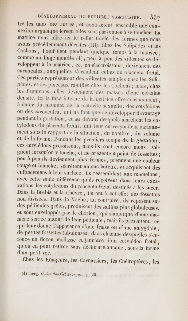 tre les unes des autres, et contractent ensemble une con- nexion organique lorsqu'elles sont parvenues à se toucher. La matrice nous offre ici le reflet fidèle des formes que nous avons précédemment décrites (III). Chez les Solipèdes et les Cochons , l'œuf tient pendant quelque temps à la matrice, comme un linge mouillé (4) ; peu à peu des villosités se dé- veloppent à la matrice, et, en s'accroissant , deviennent des Caroncules , auxquelles s’accollent celles du placenta fœtal. Ces parties représentent des villosités simples chez les Soli- pèdes, et des pinceaux ramifiés chez les Cochons ; mais, chez les Ruminans, elles deviennent des masses d'une certaine densité. Ici la face interne de la matrice offre constamment À à dater du moment de la maturité sexuelle , des cotvlédons ou des caroncules, qui ne font que se développer davantage pendant la gestation, et au devant desquels marchent les co- tylédons du placenta fœtal, qui leur correspondent parfaite ment sous le rapport de la situation, du nombre, du volume et de la forme. Pendant les premiers temps de la gestation, ces cotylédons grossissent, mais ils sont encore mous, sai- gnent lorsqu'on y touche, et ne présentent point de fossettes ; peu à peu ils deviennent plus fermes . prennent une couleur rouge et blanche, sécrètent un suc laiteux, et acquièrent des enfoncemens à leur surface ; ils ressemblent aux mamelons, avec cette seule différence qu'ils reçoivent dans leurs exca- vations les cotylédons du placenta fœtal destinés à les sucer. Dans la Brebis et la Chèvre , ils ont à cet effet des fossettes non divisées. Dans la Vache, au contraire , ils reposent sur des pédicules grêles, produisent des saillies plus globuleuses, et sont enveloppés par le chorion , qui s'applique d’une ma- nière serrée autour de leur pédicule ; maisils présentent , ce qui leur donne l'apparence d'une fraise ou d’une amygdale , de petites fossettes tubuleuses, dans chacune desquelles s’en- fonce un flocon moliasse et iaunâtre d'un Cotyiédon fœtal, qu'on en peut retirer sans déchirure aucune , Sous la forme d'un petit ver. Chez les Rongeurs, les Carnassiers, les Chéiroptères, les (1) Jœrg, Ueber das Getærorgan , p, 23.