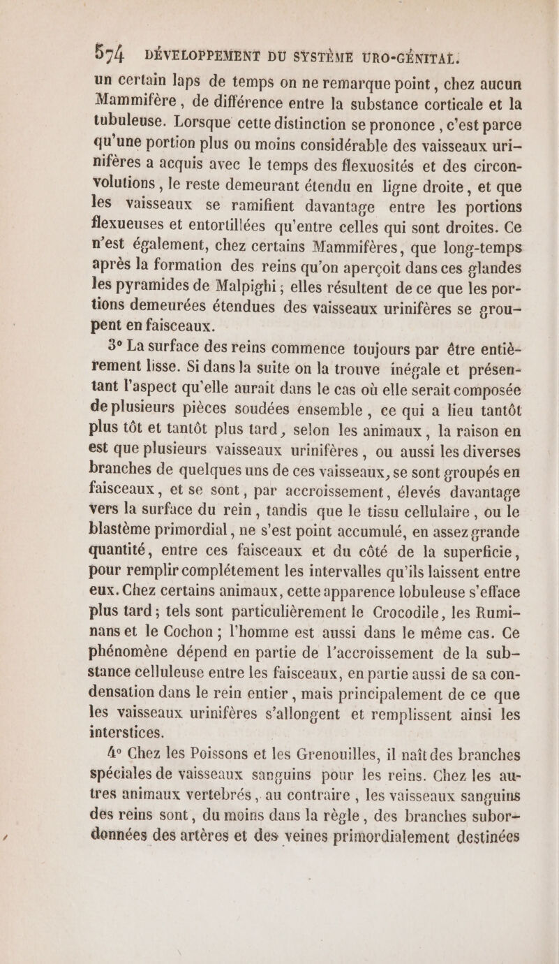 un certain laps de temps on ne remarque point , chez aucun Mammifère , de différence entre la substance corticale et la tubuleuse. Lorsque cette distinction se prononce , c’est parce qu'une portion plus ou moins considérable des vaisseaux uri- nifères à acquis avec le temps des flexuosités et des circon- volutions , le reste demeurant étendu en ligne droite, et que les vaisseaux se ramifient davantage entre les portions flexueuses et entortillées qu'entre celles qui sont droites. Ce n'est également, chez certains Mammifères, que long-temps après la formation des reins qu'on aperçoit dans ces glandes les pyramides de Malpighi ; elles résultent de ce que les por- tions demeurées étendues des vaisseaux urinifères se grou- pent en faisceaux. 3° La surface des reins commence toujours par être entiè- rement lisse. Si dans la suite on la trouve inégale et présen- tant l'aspect qu'elle aurait dans le cas où elle serait composée de plusieurs pièces soudées ensemble , ce qui a lieu tantôt plus tôt et tantôt plus tard, selon les animaux , la raison en est que plusieurs vaisseaux urinifères, ou aussi les diverses branches de quelques uns de ces vaisseaux, se sont sroupés en faisceaux, et se sont, par accroissement, élevés davantage vers la surface du rein, tandis que le tissu cellulaire , ou le blastème primordial , ne s’est point accumulé, en assez grande quantité, entre ces faisceaux et du côté de la superficie, pour remplir complétement les intervalles qu'ils laissent entre eux. Chez certains animaux, cette apparence lobuleuse s’efface plus tard ; tels sont particulièrement le Crocodile, les Rumi- nans et le Cochon ; l’homme est aussi dans le même cas. Ce phénomène dépend en partie de l’accroissement de la sub- stance celluleuse entre les faisceaux, en partie aussi de sa con- densation dans le rein entier , mais principalement de ce que les vaisseaux urinifères s’allongent et remplissent ainsi les interstices. lo Chez les Poissons et les Grenouilles, il naît des branches spéciales de vaisseaux sanpuins pour les reins. Chez les au- tres animaux vertebrés , au contraire , les vaisseaux sanguins des reins sont, du moins dans la règle, des branches subor= données des artères et des veines primordialement destinées