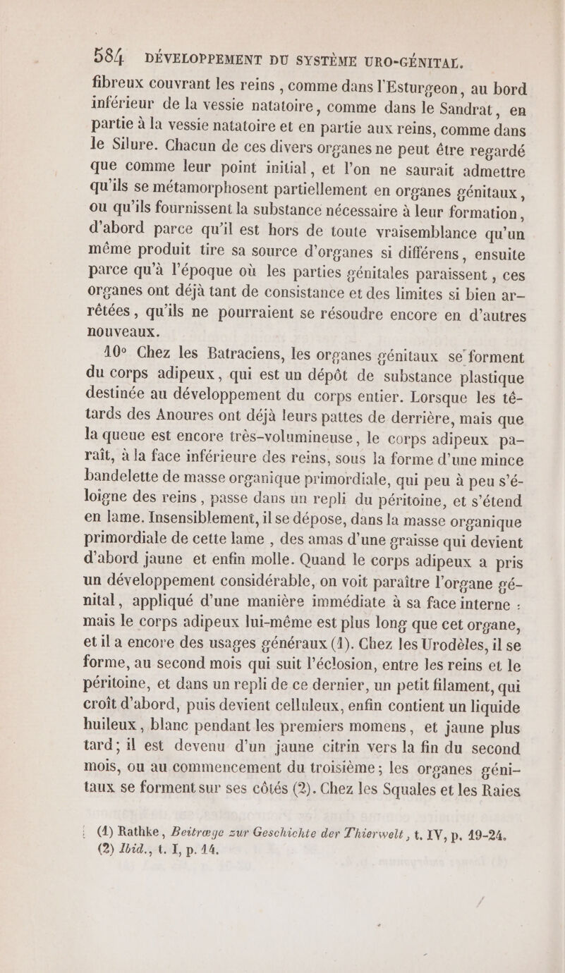 fibreux couvrant les reins , comme dans l'Esturgeon, au bord inférieur de la vessie natatoire, comme dans le Sandrat, en partie à la vessie natatoire et en partie aux reins, comme dans le Silure. Chacun de ces divers organes ne peut être regardé que comme leur point initial, et l’on ne saurait admettre qu'ils se métamorphosent partiellement en organes génitaux, ou qu’ils fournissent la substance nécessaire à leur formation , d'abord parce qu’il est hors de toute vraisemblance qu'un même produit tire sa source d'organes si différens, ensuite parce qu'à l'époque où les parties génitales paraissent , ces organes ont déjà tant de consistance et des limites si bien ar rêtées, qu'ils ne pourraient se résoudre encore en d’autres nouveaux. 10° Chez les Batraciens, les organes génitaux se forment du corps adipeux, qui est un dépôt de substance plastique destinée au développement du corps entier. Lorsque les té- tards des Anoures ont déjà leurs pattes de derrière, mais que la queue est encore très-volumineuse, le corps adipeux pa- rait, à la face inférieure des reins, sous la forme d’une mince bandelette de masse organique primordiale, qui peu à peu s’é- loigne des reins , passe dans un repli du péritoine, et s'étend en lame. Insensiblement, ilse dépose, dans la masse organique primordiale de cette lame , des amas d’une graisse qui devient d'abord jaune et enfin molle. Quand le corps adipeux a pris un développement considérable, on voit paraître l'organe gé- nital, appliqué d’une manière immédiate à sa face interne : mais le corps adipeux lui-même est plus long que cet organe, et il a encore des usages généraux (1). Chez les Urodèles, il se forme, au second mois qui suit l’éclosion, entre les reins et le péritoine, et dans un repli de ce dernier, un petit filament, qui croît d'abord, puis devient celluleux, enfin contient un liquide huileux , blanc pendant les premiers momens, et jaune plus tard; il est devenu d’un jaune citrin vers la fin du second mois, Ou au commencement du troisième ; les organes géni- taux se forment sur ses côtés (2). Chez les Squales et les Raies (4) Rathke, Beitræge sur Geschichte der Thierwelt , t, LV, p. 49-24.