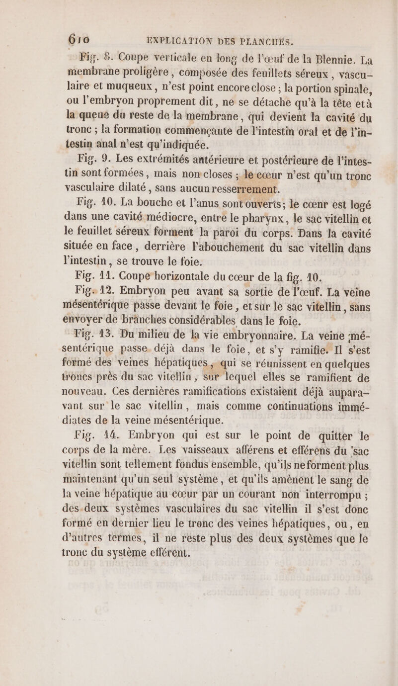 Fig. &amp;. Coupe verticale en long de l'œuf de la Blennie. La membrane proligère , composée des feuillets séreux , vascu- laire et muqueux , n’est point encore close ; la portion spinale, ou l'embryon proprement dit, ne se détache qu'à la tête età la queue du reste de la membrane, qui devient la cavité du tronc ; la formation commencçante de l'intestin oral et de l'in- testin anal n’est qu’indiquée. Fig. 9. Les extrémités antérieure et postérieure de l'intes- tin sont formées, mais non closes ; le cœur n’est qu'un tronc vasculaire dilaté , sans aucun resserrément. Fig. 10. La bouche et l’anus sont ouverts; le cœnr est logé dans une cavité médiocre, entre le pharynx, le sac vitellin et le feuillet séreux forment la paroi du corps. Dans la cavité située en face, derrière l'abouchement du sac vitellin dans l'intestin, se trouve le foie. Fig. 11. Coupe horizontale du cœur de la fig. 10. Figs 12. Embryon peu avant sa sortie de l’œuf. La veine mésentérique passe devant le foie , et sur le sac vitellin, sans envoyer de branches considérables dans le foie. Fig. 15. Du milieu de la vie embryonnaire. La veine :mé- sentérique passe, déjà dans le foie, et s'y ramifie. Il s’est formé des vemes hépatiques qui se réunissent en quelques troncs près du sac vitéllin, sur lequel elles se ramifient de nouveau. Ces dernières ramifications existaient déjà aupara- vant sur le sac vitellin, mais comme continuations immé- diates de la veine mésentérique. Fig. 14. Embryon qui est sur le point de quitter le corps de la mère. Les vaisseaux aflérens et efférens du ‘sac vitellim sont tellement fondus ensemble, qu’ils ne forment plus maintenant qu'un seul système, et qu'ils amènent le sang de la veine hépatique au cœur par un courant non interrompu ; des-deux systèmes vasculaires du sac vitellin il s’est donc formé en dernier lieu le tronc des veines hépatiques, ou, en d’autres termes, il ne réste plus des deux systèmes que le tronc du système eflérent.