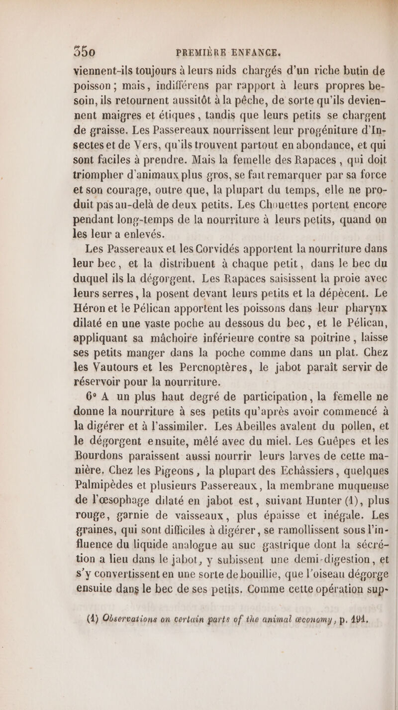 viennent-ils toujours à leurs nids chargés d’un riche butin de poisson ; mais, indiflérens par rapport à leurs propres be- Soin, ils retournent aussitôt à la pêche, de sorte qu'ils devien- nent maigres et étiques , tandis que leurs petits se chargent de graisse. Les Passereaux nourrissent leur progéniture d’In- sectes et de Vers, qu'ils trouvent partout en abondance, et qui sont faciles à prendre. Mais la femelle des Rapaces , qui doit triompher d'animaux plus gros, se fait remarquer par sa force et son courage, outre que, la plupart du temps, elle ne pro- duit pas au-delà de deux petits. Les Chouettes portent encore pendant long-temps de la nourriture à leurs petits, quand on les leur a enlevés. | Les Passereaux et les Corvidés apportent la nourriture dans leur bec, et la distribuent à chaque petit, dans le bec du duquel ils la dégorgent. Les Rapaces saisissent la proie avec leurs serres, la posent devant leurs petits et la dépècent. Le Héron et le Pélican apportent les poissons dans leur pharynx dilaté en une vaste poche au dessous du bec, et le Pélican, appliquant sa mâchoire inférieure contre sa poitrine , laisse ses petits manger dans la poche comme dans un plat. Chez les Vautours et les Percnoptères, le jabot paraît servir de réservoir pour la nourriture. 6° À un plus haut degré de participation, la femelle ne donne la nourriture à ses petits qu'après avoir commencé à la digérer et à l’assimiler. Les Abeilles avalent du pollen, et le désorgent ensuite, mêlé avec du miel. Les Guépes et les Bourdons paraissent aussi nourrir leurs larves de cette ma- nière, Chez les Pigeons , la plupart des Echâssiers, quelques Palmipèdes et plusieurs Passereaux , la membrane muqueuse de l’œsophage dilaté en jabot est, suivant Hunter (1), plus rouge, garnie de vaisseaux, plus épaisse et inégale. Les graines, qui sont difficiles à digérer, se ramollissent sous l’in- fluence du liquide analogue au suc gastrique dont la sécré- tion a lieu dans le jabot, y subissent une demi-digestion, et s’y convertissent en une sorte de bouillie, que l’oiseau dégorge ensuite dans le bec de ses petits. Comme cette opération sup- (1) Oéservations on cerluin parts of the animal œconomy , p. 494,