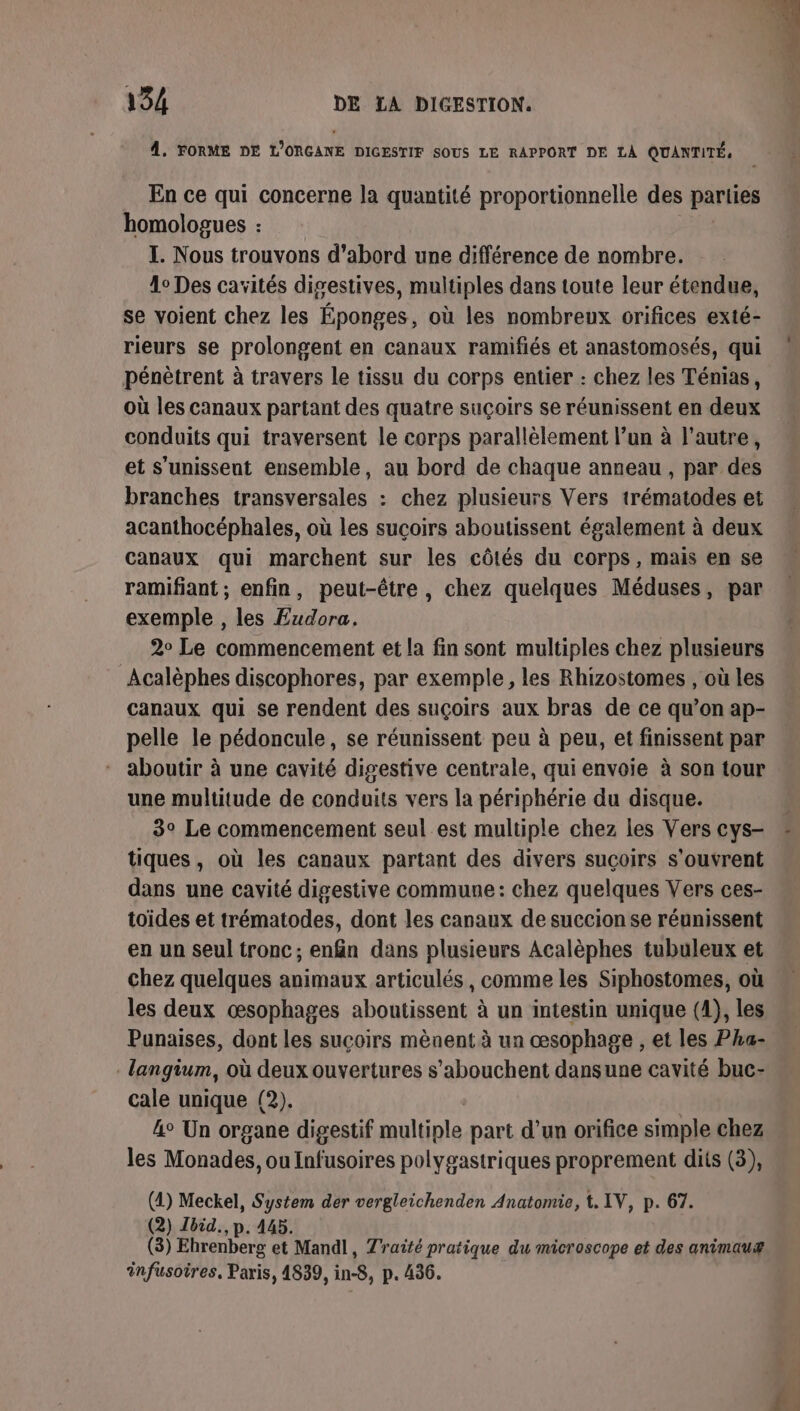 4. FORME DE L'ORGANE DIGESTIF SOUS LE RAPPORT DE LA QUANTITÉ, En ce qui concerne la quantité proportionnelle des parties homologues : I. Nous trouvons d’abord une différence de nombre. 1° Des cavités digestives, multiples dans toute leur étendue, se voient chez les Éponges, où les nombreux orifices exté- rieurs se prolongent en canaux ramifiés et anastomosés, qui pénètrent à travers le tissu du corps entier : chez les Ténias, où les canaux partant des quatre suçoirs se réunissent en deux conduits qui traversent le corps parallèlement l’un à l’autre, et s'unissent ensemble, au bord de chaque anneau , par des branches transversales : chez plusieurs Vers trématodes et acanthocéphales, où les suçoirs aboutissent également à deux canaux qui marchent sur les côtés du corps, mais en se ramifiant ; enfin, peut-être, chez quelques Méduses, par exemple , les Eudora. 2° Le commencement et la fin sont multiples chez plusieurs Acalèphes discophores, par exemple, les Rhizostomes , où les canaux qui se rendent des suçoirs aux bras de ce qu’on ap- pelle le pédoncule, se réunissent peu à peu, et finissent par aboutir à une cavité digestive centrale, qui envoie à son tour une multitude de conduits vers la périphérie du disque. 3° Le commencement seul est multiple chez les Vers cys- tiques, où les canaux partant des divers suçoirs s'ouvrent dans une cavité digestive commune: chez quelques Vers ces- toïdes et trématodes, dont les canaux de succion se réunissent en un seul tronc; enfin dans plusieurs Acalèphes tubuleux et chez quelques animaux articulés, comme les Siphostomes, où les deux œsophages aboutissent à un intestin unique (1), les Punaises, dont les suçcoirs mènent à un œsophage , et les Pha- langium, où deux ouvertures s'abouchent dansune cavité buc- cale unique (2). 4° Un organe digestif dultpla part d’un orifice simple chez les Monades, ou Infusoires polygastriques proprement dits (3), (4) Meckel, System der vergleichenden Anatomie, t. IV, p. 67. (2) Zéid., p. 445. (3) Ehrenberg et Mandl, Traité pratique du microscope et des animauæ infusoires, Paris, 4839, in-8, p. 436.