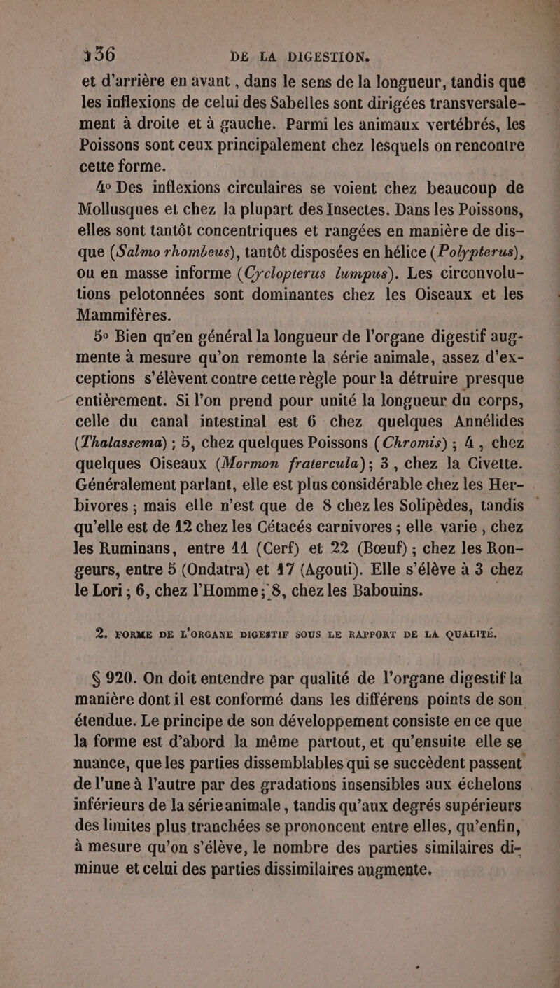 et d’arrière en avant , dans le sens de la longueur, tandis que les inflexions de celui des Sabelles sont dirigées transversale- ment à droite et à gauche. Parmi les animaux vertébrés, les Poissons sont ceux PO Eten chez lesquels on rencontre cette forme. | 4° Des inflexions circulaires se voient chez beaucoup de Mollusques et chez la plupart des Insectes. Dans les Poissons, elles sont tantôt concentriques et rangées en manière de dis- que (Salmo rhombeus), tantôt disposées en hélice (Polypterus), ou en masse informe (Cyclopterus lumpus). Les circonvolu- uons pelotonnées sont dominantes chez les OISEAUX et les Mammifères. 5o Bien qu’en général la longueur de l'organe digestif aug- mente à mesure qu'on remonte la Série animale, assez d’ex- ceptions s'élèvent contre cette règle pour la détruire presque entièrement. Si l’on prend pour unité la longueur du Corps, celle du canal intestinal est 6 chez quelques Annélides (Thalassema) ; 5, chez quelques Poissons (Chromis) ; 4, chez quelques Oiseaux (Mormon fratercula); 3, chez la Civette. bivores ; mais elle n’est que de 8 chez les Solipèdes, tandis qu’elle est de 12 chez les Cétacés carnivores ; elle varie , chez geurs, entre 5 (Ondatra) et 47 (Agouti). Elle s'élève à 3 chez le Lori ; 6, chez l'Homme ; 8, chez les Babouins. 2. FORME DE L'ORGANE DIGESTIF SOUS LE RAPPORT DE LA QUALITÉ. $ 920. On doit entendre par qualité de l'organe digestif la étendue. Le principe de son développement consiste en ce que la forme est d’abord la même partout, et qu’ensuite elle se inférieurs de la sérieanimale, tandis qu’aux degrés supérieurs des limites plus tranchées se prononcent entre elles, qu’enfin, à mesure qu’on s'élève, le nombre des parties similaires di- minue et celui des parties dissimilaires augmente. 3e