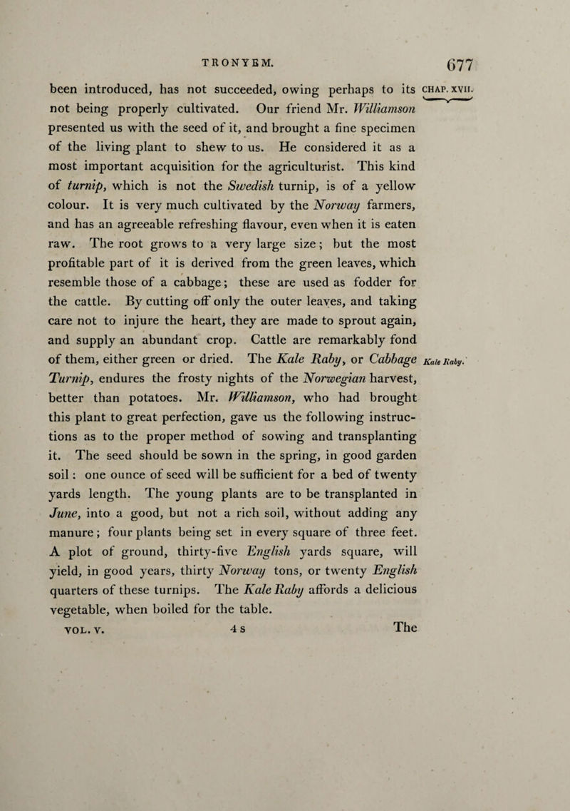 TRONYEM. g77 been introduced, has not succeeded, owing perhaps to its chap. xvh. not being properly cultivated. Our friend Mr. Williamson presented us with the seed of it, and brought a fine specimen of the living plant to shew to us. He considered it as a most important acquisition for the agriculturist. This kind of turnip, which is not the Swedish turnip, is of a yellow colour. It is very much cultivated by the Norway farmers, and has an agreeable refreshing flavour, even when it is eaten raw. The root grows to a very large size; but the most profitable part of it is derived from the green leaves, which 9 resemble those of a cabbage; these are used as fodder for the cattle. By cutting off only the outer leaves, and taking care not to injure the heart, they are made to sprout again, 9 and supply an abundant crop. Cattle are remarkably fond of them, either green or dried. The Kale Raby, or Cabbage KaieKaby.' Turnip, endures the frosty nights of the Norwegian harvest, better than potatoes. Mr. Williamson, who had brought this plant to great perfection, gave us the following instruc¬ tions as to the proper method of sowing and transplanting it. The seed should be sown in the spring, in good garden soil: one ounce of seed will be sufficient for a bed of twenty yards length. The young plants are to be transplanted in June, into a good, but not a rich soil, without adding any manure ; four plants being set in every square of three feet. A plot of ground, thirty-five English yards square, will yield, in good years, thirty Norway tons, or twenty English quarters of these turnips. The Kale Raby affords a delicious vegetable, when boiled for the table. The