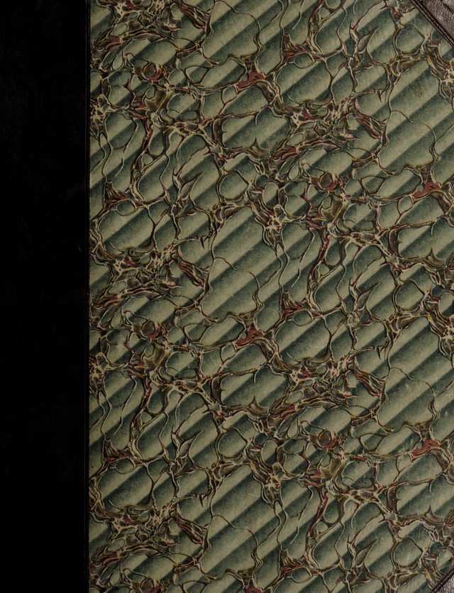 digitised image 1