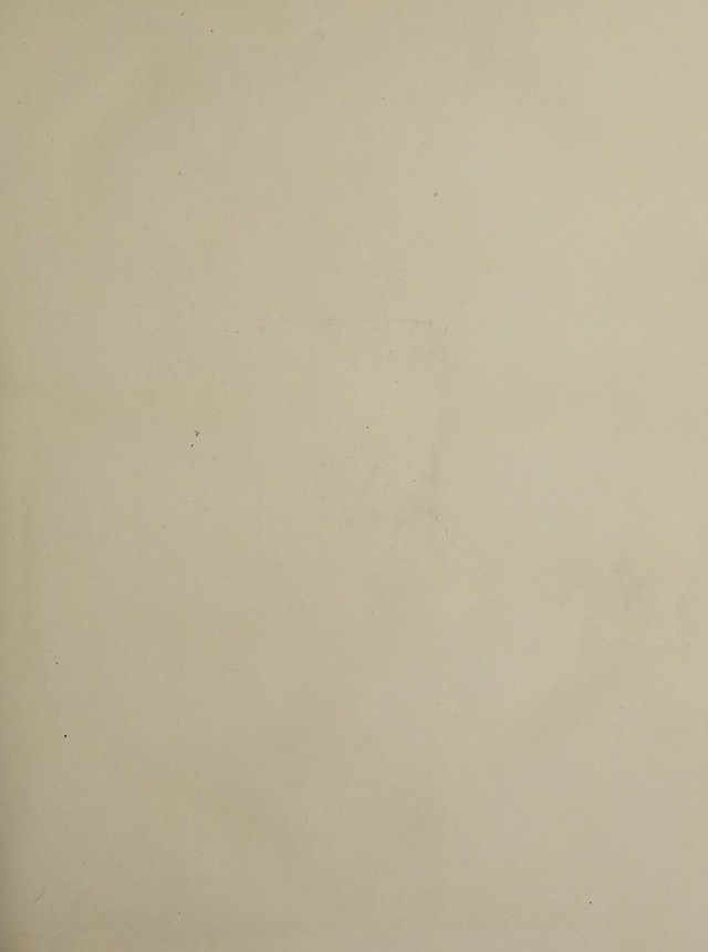 digitised image 3
