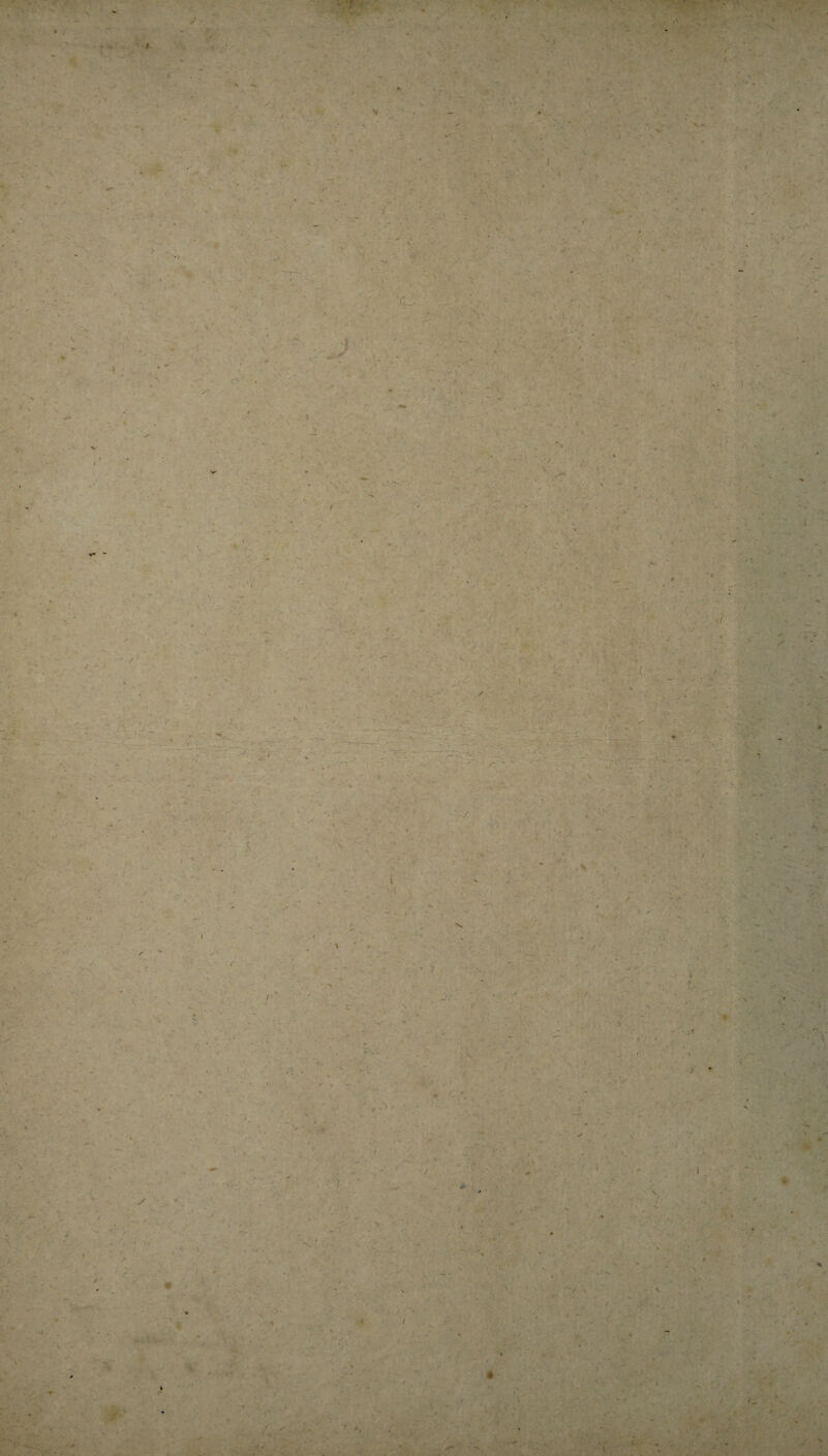 »-• 7 - * ib' r; Wi^' ’■: