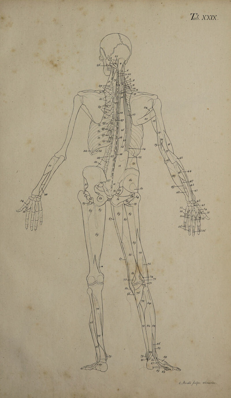 IdL XXIX C.jtarcXt jcu/j)j-, U't »la na c . I