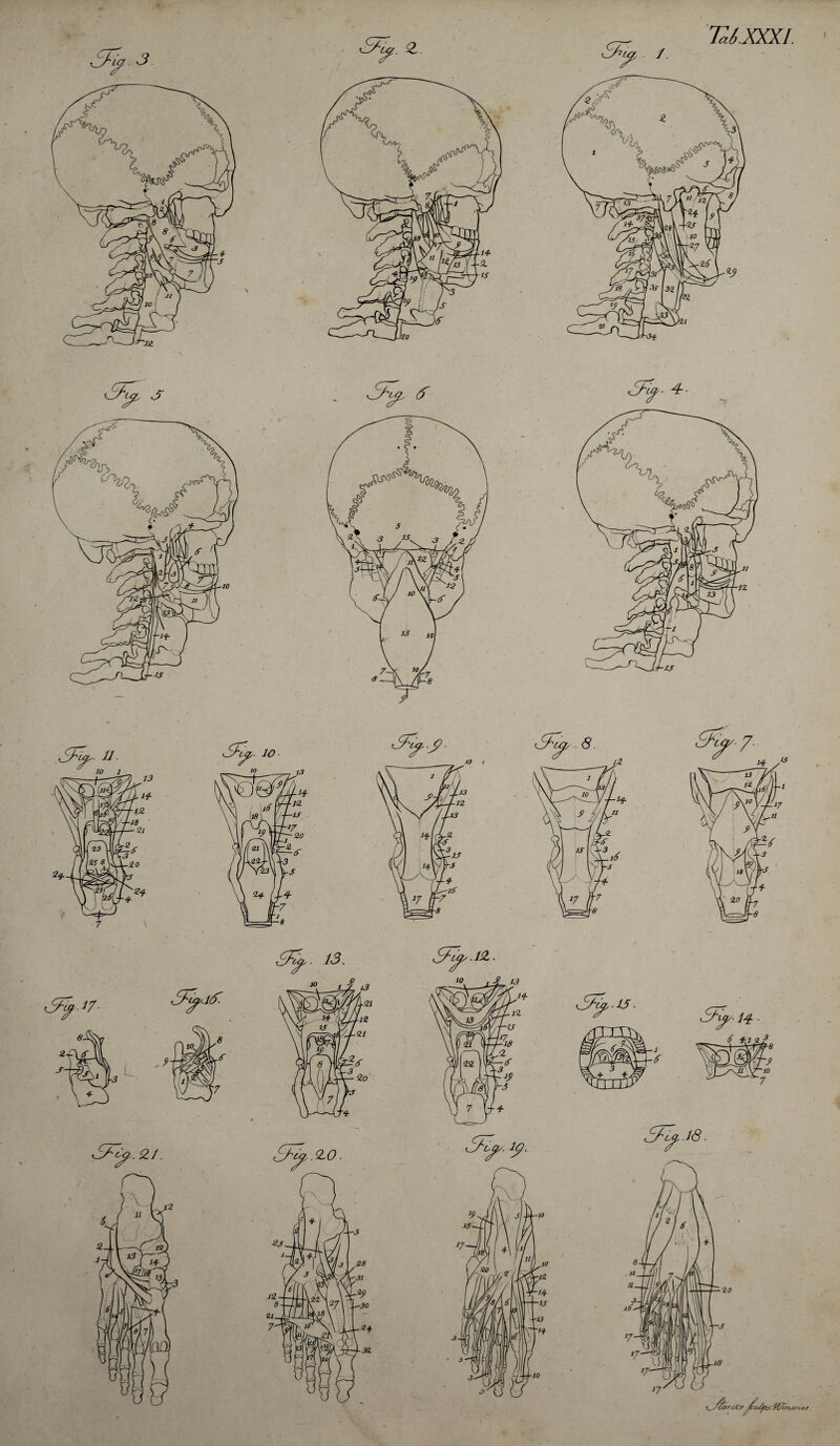 >. 4- ^_^arc/CfJru/pj. ff/nna n