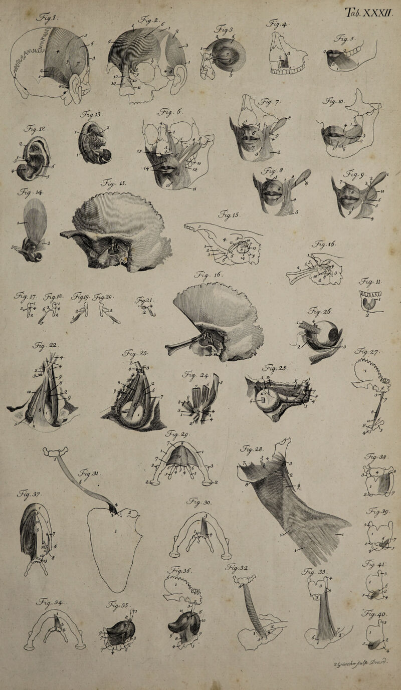 mmJi' 3^.17. 3^9- Tfif20 S^rärucT-^uZ/O jtfrejo