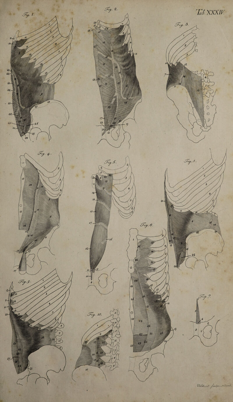 rni xxx w jlllUlllliiii V - 1 ^17 - V;^i' - ■? Wt'itj