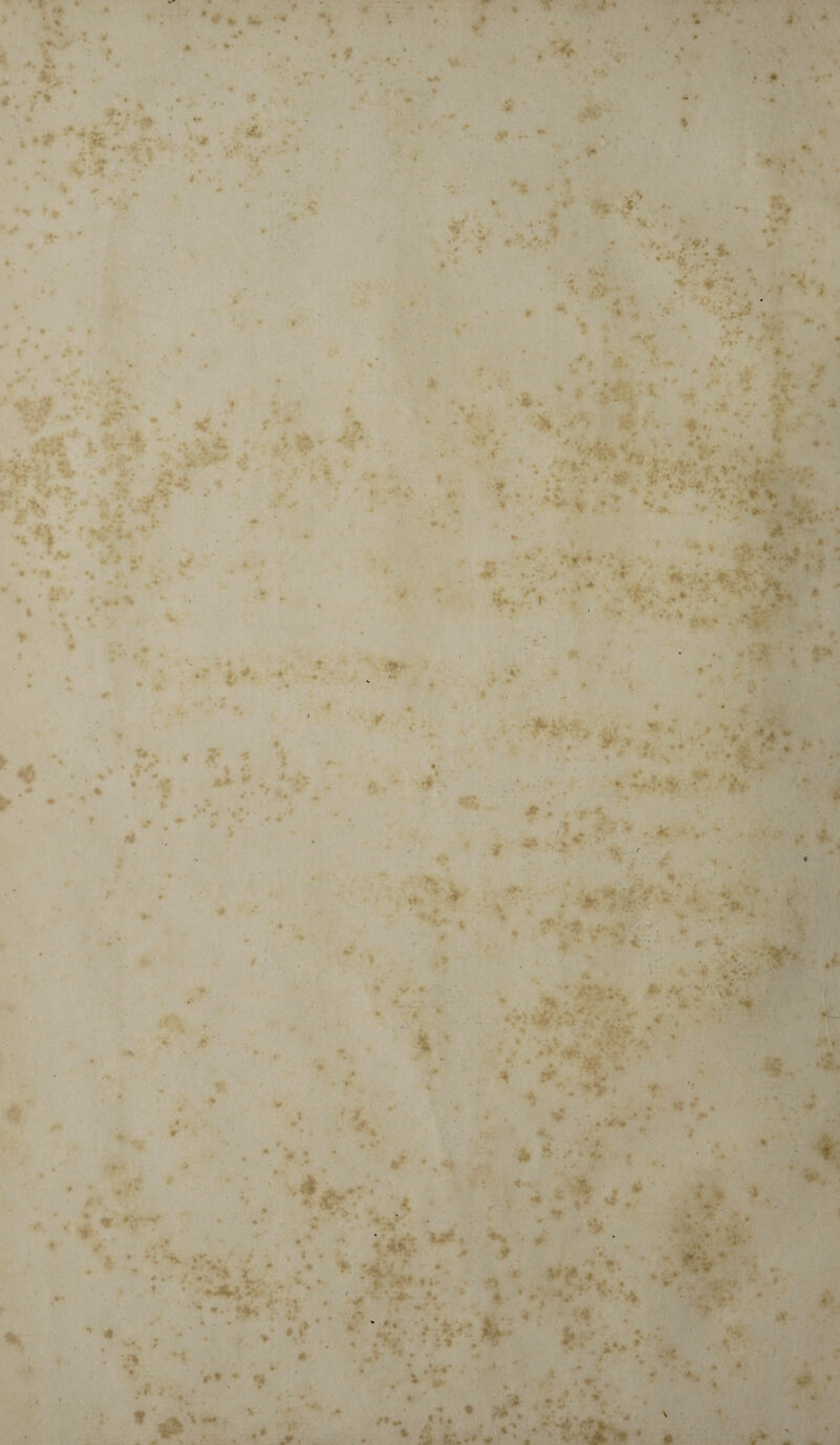 % ■'«* 9 * * w > % • ♦ fcV V r >1 ‘ •! ... * Mk - - • 4» • k ** ♦* ■ . ••* h* » • v>* .. • ■£. < •• * p - % . ♦ 4. .•V « »#• i 4, , - «■/ 'w •', $' * > ' ’ & ... • r Si 'V_4 » ‘ - . >'V-‘ i- \ • }f* * ■*' *t • .. »« ■: *' ■ ' t' •.- . * *% ■ ’ ' < : ,' »*w> % ,. ** : »V, • > 4 ! . ’ ’ * ,* ♦ / H ' * S . « I 4* > v: *;.V7 *' /• ✓ • v*» - - y ■ » ^ . # » • * * < -1 «• •* . • V ** * > A- r #*. *> ; >T, . f ; ♦■* .’-ry * •• .4 Ä 'ail _*• 4».' V, C; *• '? . ,4 * * u - . * 4 CV ? > . V ~4. » 0 k r. •. % -•« fr ' A ^ * .*! , ,/• V ’ 1* . • „• :* v *• # äL . ■?■#■. • ,, ’ ' ;•- -V ,. • f » *■> V '• , * * * * ' M ' ;.*• ' * ■''• ■' * V-V-*V . ;?.* ♦ ■■ ■■ •» «■«* . ••» *** o % vy < . •, J* ♦♦ , • • R« * * ♦•.«%• ‘ ’ '4\ \ ■' L « , ♦ ' • % JW » * *.% . r v< ’K > v * • , *•• r t * ' v •. « , • '>.v . ^7 - ••• ** K * * ' <> • t ■ 4» i ’ T » » ■'» • .■'•*fh '.w: •■• ■ R V % , Ä., . ■% * * • ■ ■ '4* * ^ •• * \ * 0 ’ t#. v « ■ ■ » K /• * .»* - * X* # '■ y •>( 4' r ■> l I V • t mV ■> .> «4 * • -■ J ■ s < -V u **■ r . , . I • • ’ y# ft.. W- ■* r • *> * . *v ■’ >•!, . t4. ■<* \ c 9 ■ ■ '* ,< .• ' • - r A i-Ä'* ►. »v •;. '*i •* . *V ; ■ ^ * . , t - - . • *■ ' / ät -. ; 5 • V* 4. ' * . * jg * • % * *• ’ * ' < , ■*■ . ' •' iteT. ^ •< V * ' . *tr-, »• •#fr * ■ !*•' . ‘ < / # • A *1 - k . « ■4 ^ *■ V;V- ’ w .. ■ *' i ■ i . '■• • , i- v >.-• ■*'. ' • : v * 4 ^ >;y * , ■ *• i. * ■. i* t « ■ * 1 Ä4 • '4 r :'0* y ** *. 4 ' .1 ■ • _• ■ ' *. * • J i *■ «f ' • i •<(** M ’ . . ^5tk » « - ‘ “ t ^ * * . ♦ . 1 • »£ ■ ■ /’ ** • U4' • *% ’ w« > %* . * i ‘A 4 V,’ 1. w 'S*- * ' *-+ .4 • * ■'' * ■‘M* . jr * 4-* '‘-'vi v, ÄT.i. ■*? T* »a •> ^ « r • •r 4C •* j! «I* * • ■ 9-A •' i m *■ i» • {. 4 * % • 4.^« 9 f % ►# i 4* ^ V 4 ; i . » • # « ' * . * * 4k (> 4 % * y •k \ **» .. iF . •**• : ‘ . t SLm. y*... v # . * -