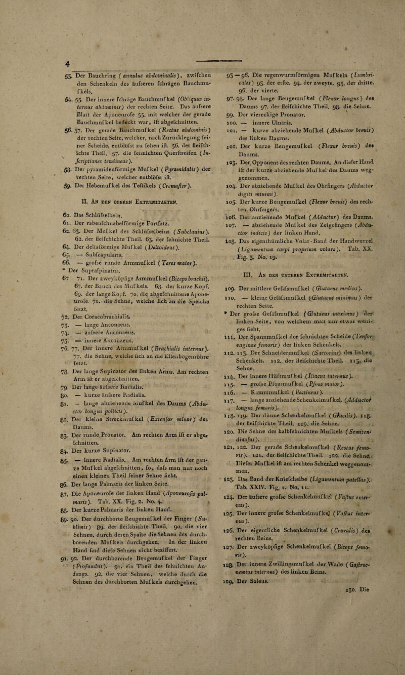 53- Der Bauchring ( annulus abdominalis), zwifchen den Schenkeln des äufseren fchrägen Bauchmu- f kels. 54* 55- Der innere fchräge Bauchmufkel (ObLquus in* tevnus abdominis) der rechten Seite. Das äufsere Blatt der Aponeurofe 55. mit welcher der gerade Bauchmufkel bedeckt war, ift abgefchnitten. 56.57. Der gerade Bauchmufkel (Rectus abdominis) der rechten Seite, welcher, nach Zurücklegung fei¬ ner Scheide, entblöfst zu leben ift. 56. der fleifch- ichte Theil. 57. die fehnichten Querftreifen (In- fcriptiones tendincae ). 58. Der pyramidenförmige Mufkel (Pyramidalis) der Rechten Seite, welcher entblöfst ift. 59. Der Hebemufkel des Teftikels ( Cremaßer). II. An den oberen Extremitaeten. 60. Das Schlüfselbein. 61. Der rabenfchnabelförmige Fortfatz. 62. 63. Der Mufkel des Schlüfsejbeins (Subclauius). 62. der fleifchichte Theil. 63. der fehnichte Theil. 64. Der deliaförmige Mufkel (Deltoideus). 65. — Subfcapularis. 66. — grofse runde Armmufkel (Teres maior). * Der Suprafpinatus. 67 71 • Der zweyköpfige Armmufkel (Biceps brachii). 67. der Bauch des Mufkels. 6g. der kurze Kopf. 69. der langeKopf. 70. die abgefchnittene Apone¬ urofe. 71. die Sehne, welche lieh an die Speiche fetzt. 72. Der Coracobvachialia, 73. — lange Anconaeus» 74. — äufsere Anconaeus. 75. — innere Anconaeus. 76. 77. Der innere Armmufkel (Brachialis internus). 77. die Sehne, welche lieh an die Elienbogeuröhre letzt. 78. Der lange Supinator des linken Arms. Am rechten Arm ift er abgefchnitten. 79. Der lange äufsere Radialis. go. — kurze äufsere Radialis. gi. — lange abziehende mufkel des Daums (Abdu- ctor longus pollicis ). 82. Der kleine Streckmufkel (Extenfor minor) des Daums. 83. Der runde Pronator. Am rechten Arm ift er abge# fchnitten, 84. Der kurze Supinator. 85. —* innere Radialis. Am rechten Arm ift der gan¬ ze Mufkel abgefchnitten, fo, dafs man nur noch einen kleinen Theil feiner Sehne heht. 86. Der lange Palmaris der linken Seite. 87. Die Aponeurofe der linken Hand (Aponturofis pal- wiavis). Tab. XX. Fig. 2. No. l\. 88* Der kurze Palmaris der linken Hand. 89. 90. Der durchborte Beugemufkel der Finger (Su- blimis) 89* der fleifchichte Theil. 90. die vier Sehnen, durch deren Spalte die Sehnen des durch- borenden Mufkels durchgehen. In der linken Hand find diefe Sehnen nicht beziffert. gx. 92. Der durchborende Beugemufkel der Finger (Ptofundus). 91. ein Theil des fehnichten An¬ fangs. 92, die vier Sehnen, welche durch die Sehnen des durchborten Mufkels durchgehen. 95 — 96. Die regenwurmförmigen Mufkeln (Lumbri- cales) 95. der erfte. 94. der zweyte. 95. der dritte. 96. der vierte. 97. 98- Der lange Beugemufkel (Flexor longus) des Daums 97. der fleifchichte Theil. 98- die Sehne. 99. Der viereckige Pronator. 100. — innere Ulnaris. 101. — kurze abziehende Mufkel (Abductor breuis) des linken Daums. 102. Der kurze Beugemufkel (Flexor breuis) des Daums. 103. Der Opponens des rechten Daums, An dieferHand ift der kurze abziehende Mufkel des Daums weg¬ genommen. 104. Der abziehende Mufkel des Ohrfingers (Abductor digiti minimi). 105. Der kurze Beugemufkel (Flexor breuis) des rech¬ ten Ohrfingers. 106. Der anziehende Mufkel (Adductor) des Daums. 107. — abziehende Mufkel des Zeigefingers (Abdu¬ ctor indicis) der linken Hand. 108- Das eigenthümliche Volar-Band der Handwurzel (Ligamentum carpi proprium volare). Tab. XX. , Fig. 3. No. 19. III. An den unteren ExtreMitaeten. 109. Der mittlere Gefäfsmufkel ( Glutaeus medius). 110. — kleine Gefäfsmufkel (Glutaeus minimus) der rechten Seite. * Der grofse Gefäfsmufkel (Glutaeus maximus) der linken Seile, von welchem mau nur etwas weni¬ ges fieht. 111. Der Spannmufkel der fehnichten Scheide (Tenfor vaginae femoris) des linken Schenkels. 112. 113. Der Schneidermufkel (Sartorius) des linken Schenkels. xr2. der fleifchichte Theil. 1x3. die Sehne. 114. Der innere Htiftmufkel (Iliacus internus). 115. — grofse Pfoasmufkel (PJous maior). 116. — Kammmufkel (Pectineus). 117. — lange anziehendeSchenkelmufkel. (Adductof , longus femoris). U8’ tifb Der dünne Sclienkelmurkel (Gfacilis). 118- der fleifchichte Theil. 119. die Sehne. 120. Die Sehne des halbfehnichten Mufkels (SemitenJ dinofus). 121, 122. Der gerade Schenkelmufkel (Reotus femo¬ ris). 121. der fleifchichte Theil. 122. die Seime. Diefer Mufkel ift am rechten Schenkel weggenom¬ men. 125. Das Band der Kniefcheibe (Ligamentum patellae). Tab. XXIV. Fig. 1. No. 11. 124. Der äufsere grofse Schenkelmufkel ( Vafius exter- nus ). 125. Der innere grofse Schenkelmufkel (Vaflus inter¬ nus ). 126. Der eigentliche Schenkelmufkel (Cruralis) des rechten Beins. 127. Der zweyköpfige Schenkelmufkel (Biceps femo¬ ris). 128- Der innere Zwillingsmurkel der Wade (Gaflroc- newiius internus) des linken Beins. 129, Der Soleus. 130. Die