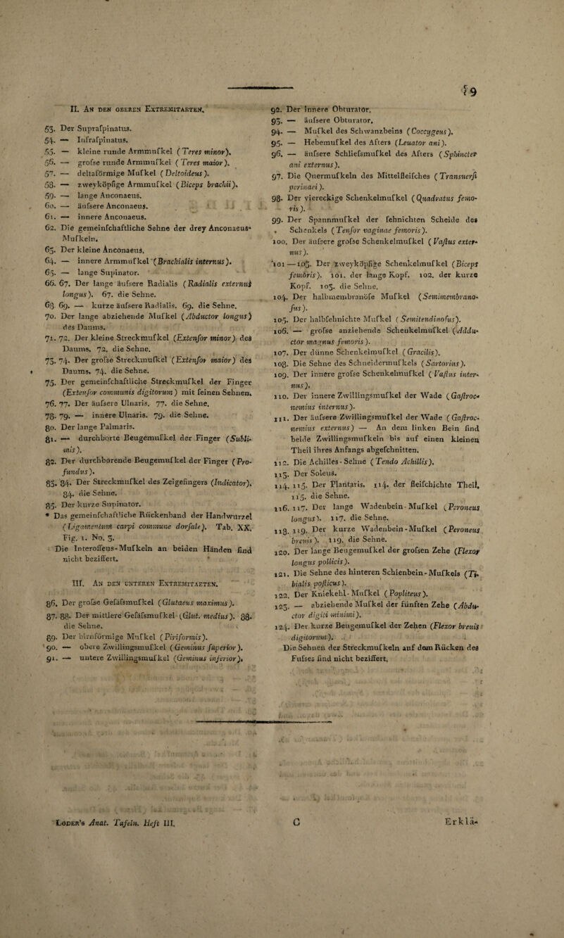 H. Am den oberen Extremitaeten, 53* Der Suprafpinatus. 54. — Infrafpinatus. 5>5. — kleine runde Armmufkel ( Teres wiinor). 56. — grofse runde Armmufkel ( Teres maior). 57. — deltaförmige Mufkel (Deltoideus). 58- — zweyköpfige Armmufkel (Biceps brachii). 59- —- lange Anconaeus. Co. —• änfsere Anconaeus, 61. —- innere Anconaeus. 62. Die gemeinfchaftliche Sehne der drey Anconaeus- Mufkeln» 63. Der kleine Anconaeus. 64. — innere Armmufkel'(Brachialis internus). 65. — lange Supinator. 66.67. Der lange äufsere Radialis (Radialis externuj longus). 67. die Sehne. 63 69. — kurze äufsere Radialis. 69. die Sehne. 70. Der lange abziehende Mufkel (Abductor longus) des Daums. 71. 72. Der kleine Streckmufkel (Extenfor minov) des Daums. 72. die Sehne. 73. 74. Der grofse Streckmufkel (Extenfot maior) des • Daums. 74. die Sehne. 75. Der gemeinfchaftliche Streckmufkel der Finger (Extevfor communis digitorum) mit feinen Sehnen. 76. 77. Der äufsere Ulnaris. 77. die Sehne. 73- 79* — innere Ulnaris. 79. die Sehne, go. Der lange Palmaris. gi. — durchborte Beugemufkel der Finger (Sübti- mis ). g2. Der durchborende Beugemufkel der Finger (Pro¬ fundus ). 85. 84» Der Streckmufkel des Zeigefingers (Indicator). 84. die Sehne. 35. Der kurze Supinator. * Das gemeinfchaftliche Rückenhand der Handwurzel ( IjganzenturA carpi commune dorfale). Tab. XX. Fig. 1. No. 3. Die lnrerofieus- Mufkeln an beiden Händen find nicht beziffert. HI. An den unteren Extremitaeten. 86. Der grofse Gefäfsmufkel (Glutaeus maximus). 87. 8Q. Der mittlere Gefäfsmufkel {Glut, rnedius). Qg. die Sehne. < 89. Der bimförmige Mufkel (Piriformis). go. —■ obere Zwiliingsmufkel ( Gcminus fuperior). 91. — untere Zwiliingsmufkel (Gewinns inferior)t — 7 9 92. Der innere Obturator. 93. — äufsere Obturator. 94. — Mufkel des Schwanzbeins (Coccygeus). 95. — Hebemufkel des Afters (Leuator ani). 96. — äufsere Schliefsmufkel des Afters (Spliincter ani externus), 97. Die Quermufkein des Mittelfleifches ( Transuerß perinaei). 98» Der viereckige Schenkelmufkel ( Qaadratus femo¬ ris ). 99. Der Spannmufkel der fehnichten Scheide des . Schenkels (Tenfor vaginae femoris). 100. Der äufsere grofse Schenkelmuf kel ( Vaßus exter¬ nus). ’ioi—103. Der zweyköpfige Schenkelmuf kel (Biceps femoris). toi. der lange Kopf. 102. der kurze Kopf. 103. die Sehne, 104. Der halbmembranöfe Mufkel (Semimembrano- fas). 105. Der halbfehnichte Mufkel ( Semitendinofus). 106. — grofse anziehende Schenkelmufkel (Addu» ctor magnus femoris). 107. Der dünne Schenkelmufkel (Gracilis). ioß. Die Sehne des Schneidermufkels (Sartorius). 109. Der innere grofse Schenkelmufkel ( Vaftus inter¬ nus). 110. Der innere Zwiliingsmufkel der Wade (Gaßroc■* nemius internus). ui. Der äufsere Zwiliingsmufkel der Wade (Gaßroc- nemius externus) — An dem linken Bein find beide Zwillingsmufkeln bis auf einen kleinen Theil ihres Anfangs abgefchnitten. 112. Die Achilles-Sehne (Tendo Achillis). 115. Der Soleus. 114. 113. Der Plantaris. n4» 4er fleifchjehte Theil. 115. die Sehne. 116. 117. Der lange Wadenbein - Mufkel {Peroneus longush H7- die Sehne. 113. ll9- Der kurze Wadenbein-Mufkel (Peroneus 'brems)- 119- die Sehne. 1C0. Der lange Beugemufkel der grofsen Zehe (Flexor longus pollicis). 121. Die Sehne des hinteren Schienbein-Mufkels (Ti- bialis poflicus). 122. Der Kniekehl-Mufkel (Popliteus). l22i — abziehende Mufkel der fünften Zehe (Abdu- ctor digiti minhni). 124. Der kurze Beugemufkel der Zehen (Flexor bveuis digitorum). . Die Sehnen der Streckmufkeln auf dem Rücken des Fufses find nicht beziffert, J ‘ * ■ f •' Lgcer’s Anat. Tafeln. Heft 111. E r k 1 ä- 1
