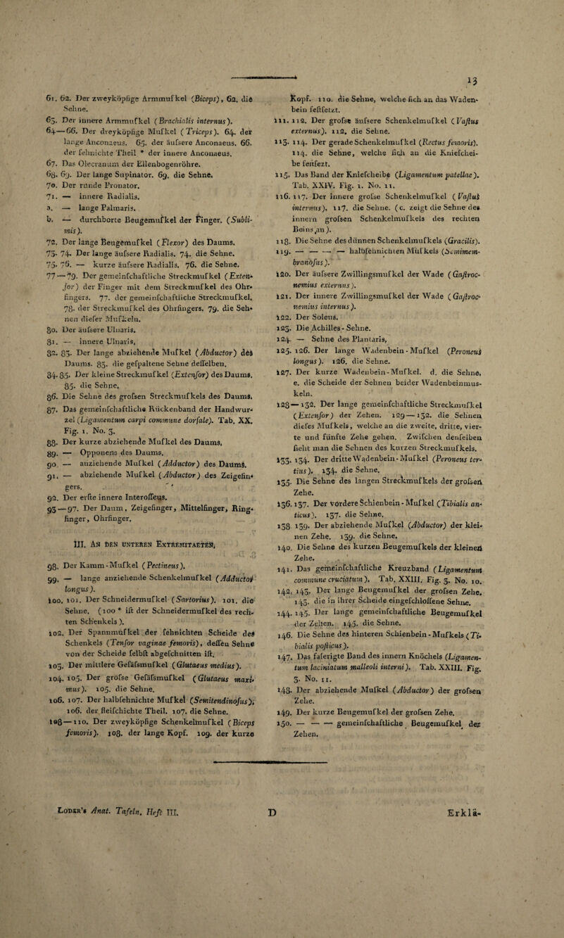 6i. 62. Der zweyköpfige Armmufkel (ßiceps), 62. die Sehne. 63. Der innere Armmufkel ( Brachiatis internus). 64—66. Der dreiköpfige Mufkel (Triceps). 64* der lange Anconaeus. 65. der äufsere Anconaeus. 66. der felmichte Theil * der innere Anconaeus, 67. Das Olecranum der Eilenbogenröhre. 63. 69. Der lange Supinator. 69. die Sehne. 7®. Der runde Pronator. 71. — innere Fiadialis. a. — lange Palmaris. b, — durchborte Beugemufkel der finger. (Subli- mis ). 72. Der lange Beugemufkel (Flexor) des Daums. 75- 74* Der lange äufsere Radialis. 74. die Sehne. 75. 76. — kurze äufsere Radialis. 76. die Sehne. 77 — 79- Der gemeinfchaftliche Streckmufkel (Exten» jor) der Finger mit dem Streckmufkel des Ohr» fingers. 77. der gemeinfchaftliche Streckmufkel. 7ß. der Streckmufkel des Ohrfingers. 79* die Seh« nen diefer MuH;ein. ßo. Der äufsere Ulnaris. 81. — innere Ulnaris. 82. 33. Der lange abziehende Mufkel (Abductor) döä Daums. 85- die gefpaltene Sehne delfelben. 84.85* Der kleine Streckmufkel (Extcnfor) des Daums. 35- die Sehne. 86. Die Sehne des grofsen Streckmuf kels des Daums. 87. Das gemeinfchaftlichs Rückenband der Handwur* zel (Ligamentum carpi commune dorfale). Tab. XX. Fig. 1. No. 3. g8- Der kurze abziehen^e Mufkel des Daums, 89. — Opponens des Daums. 90. — anziehende Mufkel (Adductor) des DatlmS. 91. — abziehende Mufkel (Abductor) des Zeigefin4 gers. 92. Der elfte innere InterolTeus. 93 — 97. Der Daum, Zeigefinger, Mittelfinger, Ring* finger, Ohrfinger. III. An den unteren Extremitaete», *• * ' , • /. ■ * r •. > V1 ». , ,! V :! ; ' ufT o *■ 0 v- »O 98. Der Kamm-Mufkel (Pectineus), 99. — lange anziehende Schenkelmufkel (Adductoi longus ). 100. 101. Der Schneidermufkel (Sartorius). 101. die Sehne. (100 * ift der Schneidermufkel des rech¬ ten Schenkels ). 102. Der Spannmufkel der fehnichten Scheide des Schenkels (Tenfor vaginae femoris), deflen Sehne von der Scheide felbft abgefchnitten ift. 105. Der mittlere Gefäfsmufkel (Glutaeus medius). 104. 105. Der grofse Gefäfsmufkel (Glutaeus maxi* mus). 105. die Sehne. 106. 107. Der halbfehnichte Mufkel (Semitendinofus). 106. der fleifchichte Theil. 107. die Sehne. te8—110. Der zweiköpfige Schenkelhiufkel (Biceps femoris). ioft, der lange Kopf. 109. der kurze Kopf. 110. die Sehne, welche lieh an das Waden¬ bein feftfetzt. ln. n<2. Der grofse äufsere Schenkelmufkel ( Vaflus externus). 112, die Sehne. H3- 114* Der gerade Schenkelmufkel (Rectus femoris). 114. die Sehne, welche lieh an die Kniefchei- be feitfezt. 115. Das Band der Kniefclieibe (Ligamentum patellac ). Tab. XXIV. Fig. 1. No. 11. 116.117. Der innere grofse Schenkelmufkel (VafluS internus), n7- die Sehne, (c. zeigt die Sehne des innern grofsen Schenkelmufkels des rechten Bei ns ,an ). 118. Die Sehne des dünnen Schenkelmufkels (Gracilis). 119. —- — — — halbfehnichten Mul kels (bemimem- branbfus). 120. Der äufsere Zwillingsmufkel der Wade (Gaftroc- nemius externns). 121. Der innere Zwillingsmufkel der Wade (Gaflvoo nemius internus). 122. Der Soleus. 125. Die Achilles-Sehne. 124. — Sehne des Plantaris, 125. 126. Der lange Wadenbein - Mufkel (PeroncuS longus). 126. die Sehne. 127. Der kurze Wadenbein-Mufkel. d. die Sehne, e. die Scheide der Sehnen beider Wadenbeinmus¬ keln. 123—132. Der lange gemeinfchaftliche Streckmufkel (Extenfor) der Zehen. 129—13a. die Sehnen diefes Mul’kels, welche an die zweite, dritte, vier¬ te und fünfte Zehe gehen. Zwifchen denfelben fielit man die Sehnen des kurzen Streckmufkels. I33.134. Der dritte Wadenbein-Mufkel (Peroneus ter- tius). 134. die Sehne. 135. Die Sehne des langen Streckmufkels der grofsert Zehe. 156.157. Der vordere Schienbein-Mufkel (Tibialis an- ticus). 157. die Sehne. 138 139. Der abziehende Mufkel (Abductor) der klei¬ nen Zehe. 139. die Sehne. 140. Die Sehne des kurzen Beugemufkels der kleinert Zehe. 141. Das gemeinfchaftliche Kreuzband (Ligamentmrl commune cruciatum). Tab. XXIII. Fig. 3. No. 10. 142. 143. Der lange Beugemufkel der grofsen Zehe. 145. die in ihrer Scheide eingefchlolfene Sehne. 144. 145. Der lange gemeinfchaftliche Beugemufkel der Zehen. i45- die Sehne. 146. Die Sehne des hinteren Schienbein - Mufkels ( TU biaUs poßieus). 147. Das falerigte Band des innern Knöchels (Ligamen¬ tum laciniatum malleoli interni). Tab. XXIII. Fig. 3. No. 11. *48- Der abziehende Mufkel (Abductor) der grofsen Zehe. 149. Der kurze Beugemufkel der grofsen Zehe. 150. —-gemeinfchaftliche Beugemufkel^ de* Zehen.