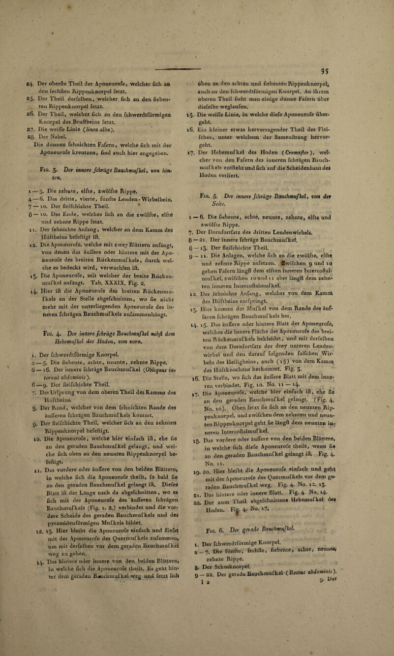 3S 24. Der oberfte Theil der Aponeurofe, welcher Geh an den fechften Rippenknorpel fetzt. 25. Der Theil clerfelben, welcher Geh an den fteben- ten Rippenknorpel fetzt. 26. Der Theil, welcher Geh an den fchwerdtförmigen Knorpel des Bruftbeins fetzt. 27. Die weifte Linie (linea alba). 2ß. Der Nabel. Die dünnen fehnichten Fafern, welche Geh mit der Aponeurofe kreutzen, Gnd auch hier angegeben. Fig. 3. Der innere fchräge Bauchmufkel > von hin¬ ten,. i — 3. D ie zehnte, elfte, zwölfte Rippe. 4 — 6- Das dritte, vierte, fünfte Lenden-Wirbelbein, 7 — 10. Der fleifchichte Theil. 8 — io. Das Ende, welches Geh an die zwölfte, elfte lind zehnte Rippe fetzt. 11. Der fehnichte Anfang, welcher an dem Kamm des Hüftbeins befeftigt ift. 12. Die Aponeurofe, welche mit zwey Blattern anfängt, von denen das äuffere oder hintere mit der Apo- neurofe des breiten Rückenmufkels, durch wel¬ che es bedeckt wird, verwachfen ift. 13. Die Aponeurofe, mit welcher der breite Rücken* mufkel anfängt. Tab. XXXIX. Fig. 2. »4* Hier ift die Aponeurofe des breiten Rückenmu¬ fkels an der Stelle abgefchnitten, wo Ge nicht mehr mit der unterliegenden Aponeurofe des in¬ neren fchragen Bauchmufkels zufammenhängt. Fig. 4* Der innere fchräge Bauchmufkel nebft dem Hebemufkel des Hoden, von vorn. 1. Der fchwerdtförmige Knorpel. 2-—5. Die Gebente, achte, neunte, zehnte Rippe. 6~i6. Der innere fchräge Bauchmufkel {Obliquus in¬ ternus abdotninis ). 6 — 9. Der fleifchichte Theil. 7. DerUrfprung von dem oberen Theil des Kamms des Hüftbeins. 3. Dev Rand, welcher von dem fehnichten Rande des äulferen fchragen Bauchmufkels kommt, 9. Der fleifchichte Theil, welcher Geh an den zehnten Rippenknorpel befeftigt. 10. Die Aponeurofe, welche hier einfach ift, ehe Ge an den geraden Bauchmufkel gelangt, und wel¬ che Geh oben an den neunten Rippenknorpel be¬ feftigt. 11. Das vordere oder aulfere von den beiden Blättern, in welche Geh die Aponeurofe theilt, fo bald Ge an den geraden Bauchmufkel gelangt ift. Diel'es Blatt ift der Länge nach da abgefchnitten, wo es Geh mit der Aponeurofe des äulferen fchragen Bauchmufkels (Fig. 1. 2.) verbindet und die vor¬ dere Scheide des geraden Bauchmufkels und des pyramidenförmigen Mtrfkels bildet. 12. 13- Hier bleibt die Aponeurofe einfach und fliefst mit der Aponeurofe des Qtiermufkels zufammen, um mit clerfelben vor dem geraden Bauchmufkel weg zu gehen. 14. Das hintere oder innere von den beiden Blättern, in welche Geh die Aponeurofe theilt. Es geht hin¬ ter dem geraden Bauchmufkel weg und fetzt Geh oben an den achten und Gebenten Rippenknorpel, auch an den fchwerdtförmigen Knorpel. An ihrem oberen Theil Geht man einige dünne Fafern über diefelbe weglaufen. 15. Die weifte Linie, in welche diefe Aponeurofe über¬ geht. 16. Ein kleiner etwas hervorragender Theil des Flei- l'ches, unter welchem der Samenftrang hervor¬ geht. 17. Der Hebemufkel des Hoden (Cremafter), wel¬ cher von den Fafern des inneren fchrägen Bauch¬ mufkels entfteht und Geh auf die Scheidenhaut de3 Hoden verliert. Fig. 5. Der innere fchräge Bauchmufkel, von der Seile. 1 — 6. Die Gebente, achte, neunte, zehnte, elfte und zwölfte Rippe. 7. Der Dornfortfatz des dritten Lendenwirbels. 8 —2i. Der innere fchräge Bauchmufkel. 8 — 13. Der fleifchichte Theil. 9—11. Die Anlagen, welche Geh an die zwölfte, elfte und zehnte Rippe anfetzen. Zwifchen 9 und 10 gehen Fafern längft dem elften inneren Intercoftal- mufkel, zwifchen lO-und 11 aber längft dem zehn¬ ten inneren Intercoftalmufkel. 12. Der fehnichte Anfang, welcher von dem Kamm des Hüftbeins entfpringt. Hier kommt der Mufkel von dem Rande des auf* feren fchrägen Bauchmufkels her. 14. 15. Das äuffere oder hintere Blatt der Aponeurofe, welches die innere Fläche der Aponeurofe des brei¬ ten Rückenmufkels bekleidet, und mit clerfelben von dem Dornfortfatz der drey unteren Lenden¬ wirbel und den darauf folgenden falfchen Wir¬ beln des Heiligbeins, auch (15) von dem Kamm des Hüftknochens herkommt. Fig. 3. 16. Die Stelle, wo Geh das äuftere Blatt mit dem inne¬ ren verbindet. Fig. 10. No. 11 14* j7. Die Aponeurofe, welche hier einfach ift, ehe Ge an den geraden Bauchmufkel gelangt. (Fig. 4. No. 10). Oben fetzt Ge Geh an den neunten Rip¬ penknorpel, und zwifchen dem zehnten und neun¬ ten Rippenknorpel geht Ge längft dem neunten in¬ neren Intercoftalmufkel. lg. Das vordere oder äuffere von den beiden Blättern, in welche Geh diefe Aponeurofe theilt, wenn Ga an den geraden Bauchmufkel gelangt ift. Fig. 4. No. u. 19. 20. Hier bleibt die Aponeurofe einfach und geht mit der Aponeurofe des Quermufkels vor dem ge¬ raden Bauchmufkel weg. Fig. 4. No. 12. 13. 21. Das hintere oder innere Blatt. Fig. 4. No. 14. 22. Der zum Theil abgefchnittene Hebemufkel de» Hoden. Fig. 4* ^°* Fig. 6. Der gerade Bauchmufkel. 1. Der fchwerdtförmige Knorpel. 2- 7. Die fünfte, fechfte, fiebente, achte, neunte, zehnte Rippe. , 8. Der Scbosknorpel. 9_22. Der gerade Bauchmufkel (Rectus abdominis).