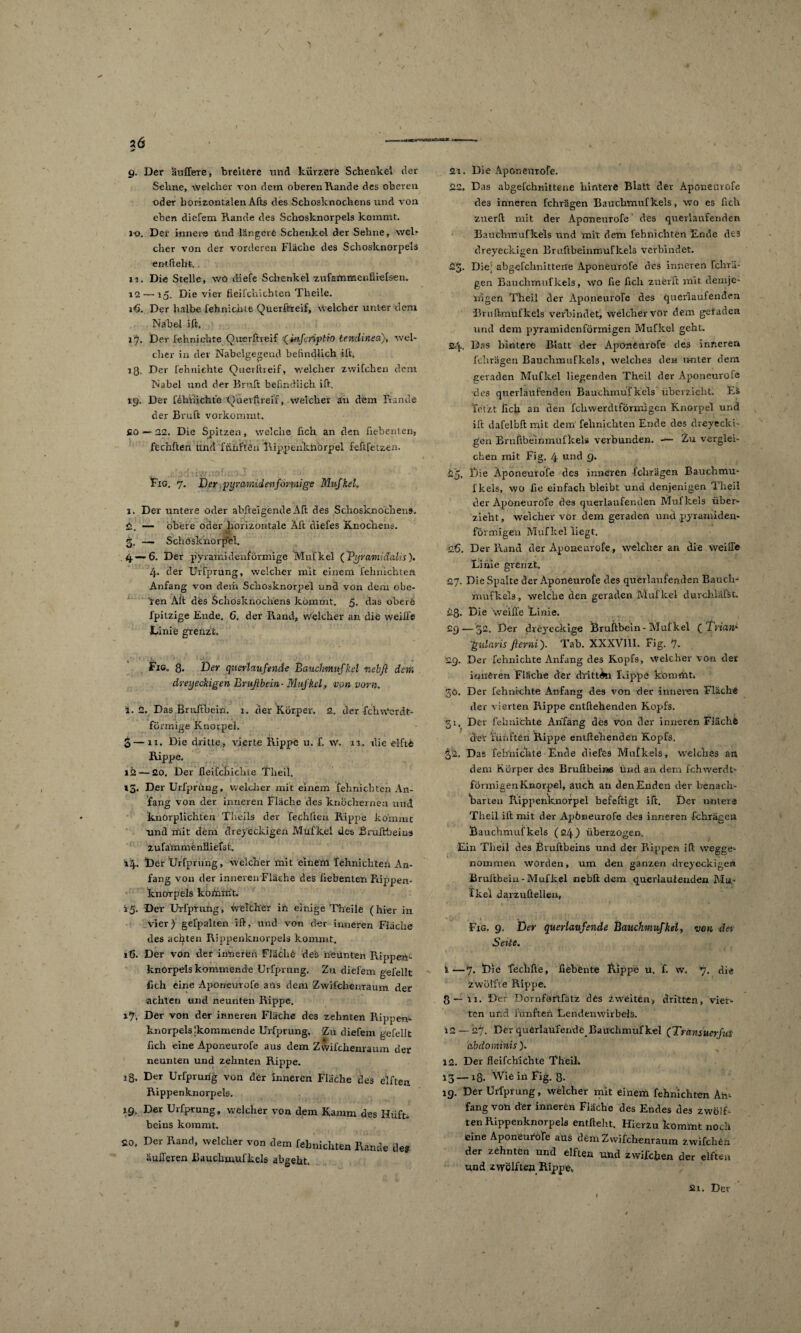 2Ö —— g. Der äußere, breitere und kürzere Schenkel der Seime, welcher von dem oberen Rande des oberen oder horizontalen Afts des Schosknochens und von eben diefem Rande des Schosknorpels kommt. i-o. Der innere Und längere Schenkel der Sehne, \vel> eher von der vorderen Fläche des Schosknorpels entlieht. „ ii. Die Stelle, wo diefe Schenkel zufaftimenfliefsen. 12 — 15. Die vier fieifekiebten Theile. iG. Der halbe fehnichte Querftreif, Welcher unter dem Nabel ift. 17. Der fehnichte Querftreif '(mfeviptro tendinea), wel¬ cher in der Nabelgegend befindlich ift, iß. Der fehnichte Querftreif, welcher zwifchen dem Nabel und der Brnft befindlich ift. 19. Der fehnichte Querftreif, welcher an dem Rande der Bruft vorkommt. Co — 22. Die Spitzen, welche fich an den fiebenten, ftchften und fünften Rippenkhörpel feftfetzen. Fig, 7. Der pyramidenförmige Mnfkel. 1. Der untere oder abftelgendeiVft des Schosknochens, 2. — obere oder horizontale Äft diefes Knochens. 3. — Schosknorpel. 4 — 6. Der pyramidenförmige Mufkel ('Pyramidalis). 4. der Urfprung, welcher mit einem fehnichten Anfang von dem Schosknorpel und von dem obe- 'ren Alt des Schosknochens kommt. 5. das obere fpitzige Ende. G. der Rand, welcher an die weifte Linie grenzt, Fig, 8* Der querlctufende Bauchmuf kel nebfl dem dreyeckigen Bruftbein- Mufkel, von vorn. 1. 2. Das Bruftbein. 1. der Körper. 2. der fchwerdt- förrnige Knorpel. 3— 11. Die dritte, vierte Rippe u. f. vv. n, ilie elfte Rippe. 12 — 20. Der fleifcb.icbte Theil. 13. Der Urfprung, welcher mit einem fehnichten An¬ fang von der inneren Fläche des knöchernen und. knörplichten Theils der fechften Rippe kommt und mit dem dreyeckigen Muf kel des Bruftbeius zufämnienfliefst. 14. Der Urfprung, welcher mit einem Tehnichteri An¬ fang von der inneren Fläche des fiebenten Rippen- knorpels koinmt. 15. Der Urfprung, Welcher in einige Theile (hier in vier) gefpallen ift, und von der inneren Fläche des achten Rippenknorpels kommt. »6. Der von der inneren Flachö deä neunten Rippen¬ knorpels kommende Urfprung. Zu diefem gefeilt Geh eine Aponeurofe aus dem Zwifchenraum der achten und neunten Rippe. 17. Der von der inneren Fläche des zehnten Rippen- knorpels‘kommende Urfprung. Zu diefem gefeilt Geh eine Aponeurofe aus dem Zwifchenraum der neunten und zehnten Rippe. 33. Der Urfprung von der inneren Fläche des elften Rippenknorpels. 19, Der Urfprung, welcher von dem Kamm des Hüft. beins kommt. 20, Der Rand, welcher von dem felmichten Rande de? äußeren Bauchmufkels abgeht. 21. Die Aponeurofe. 22. Das abgefchnittene hintere Blatt der Aponeurofe des inneren fchrägen Bauchmuf kels, wo es fich zuerft mit der Aponeurofe des queriaufenden Bauchmufkels und mit dem fehnichten Ende des dreyeckigen Bruftbeinmufkels verbindet. 23. Die abgefchnitterte AponeiiTofe des inneren fchrä¬ gen Bauchmufkels, wo fie fich zuerft mit demje¬ nigen Theil der Aponeurofe des querlaufenden Bruftmuf kels verbindet, welcher vor dem geraden und dem pyramidenförmigen Mufkel geht. 24. Das hintere Blatt der Aponeurofe des inneren fchrägen Bauchmufkels, welches den unter dem geraden Mufkel liegenden Theil der Aponeurofe des querlaufenden Bauchmufkels überzieht. Eä letzt fich an den fchwerdtformigen Knorpel und ift dafelbft mit dem' fehnichten Ende des dreyecki¬ gen Bruftbeinmufkels verbunden. — Zu verglei¬ chen mit Fig. 4 und 9. 25. Die Aponeurofe des inneren fchrägen Bauchmu¬ fkels, wo fie einfach bleibt und denjenigen Theil der Aponeurofe des querlaufenden Mul kels über¬ zieht , welcher vor dem geraden und pyramiden¬ förmigen Mufkel liegt. dß. Der Rand der Aponeurofe, welcher an die weiße Linie grenzt, 27. Die Spalte der Aponeurofe des querlaufenden Bauch¬ mufkels, welche den geraden Mufkel durchiäftt. 28* Die weiße Linie. £9 — 32. Der dreyeckige Bruftbein-Mufkel ( TVzara- gularis ficvni). Tab. XXXV11I. Fig. 7. £.9. Der fehnichte Anfang des Kopfs, welcher von der inneren Fläche der dritten Rippe kommt. 50. Der fehnichte Anfang des von der inneren Fläche der vierten Rippe entfliehenden Kopfs. 31, Der fehnichte Anfang des von der inneren Flache der Tünftön Rippe entfliehenden Kopfs. 32. Das Teliniciite Ende diefes Mufkels, welches an dem Körper des Bruftbeinss Und an dem fchwerdt- förmigenKnorpel, auch an den Enden der benach¬ barten Rippenknorpel befeftigt ift. Der untere Theil ilt mit der Apöneurofe des inneren fchrägen Bauchmufkels (24) überzogen. Ein Theil des Bruftbeins und der Rippen ift wegge¬ nommen worden, um den ganzen dreyeckigen Bruftbein - Mufkel nebft dem querlaulenden Mu¬ fkel darzuftellen, ' 1 » » , Fig. 9. Der querlatifende Bauchmuf kel, von dei Seite. i—7. Die fechfte, fiebente Rippe u. f. w. 7. die zwölfte Rippe. 8—11. Der Dornfartfatz des Zweiten, dritten, vier¬ ten und fünften Lendenwirbels. 12 — 27. Der querlaufende^ Bauchmuf kel (Tränsuerfni abdominis ). 12. Der fleifchichte Theil, 13— lg. Wie iri Fig. '8. 19. Der Urfprung, welcher mit einem fehnichten Am fang von der inneren Fläche des Endes des zwölf¬ ten Rippenknorpels entflieht. Hierzu kommt noch eine Aponeurüfe aus dem Zwifchenraum zwifchen der zehnten und elften und zwifefcen der elften und zwölften Rippe, y
