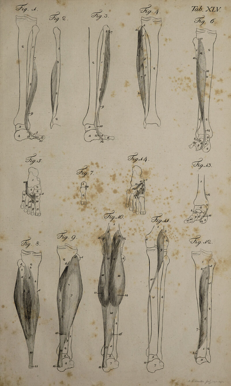 7a£>. XLV &&. <5T y- u<z. xx l 8i ./• J'. /f 'hrc fc r. / r/f]. <F 5-V