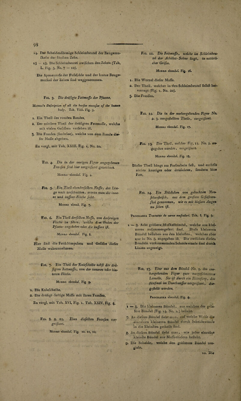 93 i4~ Der Scheibenförmige Sclileimbeutel der Beugemu- fkeln der fünf len Zehe. 15 ~ iß* Die Sclileimbeutel zwifclien den Zehen (Tab. L. Fig. 5. No. 7 — 10). . Die Aponeurofe der Fufsfphle und der kurze Beuge» mulkel der Zehen find weggenommen. Fig. 3. Die drüfigte Fettmaffe der Pfanne. Monro’s Defoription of all the burfae mucofa* of the human body. Tab, VHI, Fig. 3, 1. Ein Theil des runden Bandes. I 2. Der miniere Theil der driifigten Fettmaffe, welche mit vielen Gefafsen verleben ift. 5. Die Franfen (fnnbriae), Vielehe von dem Rande dio- fer Mall'e abgehen. Zu vergl, mit Tab. XXIII. Fig. 1. No. ao* Fig. 4. Die in der vorigen Figur angegebenen Franfen find hier vergrößert gezeichnet. Monro • ebendaf. Fig. 4. S' * . Fig. 5. ' Ein Theil■ ebenderfeiben Maffe, der Lan¬ ge nach zerfclmitten, ivoran man dir inne¬ re und duffere Fläche ficht. « , / Monro ebend. Fig. 7. . - •Fig. 6. Ein Theil derfelben Muffe, von derjenigen Fläche zu feiten, welche dem 'Boden der Pfanne zugekehrt oder die duffere iß. Monro ebendaf. Fig. 8. * Hier find die Fettkliimpchen und Gefäfse diefer Malle wahrzunehmen. Fig. 11. Die Fettmaffe, iveiche im Schleimbeu¬ tel der Achilles-Sehne liegt, in natürli¬ cher Große. Monro ebenda!! Fig, 16. 1 * 1. Die Wurzel diefer Malle. ß. Der Theil, welcher in den Schleimbeutel felbft her- vovragt (Fig. 1. No. 20). Di©.Franfen. Fig. 12. Die in der vorhergehenden Figw Neu 2. 3. vor gefeilten Theile, vergrißert. Monro ebendaf. Fig. 17. Fig. 13. Der Theil, ivelcher Fig. 11. No. 1. an¬ gegeben werden, vergrößert. Monro ebendaf. Fig. 18. Diefer Theil hängt am Ferfenbein feft, und enthält nichts knotiges oder drülichtes, fondern blo» Fett. Fig. 14. Ein Stückchen von gekochtem Men- fchenfleifch, aus dem großen Gefäfimu- fkel genommen, wie es mit bloßen Augen Zu fehen ift. Trochaska. Tractalus de came mufeulari, Tab. I. Fig. 3. 1—8. Acht gröfscre Mnfkelbiindel, welche aus klei¬ neren zufammengefezt find. Diefe kleineren Bündel beftchen aus den kleinften, welches aber nur in No. Q. angegeben ift. Die zwilchen dielen Bündeln vorkommendenScheid©wände find durch Linien angezeigt» Fig. 7. Ein Theil der Kniefcheibe nebft der drü- figten Fettmaffe, von der inneren oder hin¬ teren Fläche. Monro ebendaf. Fig g. >. Die Kniefcheibe. 2. Die drüfigt-fertige Malle mit ihren Franfen, Zu vergl. mit Tab. XVI, Fig. 1. Tab. XXIV. Fig, 4, Fig. g. 9. 10. Eben diefelben Franfen ver¬ größert. Monro ebendaf. Fig. 10. 11, 1;, Fig, 15. Eine aus dem Bündel Mo. r. der vor¬ hergehenden Figur quer ausgefchtittene Lamelle. Sie ift durch ein Microfcop, das fünfmal im DurchmeJfer vergrößert, dar- geftellt worden, Prochaska ebendaf. Fig. 4* r N . I 1—8. Die kleineren Bündel, aus welchen der grus- fere Bündel (Fig. 14. No. 1.) beliebt. 7. An diefem Bündel lieht man > auf welche Weife die einzelnen kleineren Bündel durch Scheidewände in die k’leinften getheilt find. 8- An diefem Bündel hebt man, wie jeder einzelne kleinfte Bündel aus Mufkelfafern beliebt. .9. Die Scheide, welche den gröfserea Bündel um» giebt. 10. Di© , ' •