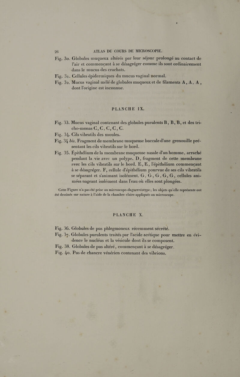 Fig. 3o. Globules muqueux altérés par leur séjour prolongé au contact de Pair et commençant à se désagréger comme ils sont ordinairement dans le mucus des crachats. Fig. 3i. Cellules épidermiques du mucus vaginal normal. Fig. 32. Mucus vaginal mêlé de globules muqueux et de filaments A , A, A , dont l’origine est inconnue. PLANCHE IX. Fig. 33. Mucus vaginal contenant des globules purulents B, B, B, et des tri« cho-monas C, C, C, C, C. Fig. 34. Cils vibratils des moules. Fig. 34 his. Fragment de membrane muqueuse buccale d’une grenouille pré¬ sentant les cils vibratils sur le bord. Fig. 35. Epithélium de la membrane muqueuse nasale d’un homme, arraché pendant la vie avec un polype. D, fragment de cette membrane avec les cils vibratils sur le bord. E,E, l’épithélium commençant à se désagréger. F, cellule d’épithélium pourvue de ses cils vibratils se séparant et s’animant isolément. G, G, G, G, G, cellules ani¬ mées nageant isolément dans l’eau oii elles sont plongées. Cette Figure n’a pas été prise au microscope-daguerréotype -, les objets qu’elle représente ont été dessinés sur nature à l’aide de la chambre claire appliquée au microscope. PLANCHE X. Fig. 36. Globules de pus phlegmoneux récemment sécrété. Fig. 37. Globules purulents traités par l’acide acétique pour mettre en évi¬ dence le nucléus et la vésicule dont ils se composent. Fig. 38. Globules de pus altéré, commençant à se désagréger. Fig. 4o. Pus de chancre vénérien contenant des vibrions.