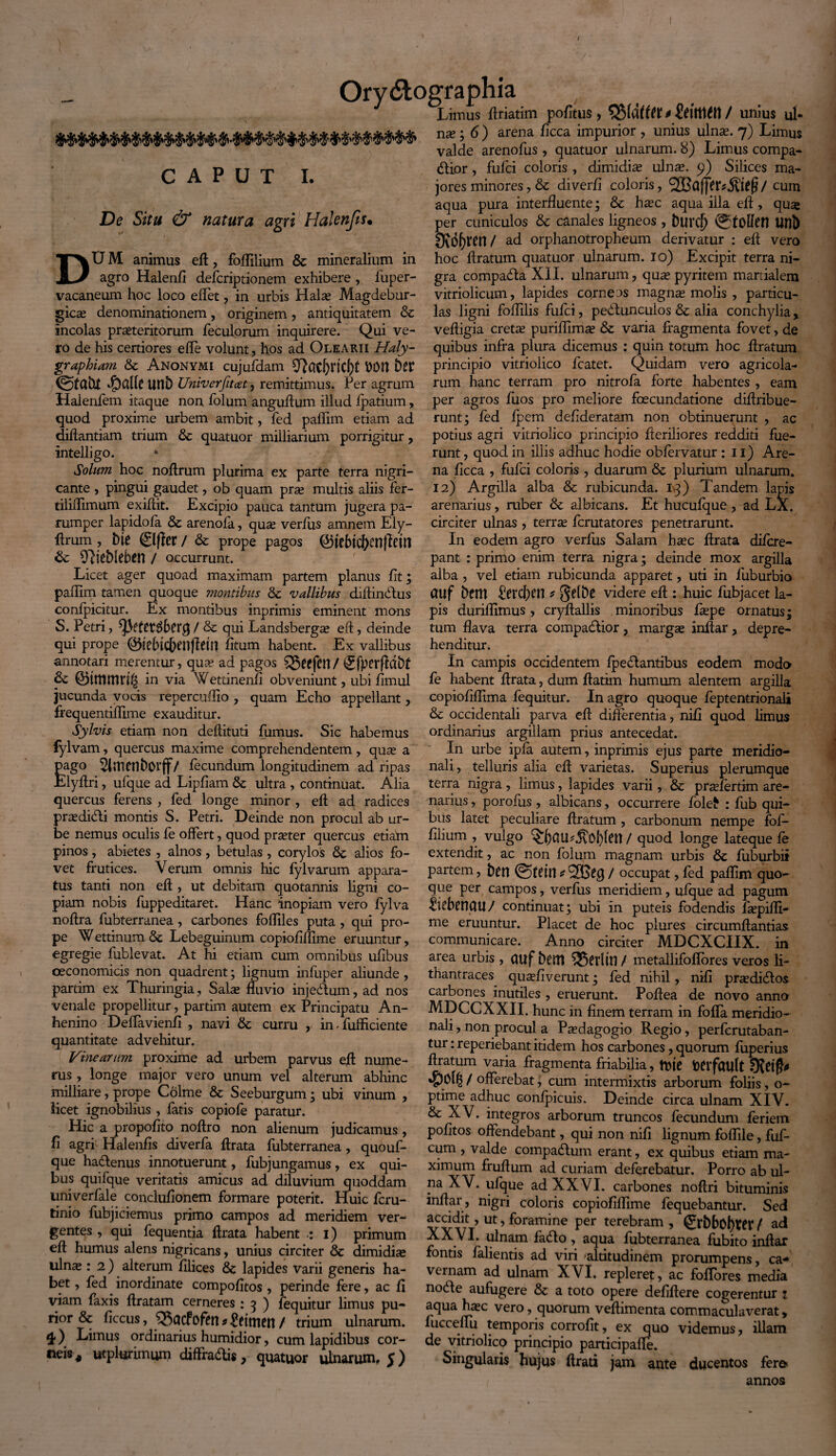 Ory&ographia Limus ftriatim pofitus , 0 ititftttft / unius ul CAPUT I. De Situ & natura agri Halenfis. DU M animus eft, foffilium & mineralium in agro Halenfi defcriptionem exhibere , fuper- vacaneum hoc loco effiet, in urbis Halse Magdebur- gicse denominationem, originem, antiquitatem & incolas praeteritorum feculorum inquirere. Qui ve¬ ro de his certiores efle volunt, hos ad Olearii Haly- graphiam & Anonymi cujufdam ffiiatfyndft DOtt fcer (gtaht unb Univerfitcet, remittimus. Per agrum Halenfem itaque non folum anguftum illud fpatium, quod proxime urbem ambit, fed paffim etiam ad diftantiam trium & quatuor milliarium porrigitur, intelligo. Solum hoc noftrum plurima ex parte terra nigri¬ cante , pingui gaudet, ob quam prae multis aliis fer- tiliffimum exiftit. Excipio pauca tantum jugera pa¬ rumper lapidofa & arenofa, quas verius amnem Ely- ihrum, Me ©fler / & prope pagos @5iebidf)cntlem & SRieMeben / occurrunt. Licet ager quoad maximam partem planus iit; paffim tamen quoque montibus & vallibus diitindtus conipicitur. Ex montibus inprimis eminent mons S. Petri, ^efettfberg / & qui Landsbergae eft, deinde qui prope ©jebtcbenftew iitum habent. Ex vallibus annotari merentur, quae ad pagos 3$wfcn/ i^fperfldbf & 0tmtnrig in via Wettinenii obveniunt, ubi iimul jucunda vocis repercuffio , quam Echo appellant, frequentiffime exauditur. Sylvis etiam non deffituti fumus. Sic habemus fylvam, quercus maxime comprehendentem, quas a pago ^imenhovff/ fecundum longitudinem ad ripas Elyffii, ufque ad Lipiiam & ultra , continuat. Alia quercus ferens, fed longe minor , eft ad radices prredidti montis S. Petri. Deinde non procul ab ur¬ be nemus oculis fe offert, quod praeter quercus etiam pinos , abietes , alnos , betulas , corylos alios fo¬ vet frutices. Verum omnis hic fylvarum appara¬ tus tanti non eft, ut debitam quotannis ligni co¬ piam nobis fuppeditaret. Hanc inopiam vero fylva noffia fubterranea, carbones foffiles puta , qui pro¬ pe W ettinum &; Lebeguinum copiofiffime eruuntur, egregie fublevat. At hi etiam cum omnibus ufibus oeconomicis non quadrent; lignum infuper aliunde, partim ex Thuringia, Salse fluvio injedtum, ad nos venale propellitur, partim autem ex Principatu An- henino Deffiavienfi , navi & curru , in - fufficiente quantitate advehitur. Vinearum proxime ad urbem parvus eft nume¬ rus , longe major vero unum vel alterum abhinc milliare, prope Colme & Seeburgum; ubi vinum , licet ignobilius , fatis copiofe paratur. Hic a propofito noftro non alienum judicamus, fi agri Halenfis diverfa flrata fubterranea, quouf- que ha&enus innotuerunt, fubjungamus, ex qui¬ bus quifque veritatis amicus ad diluvium quoddam univerfale conclufionem formare poterit. Huic fcru- tinio fubjiciemus primo campos ad meridiem ver¬ gentes , qui fequentia flrata habent •: i) primum eft humus alens nigricans, unius circiter & dimidise ulnse : 2 ) alterum filices & lapides varii generis ha¬ bet , fed inordinate compofitos , perinde fere, ac fi viam faxis ftratam cerneres : 5 ) fequitur limus pu¬ rior & ficcus, ‘Sacfofen * ^etmcn / trium ulnarum. 4) Limus ordinarius humidior, cum lapidibus cor¬ neis, utplurimmn diffra&is, quatuor ulnarum, 5) nae; 6) arena ficca impurior , unius ulnas. 7) Limus valde arenofus, quatuor ulnarum. 8) Limus compa¬ rtior , fufci coloris , dimidias ulnas. 9) Silices ma¬ jores minores, & diverfi coloris, SBdfjer*/ cum aqua pura interfluente; & hasc aqua illa efl, quse per cuniculos & canales ligneos , fcurcl) 0tolfetl tini) OWftren / ad orphanotropheum derivatur : eft vero hoc ftratum quatuor ulnarum. 10) Excipit terra ni¬ gra compadta XII. ulnarum, quas pyritem manialem vitriolicum, lapides corneos magnas molis , particu¬ las ligni foffilis fufci, pebtunculos & alia conchylia, veftigia cretae puriffimse & varia fragmenta fovet, de quibus infra plura dicemus : quin totum hoc ftratum principio vitriolico fcatet. Quidam vero agricola¬ rum hanc terram pro nitrofa forte habentes , eam per agros fuos pro meliore foecundatione diftribue- runt; fed fpem deflderatam non obtinuerunt , ac potius agri vitriolico principio fteriliores redditi fue¬ runt , quod in iliis adhuc hodie obfervatur : 11) Are¬ na ficca , fufci coloris , duarum & plurium ulnarum. 12) Argilla alba & rubicunda, iq) Tandem lapis arenarius, ruber & albicans. Et hucufque , ad LX. circiter ulnas , terras fcrutatores penetrarunt. In eodem agro verfus Salam hasc ftrata difcre- pant : primo enim terra nigra; deinde mox argilla alba , vel etiam rubicunda apparet, uti in fuburbio ailf 6ettt &rd[Kn * §eli)e videre eft : huic fubjacet la¬ pis duriffimus, cryftallis minoribus faspe ornatus; tum flava terra compadtior, margas inftar, depre¬ henditur. In campis occidentem fpedtantibus eodem modo fe habent ftrata, dum ftatim humum alentem argilla copiofiffima fequitur. In agro quoque feptentrionali & occidentali parva eft differentia, nifi quod limus ordinarius argillam prius antecedat. In urbe ipfa autem, inprimis ejus parte meridio¬ nali , telluris alia eft varietas. Superius plerumque terra nigra , limus, lapides varii, & prsefertim are¬ narius , porofus , albicans, occurrere fole* : fub qui¬ bus latet peculiare ftratum, carbonum nempe fof¬ filium , vulgo / quod longe lateque fe extendit, ac non folum magnam urbis & fiiburbii partem, ben @tetn*2Geg / occupat, fed paffim quo¬ que per campos, verfus meridiem, ufque ad pagum £ftben(UI/ continuat; ubi in puteis fodendis faspiffi- me eruuntur. Placet de hoc plures circumflandas communicare. Anno circiter MDCXCIIX. in area urbis , Oltf betit SBerlffi/ metallifoflores veros li- thantraces qu^fiverunt; fed nihil, nifi prasdi£tos carbones inutiles , eruerunt. Poftea de novo anno MDCCXXII. hunc in finem terram in fofla meridio¬ nali , non procul a Paedagogio Regio, perfcrutaban- tur: reperiebant itidem hos carbones, quorum fiiperius ftratum varia fragmenta friabilia, tVte tiCffciUlt 9{eifJ* f offerebat, cum intermixtis arborum foliis, o- ptime adhuc confpicuis. Deinde circa ulnam XIV. & XV. integros arborum truncos fecundum feriem pofitos offendebant, qui non nifi lignum foffile, fuf- cum , valde compactum erant, ex quibus etiam ma¬ ximum fruftum ad curiam deferebatur. Porro ab ul¬ na XV. ufque ad XXVI. carbones noftri bituminis inftar, nigri coloris copiofiffime fequebantur. Sed accidit, ut, foramine per terebram , ©bbobter / ad XX VI. ulnam fa&o , aqua fubterranea fubito inftar fontis falientis ad viri 'altitudinem prorumpens, ca¬ vernam ad ulnam XVI. repleret, ac foffiores media nocfte aufugere & a toto opere defiftere cogerentur 2 aqua hasc vero, quorum veftimenta commaculaverat, fucceffu temporis corrofit, ex quo videmus, illam de vitriolico principio participaffe. Singularis hujus flrati jam ante ducentos fere» annos