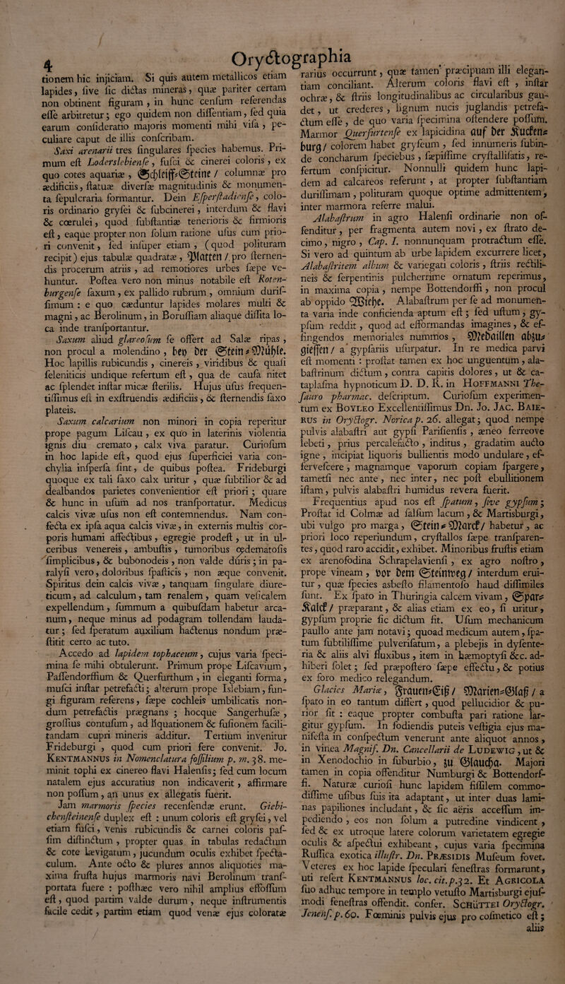 tionem hic injiciam. Si quis autem metallicos etiam lapides, live iic didas mineras, qua? pariter certam non obtinent figuram , in hunc cenlum referendas efie arbitretur ; ego quidem non diflentiam, fed quia earum confideratio majoris momenti mihi vifa , pe¬ culiare caput de illis confcribam. Saxi arenarii tres lingulares fpecies habemus. Pri¬ mum eft Loderslebienfe, fufci & cinerei coloris, ex quo cotes aquaria* , / columna? pro jedificiis, ftatua? diverfa? magnitudinis & monumen¬ ta fepulcraria formantur. Dein Efperftadimfe, colo¬ ris ordinario gryfei Sc fubcinerei, interdum &c flavi & coerulei, quod fubftantia? tenerioris & firmioris eft, eaque propter non folum ratione ulus cum prio¬ ri convenit, fed infuper etiam , (quod polituram recipit) ejus tabula? quadrata?, / pro demen¬ dis procerum atriis , ad remotiores urbes fa?pe ve¬ huntur. Poftea vero non minus notabile efi Roten- hurgenfe laxum, ex pallido rubrum , omnium durif- limura : e quo caeduntur lapides molares multi & magni, ac Berolinum, in Borulfiam aliaque didita lo¬ ca inde tranlportantur. Saxum aliud glareo/um fe offert ad Salse ripas , non procul a molendino, bCl) L)Cl’ @fCtH * Hoc lapillis rubicundis , cinereis, viridibus & quali feleniticis undique refertum eft, qua de caufa nitet ac lplendet inftar mica? Herilis. Hujus ufus frequen- tifiimus efi in exflruendis aedificiis, 6c flernendis faxo plateis. Saxum calcarium non minori in copia reperitur prope pagum Lifcau , ex quo in laterinis violentia ignis diu cremato, calx viva paratur. Curiofum in hoc lapide eft, quod ejus fuperficiei varia con¬ chylia infperfa fint, de quibus poftea. Frideburgi quoque ex tali faxo calx uritur , qua? fubtilior & ad dealbandos parietes convenientior eft priori; quare & hunc in ufum ad nos tranfportatur. Medicus calcis viva? ufus non eft contemnendus. Nam con- fedta ex ipfa aqua calcis viva?, in externis multis cor¬ poris humani affectibus, egregie prodeft, ut in ul¬ ceribus Venereis , ambuftis , tumoribus cydematofis fimplicibus, 8c bubonodeis, non valde duris; in pa- ralyfi vero, doloribus fpafticis , non seque convenit. Spiritus dein calcis viva? , tanquam lingulare diure¬ ticum, ad calculum, tam renalem, quam veficalem expellendum, fummum a quibufdam habetur arca¬ num, neque minus ad podagram tollendam lauda¬ tur ; fed fperatum auxilium haCtenus nondum pra?- ftitit certo ac tuto. Accedo ad lapidem tophaceum, cujus varia fpeci- mina fe mihi obtulerunt. Primum prope Lifcavium, Pafiendorffium & Querfurthum , in eleganti forma, mufci inltar petrefafti; alterum prope Isiebiam, fun¬ gi figuram referens, fiepe cochleis umbilicatis non¬ dum petrefaCtis pra?gnans ; hocque Sangerhufa? , groifius contufum , ad liquationem & fufionem facili- tandam cupri mineris additur. Tertium invenitur Frideburgi , quod cum priori fere convenit. Jo. Kentmannus in Nomenclatura fojjilium p. m. 38. me¬ minit tophi ex cinereo flavi Halenfis; fed cum locum natalem ejus accuratius non indicaverit, affirmare non poffum, an unus ex allegatis fuerit. Jam marmoris fpecies recenlenda? erunt. Giebi- chenfteinenfe duplex eft : unum coloris eft gryfei, vel etiam fufci, venis rubicundis & carnei coloris paf- fim diftindtum , propter quas in tabulas redadtum & cote Levigatum, jucundum oculis exhibet fpedta- culum. Ante o£to Sz plures annos aliquoties ma¬ xima frufta hujus marmoris navi Berolinum tranf- portata fuere : poftha?c vero nihil amplius effioftum eft, quod partim valde durum, neque inftrumentis facile cedit, partim etiam quod vena? ejus colorat» Ory6tographia - J • rarius occurrunt, aua? tamen praecipuam illi elegan¬ tiam conciliant. Alterum coloris flavi eft , inltar ochra?, & ftriis longitudinalibus ac circularibus gau¬ det , ut crederes , lignum nucis juglandis petrefa- dtum efie, de quo varia fpecimina offendere poffum. Marmor Querfurtenfe ex lapicidina CUlf ber jtuc&tte hltrg / colorem habet gryfeum , fed innumeris fubin- de concharum fpeciebus , fiepiflime cryftallifatis, re¬ fertum confpicitur. Nonnulli quidem hunc lapi¬ dem ad calcareos referunt , at propter fubftantiam duriffimam , polituram quoque optime admittentem, inter marmora referre malui. Alabafirum in agro Halenfi ordinarie non of¬ fenditur , per fragmenta autem novi, ex flrato de¬ cimo , nigro , Cap. I. nonnunquam protra&um efie. Si vero ad quintum ab urbe lapidem excurrere licet, Alabafirite?n album & variegati coloris , ftriis rectili- neis & ferpentinis pulcherrime ornatum reperimus, in maxima copia , nempe Bottendorffi , non procul ab oppido 'Tgfefye. Alabafirum per fe ad monumen¬ ta varia inde conficienda aptum efi; fed ullum, gy- pfum reddit, quod ad efibrmandas imagines , & ef¬ fingendos memoriales nummos , $?ebmllen aHu* giejten / a gypfariis ufurpatur. In re medica parvi eft momenti : proflat tamen ex hoc unguentum, ala- baftrinum didtum, contra capitis dolores, ut & ca- taplalfna hypnoticum D. D. II. in Hoffmanni ‘The- fauro pharmac. defcriptum. Curiofum experimen¬ tum ex Boyleo Excellentiftimus Dn. Jo. Jac. Baie- eus in OryBogr. Norica p. 26. allegat; quod nempe pulvis alabaftri aut gypfi Parifienfis , a?neo ferreove lebeti, prius percalefacto , inditus , gradatim auCto igne , incipiat liquoris bullientis modo undulare, ef- fervefcere , magnamque vaporum copiam fpargere, tametfi nec ante , nec inter, nec poft ebullitionem iftam, pulvis alabaftri humidus revera fuerit. Frequentius apud nos eft fpatum, fwe gypfum ; Proflat id Colma? ad falfum lacum, & Martisburgi, ubi vulgo pro marga, (gftetn*/ habetur, ac priori loco reperiundum, cryftallos fa?pe tranfparen- tes, quod raro accidit, exhibet. Minoribus fruftis etiam ex arenofodina Schrapelavienfi , ex agro noftro, prope vineam , hem (SteitlU^g/ interdum erui¬ tur , qua? f]3ecies asbefto filamentofo haud diflimiles funt. Jbx fpato in Thuringia calcem vivam, / pra?parant, & alias etiam ex eo, fi uritur, gypfum proprie fic diCtum fit. Ufum mechanicum paullo ante jam notavi; quoad medicum autem, fpa¬ tum fubtiliffime pulverifatum, a plebejis in dyfente- ria Sc aliis alvi fluxibus, item in ha?moptyfi &c. ad¬ hiberi folet; fed pra?pofiero fiepe effeCtu, Sc potius ex foro medico relegandum. Glacies Marice, grawn*©f? / $?arten^®laf5 / a fpato in eo tantum differt, quod pellucidior Sc pu¬ rior fit : eaque propter combufta pari ratione lar¬ gitur gypfum. In fodiendis puteis veftigia ejus ma- nifefia in confpeCtum venerunt ante aliquot annos , in vinea Magnif. Dn. Cancellarii de Ludewig , ut & in Xenodochio in fuburbio, Ju (35(aud)Ct. Majori tamen in copia offenditur Numburgi Sc Bottendorf¬ fi. Natur» curiofi hunc lapidem fiffilem commo- diflime ufibus fuis ita adaptant, ut inter duas lami¬ nas papiliones includant, & fic aeris accefium im¬ pediendo , eos non folum a putredine vindicent , fed Sc ex utroque latere colorum varietatem egregie oculis Sc afpeCtui exhibeant , cujus varia fpecimina Ruflica exotica ilhtfir. Dn. Persidis Mufeum fovet. Veteres ex hoc lapide Ipeculari feneftras formarunt, uti refert Kentmannus loc.cit.p.32* Et Agricola fuo adhuc tempore in templo vetufio Martisburgi ejufi- modi feneftras offendit, confer. ScHiiTT£i Ory&ogr. Jcnenf.p.6o. Foeminis pulvis ejus pro cofmetico eft; aliis