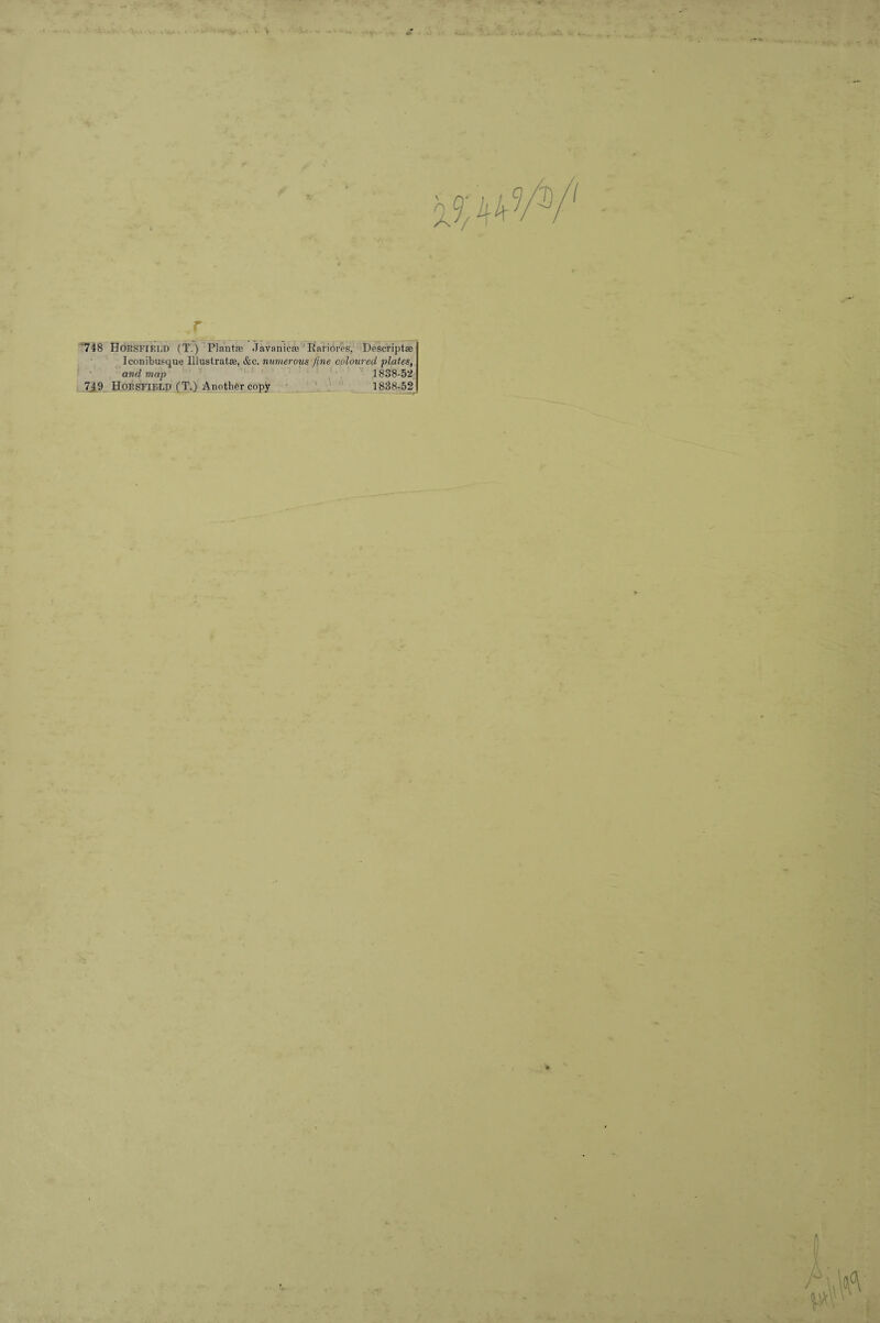 -t r 748 Horsfield (T.) Plantae Javanicae Rariores, Descriptae Iconibusque Illustratas, &c. numerous, fine coloured plates, and map 1838-52 719 Hoesfield (T.) Anotber copy 1838-52 /\wv ft iv\\ \'