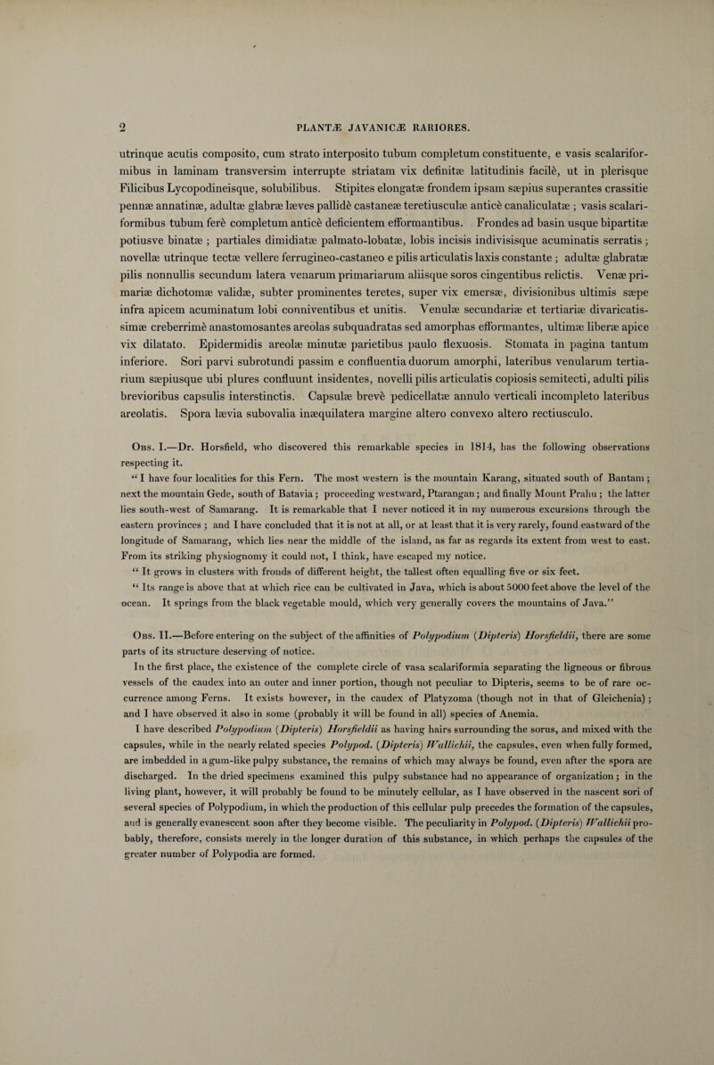 utrinque acutis composito, cum strato interposito tubum completum constituente, e vasis scalarifor- mibus in laminam transversim interrupte striatam vix definitte latitudinis facile, ut in plerisque Filicibus Lycopodineisque, solubilibus. Stipites elongatse frondem ipsam ssepius superantes crassitie pennae annatinse, adultae glabrae laeves pallidi castaneae teretiusculae antici canaliculatae ; vasis scalari- formibus tubum fer& completum antici deficientem efformantibus. Frondes ad basin usque bipartitae potiusve binatae ; partiales dimidiatae palmato-lobatae, lobis incisis indivisisque acuminatis serratis ; novellae utrinque tectae vellere ferrugineo-castaneo e pilis articulatis laxis constante ; adultae glabratae pilis nonnullis secundum latera venarum primariarum aliisque soros cingentibus relictis. Venae pri¬ mariae dichotomae validae, subter prominentes teretes, super vix emersae, divisionibus ultimis saepe infra apicem acuminatum lobi conniventibus et unitis. Venulae secundariae et tertiariae divaricatis- simae creberrimi anastomosantes areolas subquadratas sed amorphas eflormantes, ultimae liberae apice vix dilatato. Epidermidis areolae minutae parietibus paulo flexuosis. Stomata in pagina tantum inferiore. Sori parvi subrotundi passim e confluentia duorum amorphi, lateribus venularum tertia¬ rium saepiusque ubi plures confluunt insidentes, novelli pilis articulatis copiosis semitecti, adulti pilis brevioribus capsulis interstinctis. Capsulae breve pedicellatae annulo verticali incompleto lateribus areolatis. Spora laevia subovalia inaequilatera margine altero convexo altero rectiusculo. Obs. I.—Dr. Horsfield, who discovered this remarkable species in 1814, lias the following observations respecting it. “ I have four localities for this Fern. The most western is the mountain Karang, situated south of Bantam ; next the mountain Gede, south of Batavia; proceeding westward, Ptarangan; and finally Mount Prahu ; the latter lies south-west of Samarang. It is remarkable that I never noticed it in my numerous excursions through the eastern provinces ; and I have concluded that it is not at ali, or at least that it is very rarely, found eastward of the longitude of Samarang, which lies near the middle of the island, as far as regards its extent from west to east. From its striking physiognomy it could not, I think, have escaped my notice. “ It grows in clusters vvith fronds of different heigbt, the tallest often equalling five or six feet. “ Its rangeis above that at which rice can be cultivated in Java, which is about 5000 feet above the level of the ocean. It springs from the black vegetable mould, which very generally covers the mountains of Java.” Obs. II.—Before entering on the subject of theaffinities of Polypodium (Dipteris) Horsfieldii, there are some parts of its structure deserving of notice. In the first place, the existence of the complete circle of vasa scalariformia separating the ligneous or fibrous vessels of the caudex into an outer and inner portion, though not peculiar to Dipteris, seems to be of rare oc- currence among Ferns. It exists bowever, in the caudex of Platyzoma (though not in that of Gleichenia) ; and I have observed it also in some (probably it will be found in all) species of Anemia. I have described Polypodium (Dipteris) Horsfieldii as having hairs surrounding the sorus, and mixed with the capsules, while in the nearly related species Polypod. (Dipteris) Wallichii, the capsules, even when fully formed, are imbedded in agum-like pulpy substance, the remains of which may alvvays be found, even after the spora are discharged. In the dried specimens examined this pulpy substance had no appearance of organization; in the living piant, however, it will probably be found to be minutely cellular, as I have observed in the nascent sori of several species of Polypodium, in which the production of this cellular pulp precedes the formation of the capsules, and is generally evanescent soon after they become visible. The peculiarity in Polypod. (Dipteris) Wallichii pro¬ bably, therefore, consists merely in the longer duration of this substance, in which perhaps the capsules of the greater number of Polypodia are formed.