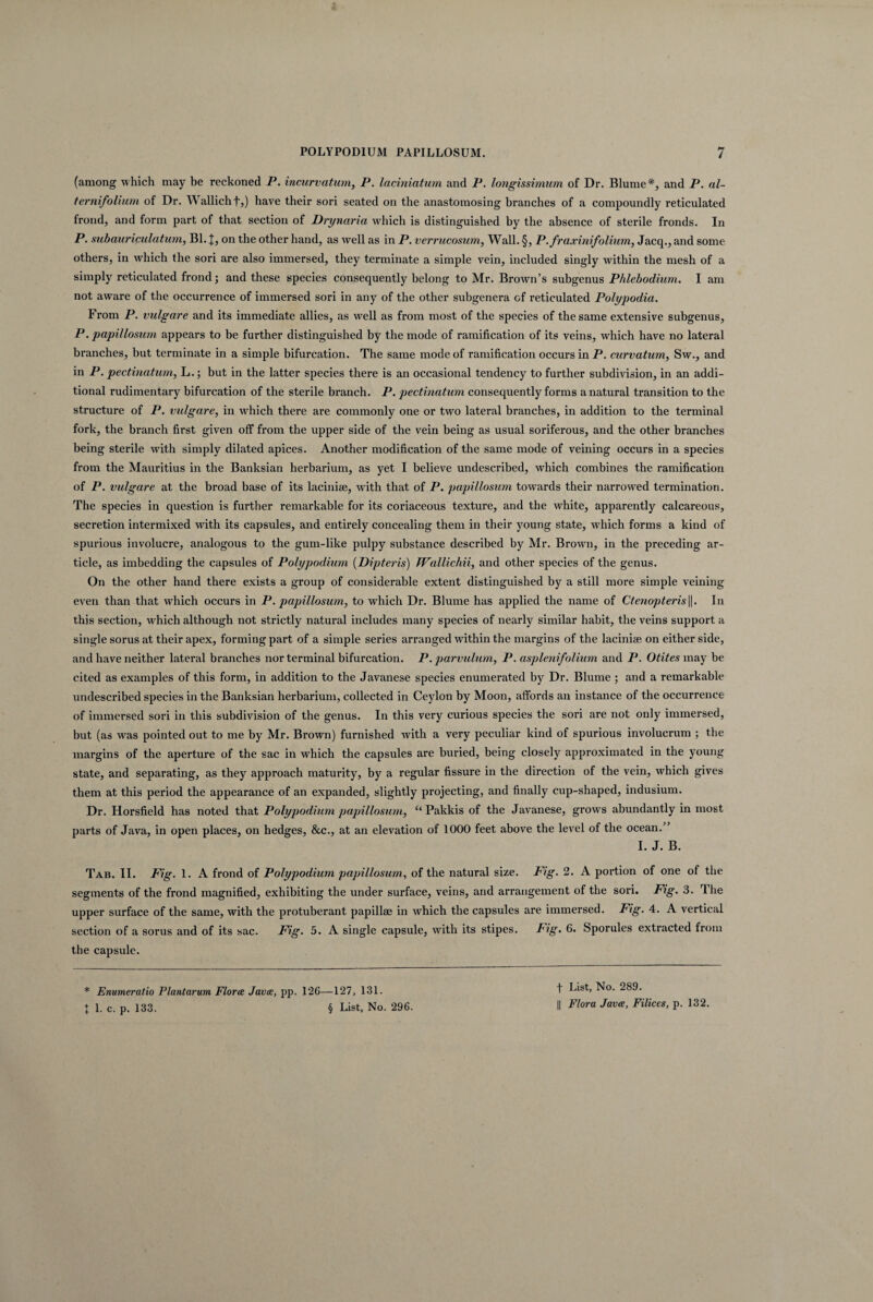 (among which tnay be reckoned P. incurvatum, P. laciniatum and P. longissimum of Dr. Blume*, and P. al- ternifolium of Dr. Wallichf,) have their sori seated on the anastomosing branches of a compoundly reticulated frond, and form part of that section of Drynaria which is distinguished by the absence of sterile fronds. In P • subauriculatum, Bl. J, on the other hand, as well as in P. verrucosum, Wall. §, P. fraxini folium, Jacq., and some others, in which the sori are also immersed, they terminate a simple vein, included singly within the mesh of a simply reticulated frond; and these species consequently belong to Mr. Brown’s subgenus Phlebodium. I am not aware of the occurrence of immersed sori in any of the other subgenera of reticulated Polypodia. From P. vulgare and its immediate allies, as well as from most of the species of thesame extensive subgenus, P. papillosum appears to be further distinguished by the mode of ramification of its veins, which have no lateral branches, but terminate in a simple bifurcation. The sarae mode of ramification occurs in P. curvatum, Sw., and in P. pectinatum, L.; but in the latter species there is an occasional tendency to further subdivision, in an addi- tional rudimentary bifurcation of the sterile branch. P. pectinatum consequently fornis anatural transition to the structure of P. vulgare, in which there are commonly one or two lateral branches, in addition to the terminal fork, the branch first given off from the upper side of the vein being as usual soriferous, and the other branches being sterile with simply dilated apices. Another modification of the same mode of veining occurs in a species from the Mauritius in the Banksian herbarium, as yet I believe undescribed, which combines the ramification of P. vulgare at the broad base of its laciniae, with that of P. papillosum towards their narrowed termination. The species in question is further remarkable for its coriaceous texture, and the white, apparently calcareous, secretion intermixed with its capsules, and entirely concealing them in their young state, which forms a kind of spurious involucre, analogous to the gum-like pulpy substance described by Mr. Brown, in the preceding ar- ticle, as imbedding the capsules of Polypodium (Dipteris) Wallichii, and other species of the genus. On the other hand there exists a group of considerable extent distinguished by a stili more simple veining even than that which occurs in P. papillosum, to which Dr. Blume has applied the name of Ctenopteris||. In this section, which although not strictly natural includes many species of nearly similar habit, the veins support a single sorus at their apex, forming part of a simple series arranged within the margins of the laciniae on either side, and have neither lateral branches nor terminal bifurcation. P. parvulum, P. asplenifolium and P. Otites may be cited as examples of this form, in addition to the Javanese species enumerated by Dr. Blume ; and a remarkable undescribed species in the Banksian herbarium, collected in Ceylon by Moon, affords an instance of the occurrence of immersed sori in this subdivision of the genus. In this very curious species the sori are not only immersed, but (as was pointed out to me by Mr. Brown) furnished with a very peculiar kind of spurious involucrum ; the margins of the aperture of the sac in which the capsules are buried, being closely approximated in the young state, and separating, as they approach maturity, by a regular fissure in the direction of the vein, which gives them at this period the appearance of an expanded, slightly projecting, and finally cup-shaped, indusium. Dr. Horsfield has noted that Polypodium papillosum, c< Pakkis of the Javanese, grows abundantly in most parts of Java, in open places, on hedges, &c., at an elevation of 1000 feet above the level of the ocean.” I. J. B. Tab. II. Fig. 1- A frond of Polypodium papillosum, of the natural size. Fig. 2. A portion of one of the segments of the frond magnified, exhibiting the under surface, veins, and arrangement of the sori. Fig. 3. The upper surface of the same, with the protuberant papillae in which the capsules are immersed. Fig. 4. A vertical section of a sorus and of its sac. Fig. 5. A single capsule, with its stipes. Fig. 6« Sporules extracted from the capsule. * Enumeratio Plantarum Floree Javee, pp. 126—127, 131. I 1. c. p. 133. § List, No. 296. f List, No. 289. || Flora Javee, Filices, p. 132.