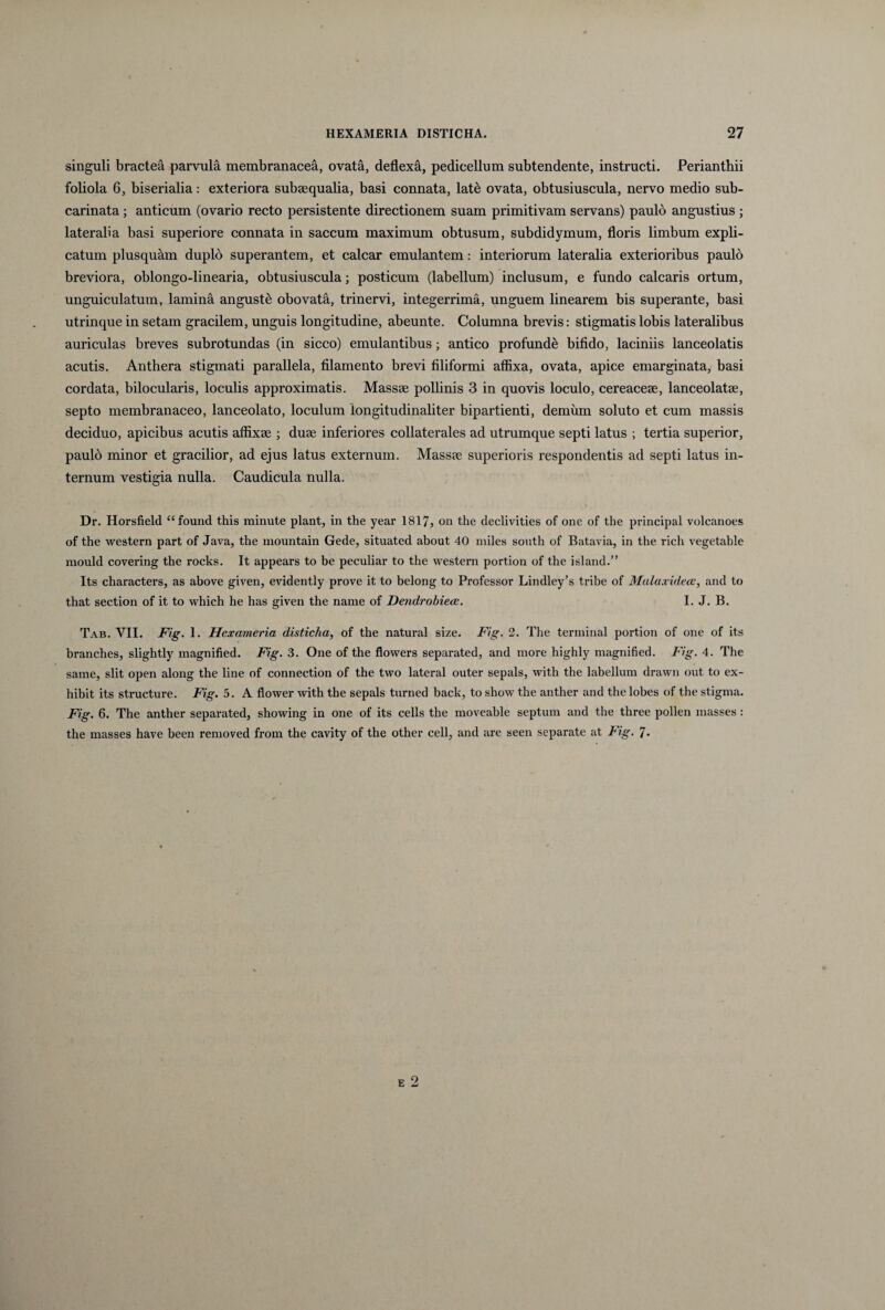 singuli bractea parvula membranacea, ovata, deflexa, pedicellum subtendente, instructi. Perianthii foliola 6, biserialia: exteriora subaequalia, basi connata, lat& ovata, obtusiuscula, nervo medio sub- carinata ; anticum (ovario recto persistente directionem suam primitivam servans) paulo angustius ; lateralia basi superiore connata in saccum maximum obtusum, subdidymum, floris limbum expli¬ catum plusquam duplo superantem, et calcar emulantem: interiorum lateralia exterioribus paulo breviora, oblongo-linearia, obtusiuscula; posticum (labellum) inclusum, e fundo calcaris ortum, unguiculatum, lamina anguste obovata, trinervi, integerrima, unguem linearem bis superante, basi utrinque in setam gracilem, unguis longitudine, abeunte. Columna brevis: stigmatis lobis lateralibus auriculas breves subrotundas (in sicco) emulantibus; antico profunde bifido, laciniis lanceolatis acutis. Anthera stigmati parallela, filamento brevi filiformi affixa, ovata, apice emarginata, basi cordata, bilocularis, loculis approximatis. Massae pollinis 3 in quovis loculo, cereaceae, lanceolatae, septo membranaceo, lanceolato, loculum iongitudinaliter bipartienti, demum soluto et cum massis deciduo, apicibus acutis affixae ; duae inferiores collaterales ad utrumque septi latus ; tertia superior, paulo minor et gracilior, ad ejus latus externum. Massae superioris respondentis ad septi latus in¬ ternum vestigia nulla. Caudicula nulla. Dr. Horsfield “found this minute piant, in the year 1817, on the declivities of one of the principal volcanoes of the Western part of Java, the mountain Gede, situated about 40 miles south of Batavia, in the rich vegetable mould covering the rocks. It appears to be peculiar to the Western portion of the island.” Its characters, as above given, evidently prove it to belong to Professor Lindley’s tribe of Malaxklecc, and to that section of it to which he has given the name of Dendrohiece. I. J. B. Tab. VII. Fig. 1. Hexameria disticha, of the natural size. Fig. 2. The terminal portion of one of its branches, slightly magnified. Fig. 3. One of the flowers separated, and more highly magnified. Fig. 4. The same, siit open along the line of connection of the two lateral outer sepals, with the labellum drawn out to ex- hibit its structure. Fig. 5. A flower with the sepals turned back, to show the anther and the lobes of the stigma. Fig. 6. The anther separated, showing in one of its cells the moveable septum and the three pollen masses : the masses have been removed from the cavity of the other cell, and are seen separate at Fig. 7» E 2