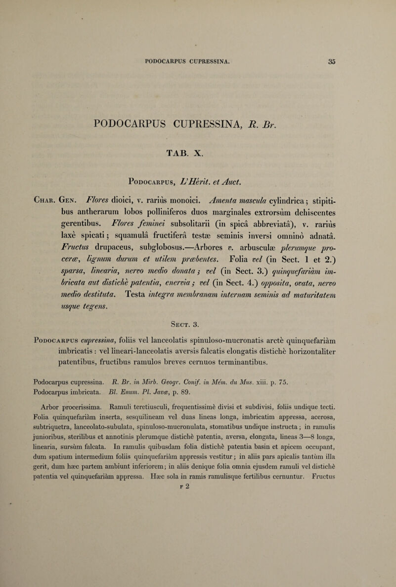 PODOCARPUS CUPRESSINA, R. Br. TAB. X. Podocarpus, RHerit. et Auct. Char. Gen. Flores dioici, v. rarius monoici. Amenta mascula cylindrica; stipiti¬ bus antherarum lobos polliniferos duos marginales extrorsum dehiscentes gerentibus. Flores feminei subsolitarii (in spica abbreviata), v. rarius laxe spicati; squamula fructifera testae seminis inversi omnino adnata. Fructus drupaceus, subglobosus.—Arbores v. arbusculae plerumque pro- cerce, lignum durum et utilem praebentes. Folia vel (in Sect. 1 et 2.) sparsa, linearia, nervo medio donata ,• vel (in Sect. 3.) quinquefariam im¬ bricata aut distiche patentia, enervia ; vel (in Sect. 4.) opposita, ovata, nervo medio destituta. Testa integra membranam internam seminis ad maturitatem usque tegens. Sect. 3. Podocarpus cupressina, foliis vel lanceolatis spinuloso-mucronatis arcte quinquefariam imbricatis : vel lineari-lanceolatis aversis falcatis elongatis distiche horizontaliter patentibus, fructibus ramulos breves cernuos terminantibus. Podocarpus cupressina. R. Br. in Mirb. Geogr. Conif. in Mem. du Mus. xiii. p. 75. Podocarpus imbricata. Bl. Enum. Pl. Javce, p. 89. \ Arbor procerissima. Ramuli teretiusculi, frequentissime divisi et subdivisi, foliis undique tecti. Folia quinquefariam inserta, sesquilineam vel duas lineas longa, imbricatim appressa, acerosa, subtriquetra, lanceolato-subulata, spinuloso-mucronulata, stomatibus undique instructa; in ramulis junioribus, sterilibus et annotinis plerumque distiche patentia, aversa, elongata, lineas 3—8 longa, linearia, sursum falcata. In ramulis quibusdam folia distichi patentia basin et apicem occupant, dum spatium intermedium foliis quinquefariam appressis vestitur; in aliis pars apicalis tantum illa gerit, dum heec partem ambiunt inferiorem; in aliis denique folia omnia ejusdem ramuli vel distichi patentia vel quinquefariam appressa. Hsec sola in ramis ramulisque fertilibus cernuntur. Fructus f 2