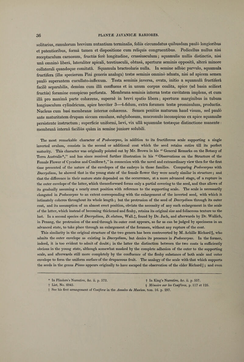 solitarius, ramulorum brevium nutantium terminalis, foliis circumdatus quibusdam paulo longioribus et patentioribus, forma tamen et dispositione cum reliquis congruentibus. Pedicellus nullus nisi receptaculum carnosum, fructus fere longitudine, crassiusculum; squamulis nullis distinctis, nisi una omnino libera, lateraliter apicali, teretiuscula, obtusa, aperturae seminis opposita, altera minore collaterali quandoque comitata. Squamula bracteolaris nulla. In semine adhuc parvulo, squamula fructifera (illae specierum Pini generis analoga) testae seminis omnino adnata, nisi ad apicem semen paulo superantem cucullato-inflexum. Testa seminis inversa, ovata, initio a squamula fructifera facile separabilis, demum cum illa confluens et in unum corpus coalita, apice (ad basin scilicet fructus) foramine conspicuo perforata. Membrana seminis interna testae cavitatem implens, et cum illa pro maxima parte cohaerens, superni in brevi spatio libera; aperturae marginibus in tubum longiusculum cylindricum, apice breviter 3—4-fidum, extra foramen testae prominulum, productis. Nucleus cum basi membranae internae cohaerens. Semen penitus maturum haud visum, sed paulo ante maturitatem drupam siccam emulans, subglobosum, mucronulo inconspicuo ex apice squamulae persistente instructum ; superficie uniformi, laevi, vix ulla squamulae testaeque distinctione manente : membrana interna facilius quam in semine juniore solubili. The most remarkable character of Podocarpus, in addition to its fructiferous scale supporting a single inverted ovulum, consists in the second or additional coat which the seed retains entire till its perfect maturity. This character was originally pointed out by Mr. Brown in his “ General Remarks on the Botany of Terra Australis*,” and has since received further illustration in his “ Observations on the Structure of the Female Flower of Cycadese and Coniferae f,” in connexion with the novel and extraordinary view then for the first time presented of the nature of the envelopes of the embryo in those families. Comparing Podocarpus with Dacrydium, he showed that in the young state of the female flower they were nearly similar in structure; and that the difference in their mature state depended on the occurrence, at a more advanced stage, of a rupture in the outer envelope of the latter, which thenceforward forms only a partial covering to the seed, and thus allows of its gradually assuming a nearly erect position with reference to the supporting scale. The scale is necessarily elongated in Podocarpus to an extent corresponding with the enlargement of the inverted seed, with which it intimately coheres throughout its whole length ; but the protrusion of the seed of Dacrydium through its outer coat, and its assumption of an almost erect position, obviate the necessity of any such enlargement in the scale of the latter, which instead of becoming thickened and fleshy, retains its original size and foliaceous texture to the last. In a second species of Dacrydium, D. elatum, Wall.f, found by Dr. Jack, and afterwards by Dr. Wallich, in Penang, the protrusion of the seed through its outer coat appears, so far as can be judged by specimens in an advanced state, to take place through an enlargement of the foramen, without any rupture of the coat. This similarity in the original structure of the two genera has been controverted by M. Achille Richard§, who admits the outer envelope as existing in Dacrydium, but denies its presence in Podocarpus. In the former, indeed, it is too evident to admit of doubt; in the latter the distinction between the two coats is sufficiently obvious in the young state, although somewhat masked by the complete adhesion of the outer to the supporting scale, and afterwards stili more completely by the confluence of the fleshy substance of both scale and outer envelope to form the uniform surface of the drupaceous fruit. The analogy of the scale with that which supports the seeds in the genus Pinus appears originally to have escaped the observation of the elder Richard||; and even * In Flinders’s Narrative, &c. ii. p. 573. f In King’s Narrative, &c. ii. p. 557. f List, No. 6045. § Memoire sur les Coni/eres, p. 117 et 125. || See his first arrangement of Conifera in the Annales du Musdum, tom. 16. p. 297.
