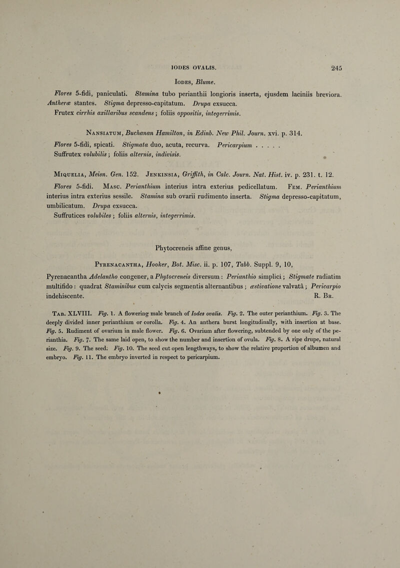 Iodes, Blume. Flores 5-fidi, paniculati. Stamina tubo perianthii longioris inserta, ejusdem laciniis breviora. Antheroe stantes. Stigma depresso-capitatum. Drupa exsucca. Frutex cirrhis axillaribus scandens; foliis oppositis, integerrimis. Nansiatum, Buchanan Hamilton, in Edinb. New Phil. Journ. xvi. p. 314. Flores 5-fidi, spicati. Stigmata duo, acuta, recurva. Pericarpium. Suffrutex volubilis; foliis alternis, indivisis. Miquelia, Meisn. Gen. 152. Jenkinsia, Griffith, in Cale. Journ. Nat. Hist. iv. p. 231. t. 12. Flores 5-fidi. Masc. Perianthium interius intra exterius pedicellatum. Fem. Perianthium interius intra exterius sessile. Stamina sub ovarii rudimento inserta. Stigma depresso-capitatum, umbilicatum. Drupa exsucca. Suffrutices volubiles ; foliis alternis, integerrimis. Phytocreneis affine genus, Pyrenacantha, Hooker, Bot. Misc. ii. p. 107, Tabb. Suppi. 9, 10, Pyrenacantha Adelantho congener, a Phytocreneis diversum : Perianthio simplici; Stigmate radiatim multifido : quadrat Staminibus cum calycis segmentis alternantibus ; cestivatione valvata ; Pericarpio indehiscente. R. Br. Tab. XLYIII. Fig. 1. A flowering male branch of Iodes ovalis. Fig. 2. The outer perianthium. Fig. 3. The deeply divided inner perianthium or corolla. Fig. 4. An anthera burst longitudinally, with insertion at base. Fig. 5. Rudiment of ovarium in male flower. Fig. 6. Ovarium after flowering, subtended by one only of the pe- rianthia. Fig. 7. The same laid open, to show the number and insertion of ovula. Fig. 8. A ripe drupe, natural size. Fig. 9. The seed. Fig. 10. The seed cut open lengthways, to show the relative proportion of albumen and embryo. Fig. 11. The embryo inverted in respect to pericarpium.