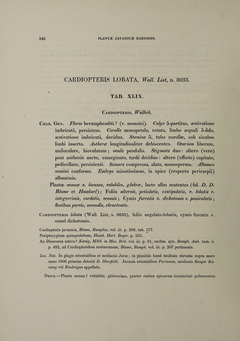 CARDIOPTERIS LOBATA, Wall. List, n. 8033. TAB. XLIX. Cardiopteris, Wallich. Char. Gen. Flores hermaphroditi ? (v. monoici). Calyx 5-partitus, sestivatione imbricata, persistens. Corolla monopetala, rotata, limbo aequali 5-fido, aestivatione imbricata, decidua. Stamina 5, tubo corollae, sub sinubus limbi inserta. Antherce longitudinaliter dehiscentes. Orarium liberum, uniloculare, biovulatum ; orulis pendulis. Stigmata duo: altero (vero) post anthesin aucto, emarginato, tarde deciduo : altero (effueto) capitato, pedicellato, persistenti. Samara compressa, alata, monosperma. Albumen semini conforme. Embryo minutissimus, in apice (respectu pericarpii) albuminis. Plantae annute r. biennes, volubiles, glabra, lacte albo scatentes (fid. D. D. Blume et Hasskarl); Foliis alternis, petiolatis, exstipulatis, v. lobatis v. integerrimis, cordatis, venosis ; Cymis /urcatis v. dichotomis v. paniculatis ; floribus parvis, secundis, ebradeatis. Cardiopteris lobata (Wall. List, n. 8033), foliis angulato-lobatis, cymis furcatis v. semel dichotomis. Cardiopteris javanica, Blume, Rumphia, vol. iii. p. 206. tab. 177. Peripterygium quinquelobum, Hassk. Hort. Bogor. p. 235. An Dioscorea sativa? Koenig, MSS. in Mus. Brit. vol. iii. p. 81, exclus. syn. Rumph. Amb. tom. v. p. 482, ad Cardiopteridem moluccanam, Blume, Rumph. vol. iii. p. 207 pertinente. Loc. Nat. In plagis orientalibus et medianis Javse; in planitiis haud multum elevatis supra mare anno 1806 primum detexit D. Horsfield. Javanis orientalibus Parianom, medianis Kanjar Ka- icang vel Rindengan appellata. Descr.—Planta annua? volubilis, glaberrima, praeter raches spicarum tenuissime pubescentes