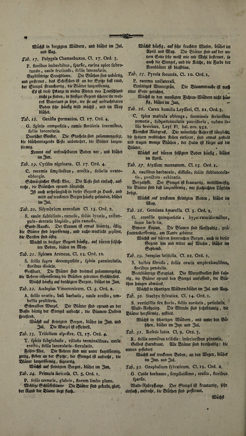 unt) 3(ud. ■Tab. 17. Polygala Chamaebuxus. CI. 17. Ord. 3. P. floribus imberbibus, fparfis, carina apicefubro- tundo , caule fruticofo, foliis lanceolatis. Sujcblftltcige Srcii^blunic. 2)ic 95lutbcn fmb iinbartig, imb scrfirciief, t»a^ 0c(;{ffcbcn ift <in bcc fajl runb, tcr 0tmgcl (Irnucbartig, bie Q3Iattcr lanscnfontiig. ifl biefe ^flanje, in oiclcn J^Iorcn »on ^cutfc^Ianb «i^t ju ftnben, in biefrcjcr: ©egcnb fcbeint ibc mal)# reö SSaierlanb ju fcpn, tvo fic auf unfruchtbaren Stoben fehc h«nfi9 tvachfl, unb im SDJap blühet« Tab, 18. Genifta germanica. CI. 17. Ord. 4. G. Spinis compofitis y ramis floriferis inermibus, foliis lanceolatis. £)eutfchcr ©inflec. S)ic Stacheln ftnb jufammenöcfejf, bie bluthentragenbe 2(efle. unbemchrt, bic iBUittec lanjeii# fötmig. Äommt auf unfruchtbaren 95oben bor, unb blühet im 3un. Tab. ip. Cytifus nigricans. CI. 17. Ord. 4. C. racemis fimplicibus j ereöis, foliolis ovato*« oblongis. 0chmarj(icher @ei§i Stice. S)ie 2(cjte finb einfach, auf# recht, bie Slattchen eprunb; lanalicht. 3jl auch urfprünglich in biefer ©egenb ju J^aufe, unb wirb auf troefenen Sergen häufig gefunben, blühet im 3ni* Sab. 20, Sifymbrium arenofum CI 15. Ord. 2. S. caule fubfoliofo, ramofo, foliis lyratis, reö:an- gulo-dentatis hispidis, pilis ramofis. 0anbj9iou(fe. 5)er0tamm ij^ etwaö blättrig, ajlig, bie Slatter finb le^erfcrmig, unb recht« winflicht gejahnt, bic Sorflcn finb aflig SBachji in biejlger ©egenb baufig, auf bürren felfich« ten Soben, blühet im SDJap. Tab. 21. Spiraea Aruncus. CI. 12. Ord. 10. S. foliis fupra decompofitis, fpicis panniculatis, floribus dioicis. Plei§bart. £)ie Slattcr 0nb bretmal jufammengefesf, bic Stehren rifpenformig bic Slüthen getrenten ©efchlechtö. aasachfl häufig auf bufchigten Sergen, blühet im 3nn. Tab. 22. Asclepias Vincetoxicum. CI. 5. Ord. 2. A. foliis ovatis > bafi barbatis , caule ereöo, um- bellis proliferis, Schwalben SBuricI. Sie Slattec finb eprunb an bec Safin bärtig ber ©tengcl aufrecht, bic Slumen« Selben fpro§eiib. SBachfl auf fleinigten Sergen, blühet im 3un. unb 3ul. Sic aBurjel ifl efficineU. Tab. 23. Trifolium alpeftre. CI. 17. Ord. 4, T. fpicis fubglobofis, villofis terminalibusi caule erefto, foliis lanceolatis-ferrulatis. geifcn« ^lec. Sie 2lehren finb mit unter fugelformig, gottig, flehen an ber 0pihe, ber ©tengcl ijl aufrecht, bic Söldttcr lanjenformig, fdgeartig. SQßdchfl auf fleinigten Sergen, blühet im 3un. Tab. 24. Primula farirofa. CI. 5. Ord. i. P. foliis crenatis, glabris, florum limbo plano. SDlebligc ©chlüffelblanie Sic Slottcr finb geferbt, glatt, ber 0ianb ber Slume liegt flach. Slpril unb SOlap. Sie Slötter finb auf bec un# '' fern ©eite fehr weiß wie mit SDlehl beflrcuet, fo auch bic ©tengel, unb bic Welche, bic Sarbc ber l^conbldtter ifl blaßblau. Tab. 27. Pyrola fecunda, CI. 10. Ord. 1, P. racemo unilaterali. '' Sinfeitigeg SSJintergrün. Sie Slumentraubc ijl nach einer ©eite gerichtet. SaSdehfl in ben mooflgten Sichten« Sßdlbern nicht hdu# fig, blühet im 3un, - Tab. 26. Carex humilis Leyfleri. CI. 21. Ord. 3. C. fpica mafeula oblonga» foemineis ferioribus remotis, fubpedunculatis paucifloris , culmo fo¬ liis breviore. Leyf. Fl. hal. nro. 952. ^leinflc^ 0{iebgrag. Sie männliche 2lehre ifl idnglichti bie fpdtern weiblichen flehen entfernt, finb etwaö gejlielt unb tragen wenige Slüthen, ber ^alm ifl fürjer aW bie Sldtter. SSdehfl auf bürren felflgten Soben hdufi'ä / blühet im 3lpril. < Tab. 27. Alyflum montanum. CI. 15. Ord. i, A. caulibus herbaceis, diffufis, foliis fublanceola- tis, punflato - echinatis. SSergalpffe. Ser ©tengel ifl feautartig, weitfchwelfig, bie Sldttcr fmb fafl latijenformig, mit fla^lichten Süpfelti 4)efeit. asdchfl auf troefenen fleinigten Soben , blühet im SDlat^. Tab. 28. Gentiana Amarella. CI. 5. Ord. a. G. corolüs quinquefidis « hypocrateriformibus, fauce barbatis. Sitterec 0njian. Sie Slumen finb fünffpaltig, prd> fentirtellerformig, am 9vanbe gebartet Sßdehfl auf bürren fonnreichen Sergen, auch in biefer ©egenb hin unb wiber auf Sßiefen, blühet im ©e^Jtemb. Tab. 2p. Serapias latifolia. CI. 22. Ord. i. S. bulbis fibrofis', foliis ovatis amplexicaulibus, floribus pendulis. $5rettbldttrige ©erapia^. Sie 3BurjcIfnoIlen finb fafc# rig, bic Sldtter e^runb ben ©tengel umfaffenb, bic Slü# then hangen abwdrt^. aßdehfl in fehattigen 3Bdlbecn blühet im 3ul- unb Slug. Tab. so. Stachys fylvatica. CI. 14. Ord. i, S. verticillis fex floris, foliis cordatis, petiolatis. Salb« sRoßpolei). Sic Sirteln finb fcch^blumlg , bic Sldtter hersformtg, gefltelf. Sdchfl in fehattigen Sdlbern , unb unter ben Sü« fehen, blühet im 3im- unb 3ul. Tab. si. Refeds. lutea. CI. 9. Ord. 3. R. foliis Omnibus trifidis: inferioribus pinnatis. Oclheg J^arnlraut. SlUe Sldttcr finb breifpaltig: bie untern gefiebert Sdchfl auf troefenen Soben, an ben Segen, blühet im 3un. unb 3ul. Tab. 32. Gnaphalium fylvaticum. CI. 19. Ord. 2. G. Caule herbaceo , fimpliciflimo, ereöo, floribus fparfis. Salb«iKnhrpflanje. Ser ©tengel ifl frautattig, fehr einfach/ aufrecht, bic Slüthen fmb jerflrcuef. Sdchfl