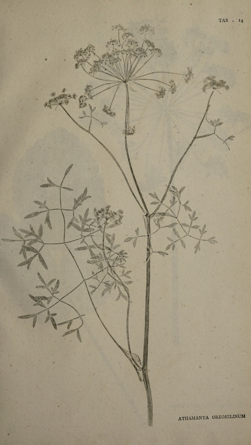 TAB 14