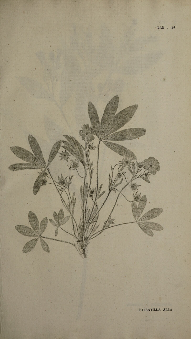 t \ \ • TAB . 2S I 4 \